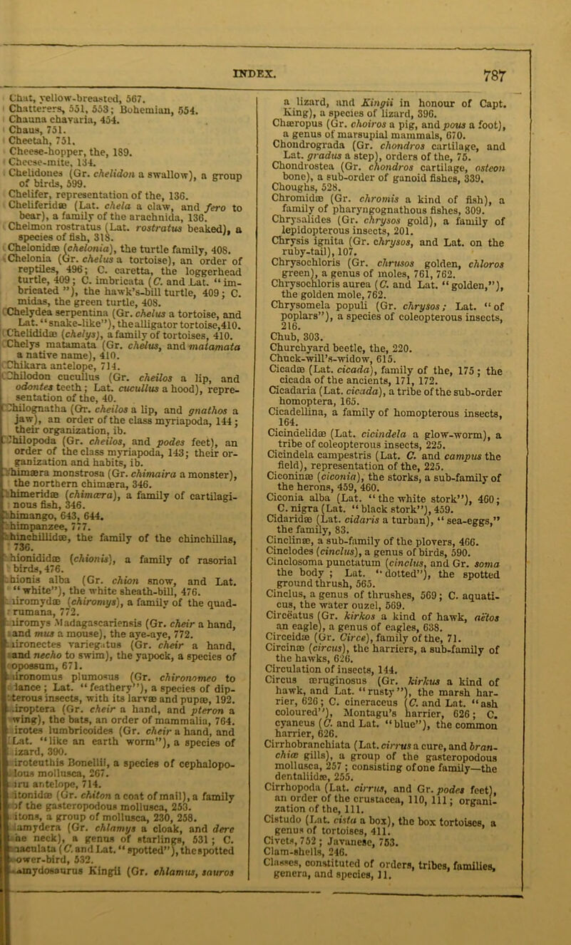 T8T Chut, yellow-breasted, 567. Chatterers, 551, 553; Bohemian, 554. Chauna chavaria, 454. Chaus, 751. Cheetah, 751, Cheese-hopper, the, 189. Checse-raite, 134. Chelidones (Gr. chelidon a swallow), a croup of birds, 599.  h P Chelifer, representation of the, 136. Cheliferidm (Lat. chela a claw, and fero to bear), a family of the arachnida, 136. Chelmon rostratus (Lat. rostratus beaked), a species of fish, 318. Chelonidm [chelonia), the turtle family, 408. Chelonia (Gr. chelus a tortoise), an order of reptiles, 496; C. caretta, the loggerhead turtle, 409 ; C. imbrieata [C. and Lat. “ im- bricated ”), the hawk’s-bill turtle, 409: C. midas, the green turtle, 408. Chelydea serpentina (Gr. chelus a tortoise, and Lat. “snake-like”), the alligator tortoise,410. Chelidid® (chelys), a family of tortoises, 410. Chelys matamata (Gr. chelus, and matamata a native name), 410. | Chikara antelope, 714. tChilodon cucullus (Gr. cheilos a lip, and odontes teeth; Lat. cucullus a hood), repre- sentation of the, 40. ( 7hilognatha (Gt. cheilos a lip, and gnathos a jaw), an order of the class myriapoda, 144 ; their organization, ib. . Ihilopoda (Gr. cheilos, and podes feet), an order of the class myriapoda, 143; their or- ganization and habits, ib. 'himsBra monstrosa (Gr. chimaira a monster), the northern chimaera, 346. himeridm (chimcera), a family of cartilagi- nous fish, 346. : himango, 643, 644. himpanzee, 777. hinchiliid®, the family of the chinchillas, 736. ’ hionididae [ch ion is), a family of rasorial S birds, 476. .hionis alba (Gr. chion snow, and Lat. “white”), the white sheath-bill, 476. liromyd® (chiromys), a family of the quad- ' rumana, 772. riromys Madagascariensis (Gr. cheir a hand, and mus a mouse), the aye-aye, 772. lironectes varieg.ttus (Gr. cheir a hand, and necho to swim), the yapock, a species of < opossum, 671. i lironomus plumosus (Gr. chironomeo to lance ; Lat. “ feathery”), a species of dip- • terous insects, with its larvm and pupte, 192. •iroptera (Gr. cheir a hand, and pteron a wing), the bats, an order of mammalia, 764. irotes lumbricoides (Gr. cheir a hand, and Lat. “like an earth worm”), a species of izard, 390. iroteuthis Bonellii, a species of cephalopo- .lous mollusca, 267. iru antelope, 714. itonidce (Gr. chiton a coat of mail), a family of the gastcropodous mollusca, 253. itons, a group of mollusca, 230, 258. . lamydera (Gr. chlnmys a cloak, and derc he neck), a genus of starlings, 531 ; C. • naculata (C. and Lat. “ spotted”), thcspottcd • ower-bird, 532. ■•amydosaurus Kingii (Gr. chlamus, sauros a lizard, and Kingii in honour of Capt. King), a species of lizard, 396. Chteropus (Gr. choiros a pig, and pom a foot), a genus of marsupial mammals, 670. Chondrograda (Gr. chondros cartilage, and Lat. gradus a step), orders of the, 75. Chondrostea (Gr. chondros cartilage, osteon bone), a sub-order of ganoid fishes, 339, Choughs, 528. Chromidae (Gr. chromis a kind of fish), a family of pharyngognathous fishes, 309. Chrysalides (Gr. chrysos gold), a family of lepidopterous insects, 201. Chrysis ignita (Gr. chrysos, and Lat. on the ruby-tail), 107. Chrysochloris (Gr. chrusos golden, chloros green), a genus of moles, 761, 762. Chrysochloris aurea [C. and Lat. “golden,”), the golden mole, 762. Chrysomela populi (Gr. chrysos; Lat. “of poplars”), a species of coleopterous insects, 216. Chub, 303. Churchyard beetle, the, 220. Chuck-will’s-widow, 615. Cicadas (Lat. cicada), family of the, 175 ; the cicada of the ancients, 171, 172. Cicadaria (Lat. cicada), a tribe of the sub-order homoptera, 165. Cicadellina, a family of homopterous insects, 164. Cicindelidao (Lat. cicindela a glow-worm), a tribe of coleopterous insects, 225. Cicindela campestris (Lat. C. and campus the field), representation of the, 225. Ciconinae (ciconia), the storks, a sub-family of the herons, 459, 460. Ciconia alba (Lat. “ the white stork”), 460; C. nigra (Lat. “ black stork”), 459. Cidaridffl (Lat. cidaris a turban), “ sea-eggs,” the family, 83. Cinclinse, a sub-family of the plovers, 466. Cinclodes (cinclus), a genus of birds, 590. Cinclosoma punctatuin (cinclus, and Gr. soma the body ; Lat. “dotted”), the spotted ground thrush, 565. Cinclus, a genus of thrushes, 569; C. aquati- cus, the water ouzel, 569. Circeatus (Gr. kirkos a kind of hawk, aetos an eagle), a genus of eagles, 638. Circeidte (Gr. Circe), family of the, 71. Circinae [circus), the harriers, a sub-family of the hawks, 626. Circulation of insects, 144. Circus oeruginosus (Gr. kirkus a kind of hawk, and Lat. “rusty”), the marsh har- rier, 626; C. cineraceus [C. and Lat. “ash coloured”), Montagu’s harrier, 626; C, cyaneus (C. and Lat. “blue”), the common harrier, 626. Cirrhobranchiata (Lat. cirrus a cure, and bran- chial gills), a group of the gasteropodous mollusca, 257 ; consisting ofone family—the dentaliidse, 255. Cirrhopoda (Lat. cirrus, and Gr. podes feet) an order of the Crustacea, 110, 111; organi- zation of the, 111. Cistudo (Lat. cist a a box), the box tortoises, a genus of tortoises, 411. Civets, 752 ; Javanese, 753. Clam-shells, 246. Classes, constituted of orders, tribes, families,