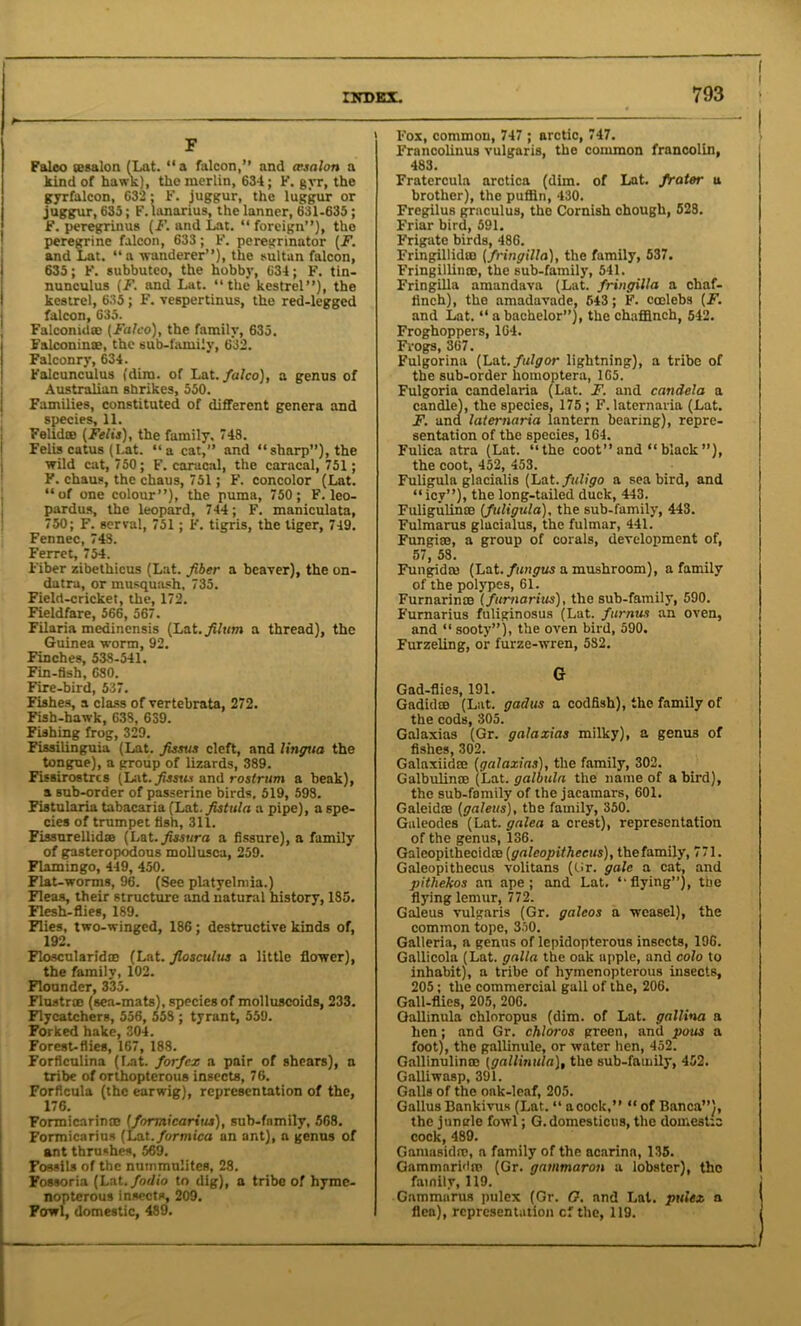 F Falco msalon (Lat. “ a falcon,” and assalon a kind of hawk), the merlin, 634; F. gvr, the gyrfalcon, 632 : F. juggur, the luggur or juggur, 635; F. lanarius, the lanner, 631-635 ; F. peregrinus (F. and Lat. “foreign”), the peregrine falcon, 633; F. peregrinator (F. and Lat. “a wanderer”), the .sultan falcon, 635; F. subbuteo, the hobby, 634; F. tin- nunculus (F. and Lat. “the kestrel”), the kestrel, 635; F. vespertinus, the red-legged falcon, 635. Falconut® (Falco), the family, 635. Falconin®, the sub-family, 632. Falconry, 634. Falcunc'ulus (dim. of Lat. falco), a genus of Australian shrikes, 550. Families, constituted of different genera and species, 11. Felid® (Felts), the family. 748. Felis catus (Lat. “a cat,” and “sharp”), the wild cat, 750; F. caracal, the caracal, 751; F. chaus, the chaus, 751; F. concolor (Lat. “of one colour”), the puma, 750; F.leo- pardus, the leopard, 744; F. maniculata, 750; F. serval, 751; F. tigris, the tiger, 749. Fennec, 743. Ferret, 754. Fiber zibethicus (Lat. fiber a beaver), the on- datra, or musquash, 735. Field-cricket, the, 172. Fieldfare, 566, 567. Filaria medinensis (La.t.filum a thread), the Guinea worm, 92. Finches, 538-541. Fin-fish, 680. Fire-bird, 537. Fishes, a class of vertebrata, 272. Fish-hawk, 63S, 639. Fishing frog, 329. Fissilinguia (Lat. fissus cleft, and lingua the tongue), a group of lizards, 389. Fissirostrcs (Lat. fissus and rostrum a beak), a sub-order of passerine birds, 519, 598. Fistularia tabacaria (Lat. fistula a pipe), a spe- cies of trumpet fish, 311. Fissurellid® (Lat. fissura a fissure), a family of gasteropodous mollusca, 259. Flamingo, 449, 450. Flat-worms, 96. (See platyelmia.) Fleas, their structure and natural history, 185. Flesh-flies, 189. Flies, two-winged, 186; destructive kinds of, 192. Floscularid® (Lat. fiosculus a little flower), the family, 102. Flounder, 335. Fluatr® (sea-mats), species of molluscoids, 233. Flycatchers, 556, 558 ; tyrant, 559. Forked hake, 304. Forest-flies, 167, 188. Forficulina (Lat. forfcx a pair of shears), a tribe of orthopterous insects, 76. Forficula (the earwig), representation of the, 176. Formicarin® (formicarius), sub-family, 568. Formicarius (Lat. formica on ant), a genus of ant thrushes, 569. Fossils of the nummulites, 28. Fossoria (Lat. fodio to dig), a tribe of hyme- nopterous insects, 209. Fowl, domestic, 489. Fox, common, 747 ; arctic, 747. Francolinus vulgaris, the common francolin, 483. Fratercula arctica (dim. of Lat. frater a brother), the puffin, 430. Fregilus graculus, the Cornish chough, 528. Friar bird, 591. Frigate birds, 486. Fringillid® (fringilla), the family, 537. Fringillin®, the sub-family, 541. Fringilla amandava (Lat. fringilla a chaf- finch), the amadavade, 543; F. coolebs (F. and Lat. “ a bachelor”), the chaffinch, 542. Froghoppers, 164. Frogs, 367. Fulgorina (Lat.fulgor lightning), a tribe of the sub-order homoptera, 165. Fulgoria Candelaria (Lat. F. and candela a candle), the species, 175; F. laternaria (Lat. F. and laternaria lantern bearing), repre- sentation of the species, 164. Fulica atra (Lat. “the coot” and “ black ”), the coot, 452, 453. Fuligula glacialis (Lat.fuligo a seabird, and “icy”), the long-tailed duck, 443. Fuligulin® (fuligula), the sub-family, 443. Fulmarus glacialus, the fulmar, 441. Fungi®, a group of corals, development of, 57, 58. Fungid® (Lat. fungus a mushroom), a family of the polypes, 61. Furnarin® (furnarius), the sub-family, 590. Furnarius fuliginosus (Lat. furnus an oven, and “sooty”), the oven bird, 590. Furzeling, or furze-wren, 582. G Gad-flies, 191. Gadid® (Lat. gadus a codfish), the family of the cods, 305. Galaxias (Gr. galaxias milky), a genus of fishes, 302. Galaxiid® (galaxias), the family, 302. Galbulin® (Lat. galbula the name of a bird), the sub-family of the jacamars, 601. Galeid® (galeus), the family, 350. Galeodes (Lat. galea a crest), representation of the genus, 136. Galeopithecid® (galcopithccus), the family, 771. Galeopithecus volitans (Ur. gale a cat, and pithekos an ape; and Lat. “flying”), the flying lemur, 772. Galeus vulgaris (Gr. galcos a weasel), the common tope, 350. Galleria, a genus of lepidopterous insects, 196. Gallicola (Lat. galla the oak apple, and colo to inhabit), a tribe of hymenopterous insects, 205 ; the commercial gall of the, 206. Gall-flies, 205, 206. Gallinula chloropus (dim. of Lat. gallina a hen; and Gr. chloros green, and pous a foot), the gallinule, or water hen, 452. Gallinulinro (gallinula), the sub-fauiily, 452. Galliwasp, 391. Galls of the oak-leaf, 205. Gallus Bankivus (Lat. “ acock,” “ of Banca”), the jungle fowl; G.domesticus, the domestic cock, 489. Gamasidro, a family of the acarina, 135. Gammari'l® (Gr. gammaron a lobster), the family, 119. Gamma’rus pulex (Gr. G. and Lat. pulex a flea), representation cf the, 119.