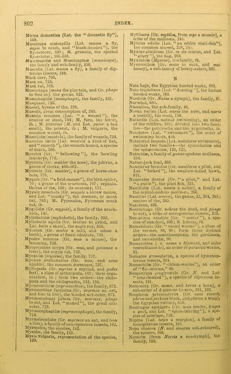 Musca domcstica (I.at. the “ domestic fly”), 108. Muscicupa atcicapilla (Lat. musca a fly, capio to catch, and “black-headed”), the fly-catcher, 558; M. griseolu, the spotted fly-catcher, 550-558. Mu-cicaptd® and Muscicapinro (muscicapa), the family and sub-family, 556. Musuid® (Lat. musca a fly), a family of dip- terous insects, 188. Musk deer, 706. Muslt ox, 723. Musk rat, 703. Musophaga (musa the plantain, and Gr. plwgo to feed on), the genus, 522. Musophagidae [musophaga), the family, 521. Musquash, 785. Mussel, byssus of the, 228. Mussels, great consumption of, 245. Mustela erminea (Lat. “ a weasel”), the ermine or stoat, 754; M. furo, the ferret, ib.; M. putorius (M. and Lat. putor a bad smell), the polecat, ib.; M. vulgaris, the common weasel, ib. Mustelidae (mustela), the family of weasels, 754. Mustelus l®vis (Lat. mustela a kind of fish, and “ smooth ”), the smooth hound, a species of shark, 350. Mycetes (Gr. “bellowing”), the howling monkeys, 776. Mycteria (Gr. mukter the nose), the jabirus, a genus of storks, 460-462. Mycteris (Gr. mukter), a genus of horse-shoe bats, 778. Mygale (Gr. “a field-mouse”), the bird-spider, 70 ; a genus of the Crustacea, 107 ; cephalo- thorax of the, 130; its anatomy, 131. Mygale moschata (Gr. mugale a shrew mouse, and Lat. “musky”), the desman, or musk rat, 763 ; M. Pyrenaica, Pyrenean musk rat, ib. Mygalid® (Gr. mygale), a family of the arach- nida, 141. Myliobatidte (myliobatis), the family, 356. Myliobatis aquila (Gr. muliao to grind, and Lat. batis a skate), the eagle ray, 356. Mylodon (Gr. mulos a mill, and odous a tooth), a genus of fossil edentata, 728. Myodes lemmus (Gr. mus a mouse), the lemming, 735. Myopoiamus coypu (Gr. mus, and potamos a river), the coypu rat, 733. Myoxid® (myoxus), the family, 737. Myoxus avellanarius (Gr. mus, and oxus nimble), the common dormouse, 737. Myriapoda (Gr. myrias a myriad, and podes feet), a class of arthropoda, 142 ; their orga- nization, ib.; form two orders—the chilo- poda and the chilognatha, 133, 134. Myrmecobiid® (myrmecobius), the family, 672. Myrmccobius fasciatus (Gr. murmex an ant, and bivo to live), the banded ant-eater, 672. Myrmecophaga jubata (Gr. murmex, pliago to eat, and Lat. “maned”), the great ant- eater, 725. Myrmecophagidte (myrmecophaga), the family, 724. Myrmeleontid® (Gr. myrmex an ant, and Iron a lion), a family of neuropterous insects, 182. Myrmelco, the species, 182. Mysidae, the family, 123. Mysis vulgaris, representation of the species, Myt'lacea (Gr. mutilut, from mys a muscle), a tribe of the mollusca, 245. Mytilus edulia (Lat. “an edible shell-fish”), the common mussel, 228, 24). Myxine glutinosa (Gr. m xn mucus, and Lat. “ gluey ”1, the hag, 203. Myxinid® (Myxine), ti e family, ib. Myzomelinte (Gr. muzo to suck, and met honey), a sub-famiiy of honey-eaters, 591. N Naia haje, the Egyptian hooded snake, 383. Naia tnpudians (Lat. “ dancing ”)*, the Indian hooded snake, 383. Naidid® (Gr. Naias a nymph), the family, 9/. Narwhal, 083. Nassulina, the sub-family, 40. Nasua narica (Lat. nasus the nose, and naris a nostril), the coati, 758. Natantia (Lat. natans swimming), ap order of the rotifera, 103; divided inio two fami- lies—the polvtrocha and the zygotrocha, ib. Natatores (i.at. “swimmers”), the order of swimming birds, 458. Natatorial isopoda (Lat. natatores swimmers), include two families—the cymolhoid® and the sph®romtd®, 120, 121. Natacid®, a family of gasteropodous mollusca, 254. Natter-jack toad, 366. NauclerUs furcatus (Gr. naucleros a pilot, and Lat. “forked”), the swallow-tailed hawk, i 631. Nauerates doctor (Gr. “ a pilot,” and Lat. “a guide”), the pilot fish, 321. Nautilid® (Lat. nauta a sailor), a family of the cephalopodous mollusca, 266. Nautilus (Lat. nauta), the genus, 22, 264, 265; section of the, 205. Nazarene, 496. Necrophaga (Gr. nekros the dead, and phago to eat), a tribe ol coleopterous insects, 223. Neciarinia Asiatica (Gr. “nectar”), a spe- cies of sun-bird, 596; N. loteuia, ib. Nematelmia (Gr. “ round worms”), a class of the vermes, 86, 90; form three distinct orders—the acanthocephala, the gordiacea, and neniatoidiE, 90. Nematoidea ( r. nema a filament, and eidos resemblance to), an order of parasitic worms, 91. Nematus grossulari®, a species of hymenop- terous insects, 204. Nemertid® (Gr. “ ribbon-worms”), an order of “ flat-worms,” 90. Nemestrina jongirostris (Gr. N. and Lat- “ long-beaked ”), a species of dipterous in- sects, 191. Nemocera (Gr. nema, and kcras a horn), a sub-order of d pterous iu-ects, 181, 193. Neophron perenopterus (Gr. neos recent, phron andperknos black, and ptcron a wing), the Egyptian vultuie, 0f6. Neotragus sptniger.i (Gr. nros tendci, tragos a gout, and Lat. “spine-bearing’ ), a spe- cies of unte'ope, 716. Nepina (Lat. nepa a scorpion), a family of hemipterous insects, 160. Nepa cinerea (N. and ciacrea ash-coloured), the species, 106. Nereid® (from Nereis a sea-nymph), the family, 100.