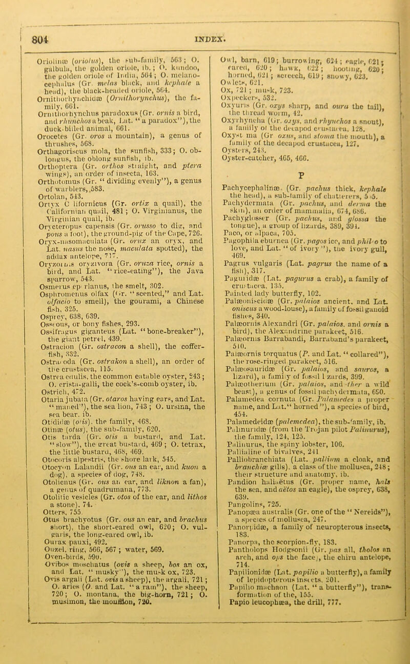 Oriolinro (oriolvs1, the sub-family, 563; O. gulbulu, the golden oriole, il>.; O. kimdoo, the golden oriole of India, 504 ; O. mclano- cephalus (Gr meins black, and kepliale a head), the black-headed oriole, 504. Ornithorhynchidm (Ornithorynclim), the fa- mily, 661. Ornithorhynchus paradoxus (Gr. ornis a bird, and rhunchos a beak, hat. “a paradox”), the duck-billed animal, G61. Orocetes (Gr. oros a mountain), a genus of thrushes, 568. Orthagoriscus mola, the sunfish, 333; O. ob- longus, the oblong sunfisli, lb. Orthopiera (Gr. orthos sti night, and plcra wings), an order of inseeta, 1G3. Orthotomus (Gr. “ dividing evenly”), a genus of warblers, .583. Ortolan, 543. Onyx C lifornicus (Gr. ortix a quail), the Californian quail, 481; O. Virginianus, the Virginian quail, ib. OrycteropuH capensis (Gr. orusso to dig, and pons a loot), the ground-pig of the Cape, 72G. Oryx-uasomaculata (Gr. ontx an oryx, and Lat. nnsxts the nose, maculata spotted), the addax antelope, 717. Ory/.oio.s orvzivora (Gr. oruzn rice, ornis a bird, and Lat. “rice-eating”), the Java sparrow, 543. Osmerus ep rlanus, the smelt, 302. Osphromenus olfax (Or. “scented,” and Lat. uifncio to smell), the gourami, a Chinese fish, 325. Osprey, G38, G39. Ossious, or bony fishes, 293. Ossifragus giganteus (Lat. “bone-breaker”), the giant petrel, 439. Ostraeion (Gr. ostracon a shell), the coffer- fish, 332. Ostraioda (Gr. ostrakon a shell), an order of the Crustacea, 115. Ostrra edtllis, the common eatable oyster, 243 ; O. crista-galli, the cock’s-comb oyster, ib. Ostrich, 472. Otaria jubata (Gr. otaros having ears, and Lat. “ maned”), the sea lion, 743 ; O. ursina, the sea bear. ib. Otidid® (oiis). the family, 468. Otinae (otus), the sub-family, 620. Otis tarda (Gr. otis a bustard, and Lat. “ slow”), the great bustard, 4G9 ; O. tetrax, the little bustard, 468, 469. Otocoris alppstris, the shore lark, 545. Otocyon Lalatidii (Gr. ons an ear, and kuon a dog), a species of dog, 748. Otolicnus (Gr. ous ati ear, and liknon a fan), a genus of quadrumana, 773. Otolitic vesicles (Gr. otos of the ear, and lithos a stone). 74. Otters, 755 Otus brachyotus (Gr. ous an ear, and brachus short), the short-eared owl, 620; O. vul- garis, the long-eared owl, ib. Ourax pauxi, 492. Ouzel, ring, 566, 567 ; water, 569. Oven-birds, 59u. Ovibos moschatus (ovis a sheep, bos an ox, and Lat. “musky'), the musk ox, 723. 0'is argali (Lat. om a sheep), the argali, 721; O. aries (0. and Lat. “ a ram”), the sheep, 720; O. montana, the big-horn, 721; 0. musimon, the moufilon, 720. Owl, barn, 019; burrowing, 624; eagle, 621 • eared, 620 ; hawk, 622 ; hooting, 620; horned, 621 ; screech, 619; snowy, 623. Owlets, 621. Ox, 721 ; musk, 723. Oxpeckers, 532. Oxyuns (Gr. oxys sharp, and ouru the tail), the thread worm, 42. Oxyrhynehu (Gr. orys. and rhynchos a snout), a family ot the decapod Crustacea. 128. Oxyst, ma (Gr oxnx, and stoma the mouth), a family of the decapod Crustacea, 127. Oysters, 243. Oyster-catcher, 465, 4GG. P Pachycephalia®. (Gr. pachus thick, kephale the head), a sub-lamily of chatterers, 5 ’5. Pacliydermata (Gr. pachus, and derma the skm), an order of mammalia, 674,686. Pachyglossor (Gr. pachus, and ylossa the tongue), a group of lizards, 389, 394. Paco, or alpaca, 705. Pagophila eburnca (Gr. pagos ice, and phil o to love, and Lat. “ of ivory ”), ttie ivory gull. 469. Pagrus vulgaris (Lat. pagrus the name of a fish), 317. Paginal® (Lat. pagurus a crab), a family of Crustacea. 135. Painted lady butterfly, 102. Pal®oiiiscid® (Gr. palaios ancient, and Lat. oniscus a wood-louse), a family of fo.-sil ganoid fishes, 340. Palffiornis Alexandri (Gr. palaios. and ornis a bird), the Alexandrine parakeet, 516. Palffiornis Barrabandi, Barraband’s parakeet, 510. Palffiornis tnrquatus (P. and Lat. “ collared”), the rose-ringed parakeet, 516. Palffiosauridffi (Gr. palaios, and sauros, a lizard), a famiy of fossil 1 zards, 399. Palffiotherium (Gr. palaios, and iher a wild beast), a genus of fossil paclndelmata, 6S0. Palamedea cornuta (Gr. J’alamedcs a proper name, and Lat.“ horned ”), a species of bird, 454. Palnmedeidffi (palemcdca), the sub-'amily, ib. Palinurid® (from the Trojan pilot Falitiurus), the family, 124, 125. Palinurus, the spiny lobster, 106. Pallialine of bivalves, 241 Palliobranchiata (l.at. pallium a cloak, and branchial gills), a class of the mollusca, 248; their structure and anatomy, ib. Pandion haliuetus (Gr. proper name, hats the sea, and aiitos an eagle), the osprey, 638, 639. Pangolins, 725. Panopffiu australis (Gr. one of the “ Nereids”), a species of mollusca, 247. Panort.id®, a family of neuropterous insects, 183. Pnnorpa, the scorpion-flv, 1S3. Pantholops Hodgsonii (Gr. pas all, tholos an arch, and ops the facej, the chiru antelope, 714. Papilionid® (Lat. popilio a butterfly), a family of lepidopterotis insiets. 201. Papilio machaon (Lat. “ a butterfly”), trans- formation of the, 155. Papio leucophffia, the drill, 777. I