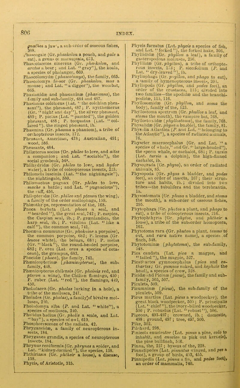 gnathos a jaw', a sub-order of osseous fishes, 308. .’hascogale (Gr.pliaskolon a pouch, and gale a cat), a genus 01 marsupials, 673. Phaseolarctos oinereus (Gr. pliaskolon, and arctos a bear; and Lat. “ gray”), the koala, a species of phalanger, GG9. Phascolomydce (phascolomys), the family, 6G5. Phuscolomys fo-sor (Gr. pliaskolon, mus a mouse ; and Lat. “a digger”), the wombat, 6G5. Phasianidre and phasianinso (phasianus), the family and sub-family, 484 and 487. Phasianus colchicus (Lat. “ the colchian phea- sant”), the pheasant, 487 ; P. nyethemerus (Gr. “ night and day”), the silver pheasant, 489 ; P. pictus (Lat. “ painted”), the golden pheasant, 488; P. torquatus (Lat. “col- lared”). the ringed pheasant, ib. Phasmina (Gr. phasma a phantom), a tribe of orihopterous insects, 172. Pheasant, American, 478; Australian, 491; wood, 586. Pheasants, 484. Philseterus socius (Gr. phileo to love, and aites a companion; and Lat. “sociable”), the social grosbeak, 548. Philhydridoe (Gr. phileo to love, and hydor water), a tribe of coleopterous insects, 223. Philomela luscinia (Lat. “the nightingale”), the nightingale, 580. Philotnackus pugnax (Gr. phileo to love, inache a battle; and Lat. “pugnacious”), the i uff, 456. Philoptendae (Gr. phileo and ptenon the wing), a family of the order mallophaga, 159. PhliBotbrips, representation of the, 168. Pnoca barbata (Lat. phoca a seal, and “ bearded ”), the great seal, 742; P. caspica, the Caspian seal, ib.; P. groenlandica, the harp seal, ib.; P. vitulina (Lat. “like a calf”), the common seal, 741. Phocoena communis (Gr. phoknino a porpoise), the common porpoise, 682; P. leucas (Gr. leucos white), the beluga, 684; P. inelas (Gr. “black”), the round-headed porpoise, 682; P. orca (Lat orca a species of ceta- cean), the grampus, 683. Phocidse (phoca), the family, 741. Phoenicopterintp (phaenicupterus), the sub- family, 448. Phoenicopterus chilensis (Gr. plioinix red, and ptcron a wing), the Chilian flamingo, 450 ; P. ruber (Lat. “red”), the flamingo, 449, 450. Pholadacea (Gr. pliolas lurking in a hole), a tribe o! the molltisca, 247. Pholades (Gr. pliolas),a. family]of bivalve mol- lusca, 210. Pholadomya alba (P. and Lat. “white”), a species of mollusca, 240. Phoddus badius (Gr. pholis a scale, and Lat. “ bay”), a species of owl, 619. Phosphorescence of the radiata, 42. Phryganeidoe, a family of neuropterous in- sects, 184. Phryganea grandis, a species of neuropterous insects, 184. Phrynus reniformis (Gr. phrynos a spider, and Lat. “ kidney-formed ”), the species, 138. Phthiriasm (Gr. phtlieir a louse), a disease, 158. Phycis, of Aristotle, 325. Phycis furoatus (Lat. phycis a species of fish, and Lat. “forked”), the forked hake, 306. Phyllididoe (Gr. phyllon a leaf), a family of gasteropodous mollusca, 256. PhylliidaB (Gr. phyllon), a tribe of orthopte- rous insects, 173; P. siccifolium (P. and Lat. “ dry-leaved ”), ib. Phyllophaga (Gr. phyllon, and phago to eat), a family of hymenopterous insect-, 201. Phyllopoda (Gr. phyllon, and podes feet), an order of the Crustacea, 115; divided into two families—the apodidas and the branchi- podidoe, 115, 116. Phyllosomidm (Gr. phyllon, and soma the body), family of the, 123. Phyllostoma spectrum (Gr. pliullos a leaf, and stoma the mouth), the vampire bat, 7G8. Phyllosto i.idce (phyllostoma), the family, 768. Phvsalidce (Gr. physa a buable), the family, 81. Phys ilia Atlantica (P. and Lat. “ belonging to the Atlantic”), a species of radiated animals, 76. Pliyseter macrocephalus (Gr. and Lat. “ a species of w hale,” and Gr. “ large-headed”), the sperm whale, or cachalot, 681; P. tursio (Lat. tursio a dolphin), the high-filmed cachalot, ib. Physograda (Gr. physa), an order of radiated animals, 85. Physopoda (Gr. physa a bladder, and podes feet), an order of insecta, 167 ; their struc- ture and habits, ib.; divided into two tribes—the tubulifera and the terebrantia, io. Phvsostomata (Gr. phusa a bladder, and stoma the mouth), a sub-order of osseous fishes, 295. Phytophaga (Gr. photos a plant, and phago to eat), a tribe of coleopterous insects, 216. Phytophthyria (Gr. phytos, and phtheir a louse), a tribe of the sub-order homoptera, 162. Phytotoma rara (Gr. phuton a plant, temno to cut, and rara native name), a species of finch, 548. Phytotominse (phytotoma), the sub-family, 548. Pica caudata (Lat. pica a magpie, and “ tailed ”), the magpie, 527. Picatl artes gymnocephalus (pica and ca- thartes; Gr. gumnos naked, and kephale the he.id), a species of crow, 528. Picidae and Eicinae (picas), the family and sub- family, 505, 507. Piculets, 509. Picumninas (picus), the sub-family of the piculets, 509. Picus martins (Lat. picas a woodpecker), the great black woodpecker, 505 ; p. principalis (Lat. “ chief”), the ivory-billed woodpecker, 500 ; P. robustus (Lat. “robust”), 506. Pigeons, 493-497; crowned, ib.; domestic, 498 ; ground, 497 ; tree, 497, 500. Pike, 302. Pilchard, 298. Pinicola enucleator (Lat. pinus a pine, colo to inhabit, and enucleo to pick out kernels), the pine bullfinch, 516. Pinna, the, 227 ; byssus of the, 228. Pinnatipedes (Lat. pinnatus winged, and pes a foot), a group of birds, 473, 455. Pinnipedia (Lat. pinna a tin, and pedes feet), an order of mammalia, 740.