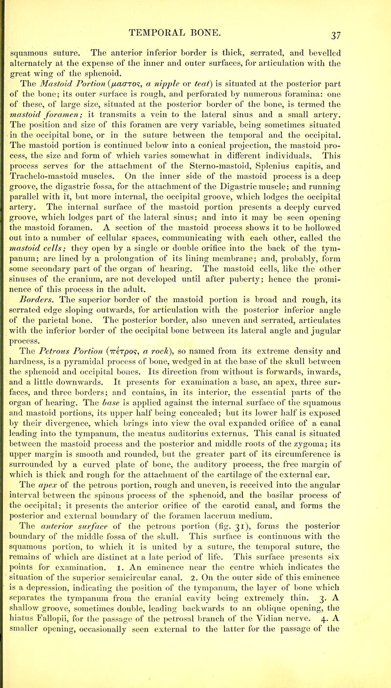 squamous suture. The anterior inferior border is thick, serrated, and bevelled alternately at the expense of the inner and outer surfaces, for articulation with the great wing of the sphenoid. The Mastoid Portion (jiaaTOS, a nipple or teat) is situated at the posterior part of the hone; its outer surface is rough, and perforated by numerous foramina: one of these, of large size, situated at the posterior border of the bone, is termed the mastoid foramen; it transmits a vein to the lateral sinus and a small artery. The position and size of this foramen are very variable, being sometimes situated in the occipital bone, or in the suture between the temporal and the occipital. The mastoid portion is continued below into a conical projection, the mastoid pro- cess, the size and form of which varies somewhat in different individuals. This process serves for the attachment of the Sterno-mastoid, Splenius capitis, and Trachelo-mastoid muscles. On the inner side of the mastoid process is a deep groove, the digastric fossa, for the attachment of the Digastric muscle; and running parallel with it, but more internal, the occipital groove, which lodges the occipital artery. The internal surface of the mastoid portion presents a deeply curved groove, which lodges part of the lateral sinus; and into it may be seen opening the mastoid foramen. A section of the mastoid process shows it to be hollowed out into a number of cellular spaces, communicating with each other, called the mastoid cells; they open by a single or double orifice into the back of the tym- panum; are lined by a prolongation of its lining membrane; and, probably, form some secondary part of the organ of hearing. The mastoid cells, like the other sinuses of the cranium, are not developed until after puberty; hence the promi- nence of this process in the adult. Borders. The superior border of the mastoid portion is broad and rough, its serrated edge sloping outwards, for articulation with the posterior inferior angle of the parietal bone. The posterior border, also uneven and serrated, articulates with the inferior border of the occipital bone between its lateral angle and jugular process. The Petrous Portion (VeTpo?, a rock), so named from its extreme density and hardness, is a pyramidal process of bone, wedged in at the base of the skull between the sphenoid and occipital bones. Its direction from without is forwards, inwards, and a little downwards. It presents for examination a base, an apex, three sur- faces, and three borders; and contains, in its interior, the essential parts of the organ of hearing. The base is applied against the internal surface of the squamous and mastoid portions, its upper half being concealed; but its lower half is exposed by their divergence, which brings into view the oval expanded orifice of a canal leading into the tympanum, the meatus auditorius externus. This canal is situated between the mastoid process and the posterior and middle roots of the zygoma; its upper margin is smooth and rounded, but the greater part of its circumference is surrounded by a curved plate of bone, the auditory process, the free margin of which is thick and rough for the attachment of the cartilage of the external ear. The apex of the petrous portion, rough and uneven, is received into the angular interval between the spinous process of the sphenoid, and the basilar process of the occipital; it presents the anterior orifice of the carotid canal, and forms the posterior and external boundary of the foramen lacerum medium. The anterior surface of the petrous portion (fig. 31), forms the posterior boundary of the middle fossa of the skull. This surface is continuous with the squamous portion, to which it is united by a suture, the temporal suture, the remains of which are distinct at a late period of life. This surface presents six points for examination. 1. An eminence near the centre which indicates the situation of the superior semicircular canal. 2. On the outer side of this eminence is a depression, indicating the position of the tympanum, the layer of bone which separates the tympanum from the cranial cavity being extremely thin. 3. A shallow groove, sometimes double, leading backwards to an oblique opening, the hiatus Fallopii, for the passage of the petrosal branch of the Vidian nerve. 4. A smaller opening, occasionally seen external to the latter for the passage of the