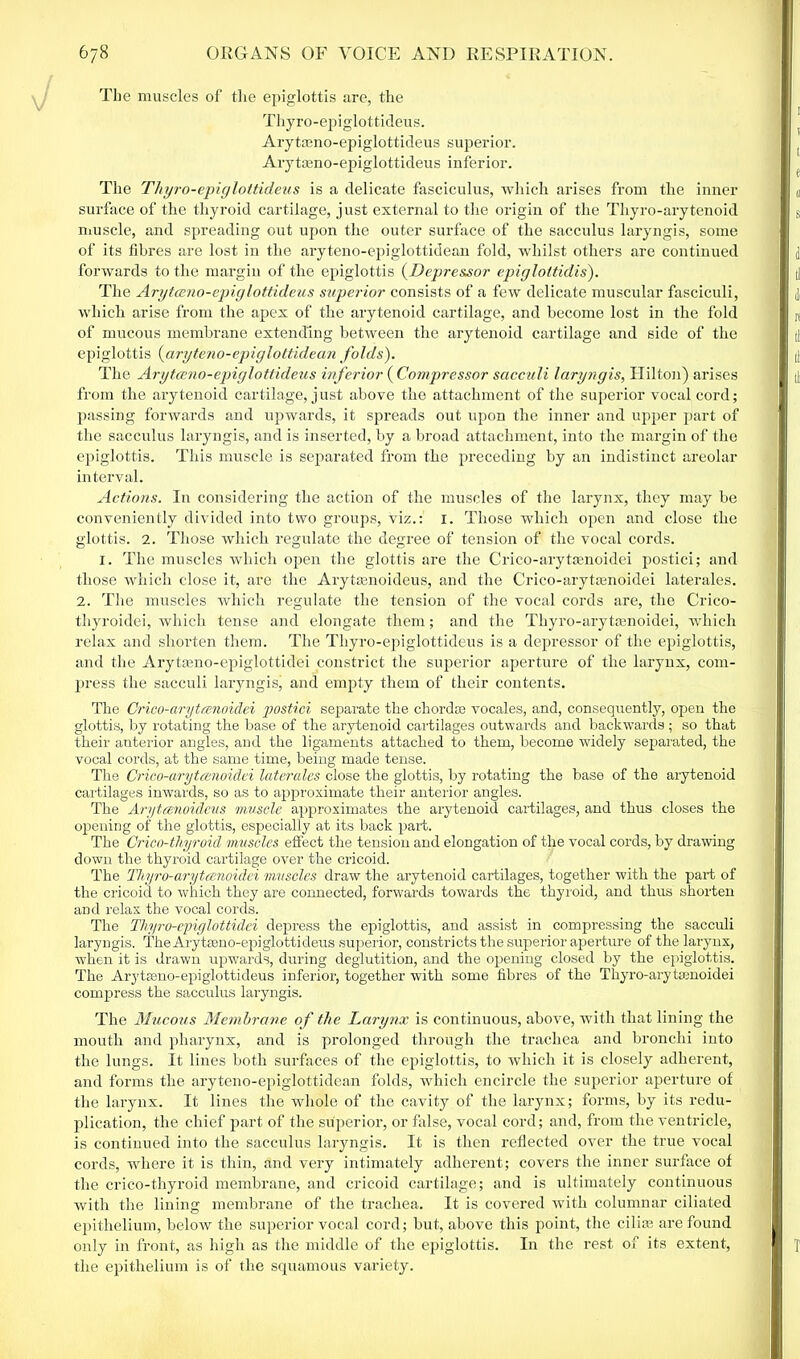 The muscles of the epiglottis are, the Thyro-epiglottideus. Arytamo-epiglottideus superior. Arytasno-epiglottideus inferior. The Tliyro-epiglottideus is a delicate fasciculus, which arises from the inner surface of the thyroid cartilage, just external to the origin of the Thyro-arytenoid muscle, and spreading out upon the outer surface of the sacculus laryngis, some of its fibres are lost in the aryteno-epiglottidean fold, whilst others are continued forwards to the margin of the epiglottis (Depressor epiglottidis). The Arytceno-epig lottideus superior consists of a few delicate muscular fasciculi, which arise from the apex of the arytenoid cartilage, and become lost in the fold of mucous membrane extending between the arytenoid cartilage and side of the epiglottis (aryteno-epiglottidean folds). The Arytceno-epiglottideus inferior ( Compressor sacculi laryngis, Hilton) arises from the arytenoid cartilage, just above the attachment of the superior vocal cord; passing forwards and upwards, it spreads out upon the inner and upper part of the sacculus laryngis, and is inserted, by a broad attachment, into the margin of the epiglottis. This muscle is separated from the preceding by an indistinct areolar interval. Actions. In considering the action of the muscles of the larynx, they may be conveniently divided into two groups, viz.: 1. Those which open and close the glottis. 2. Those which regulate the degree of tension of the vocal cords. 1. The muscles which open the glottis are the Crico-arytsenoidei postici; and those which close it, are the Arytasnoideus, and the Crico-arytsenoidei laterales. 2. The muscles which regulate the tension of the vocal cords are, the Crico- thyroidei, which tense and elongate them; and the Thyro-arytsenoidei, which relax and shorten them. The Thyro-epiglottideus is a depressor of the epiglottis, and the Arytmno-epiglottidei constrict the superior aperture of the larynx, com- press the sacculi laryngis, and empty them of their contents. The Crico-aryteenoidei postici separate the chorda? vocales, and, consequently, open the glottis, by rotating the base of the arytenoid cartilages outwards and backwards ; so that their anterior angles, and the ligaments attached to them, become widely separated, the vocal cords, at the same time, being made tense. The Crico-aryteenoidei laterales close the glottis, by rotating the base of the arytenoid cartilages inwards, so as to approximate their anterior angles. The Arytcenoideus muscle approximates the arytenoid cartilages, and thus closes the opening of the glottis, especially at its back part. The Crico-thyroid muscles effect the tension and elongation of the vocal cords, by drawing down the thyroid cartilage over the cricoid. The Thyro-ai'ytcenoidci muscles draw the arytenoid cartilages, together with the part of the cricoid to which they are connected, forwards towards the thyroid, and thus shorten and relax the vocal cords. The Thyro-epiglottidei depress the epiglottis, and assist in compressing the sacculi laryngis. TheArytaeno-epiglottideus superior, constricts the superior aperture of the larynx, when it is drawn upwards, during deglutition, and the ojjening closed by the epiglottis. The Arytseno-epiglottideus inferior, together with some fibres of the Thyro-arytsenoidei compress the sacculus laryngis. The Mucous Membrane of the Larynx is continuous, above, with that lining the mouth and pharynx, and is prolonged through the trachea and bronchi into the lungs. It lines both surfaces of the epiglottis, to which it is closely adherent, and forms the aryteno-epiglottidean folds, which encircle the superior aperture of the larynx. It lines the whole of the cavity of the larynx; forms, by its redu- plication, the chief part of the superior, or false, vocal cord; and, from the ventricle, is continued into the sacculus laryngis. It is then reflected over the true vocal cords, where it is thin, and very intimately adherent; covers the inner surface of the crico-thyroid membrane, and cricoid cartilage; and is ultimately continuous with the lining membrane of the trachea. It is covered with columnar ciliated epithelium, below the superior vocal cord; but, above this point, the cilia? are found only in front, as high as the middle of the epiglottis. In the rest of its extent, the epithelium is of the squamous variety.