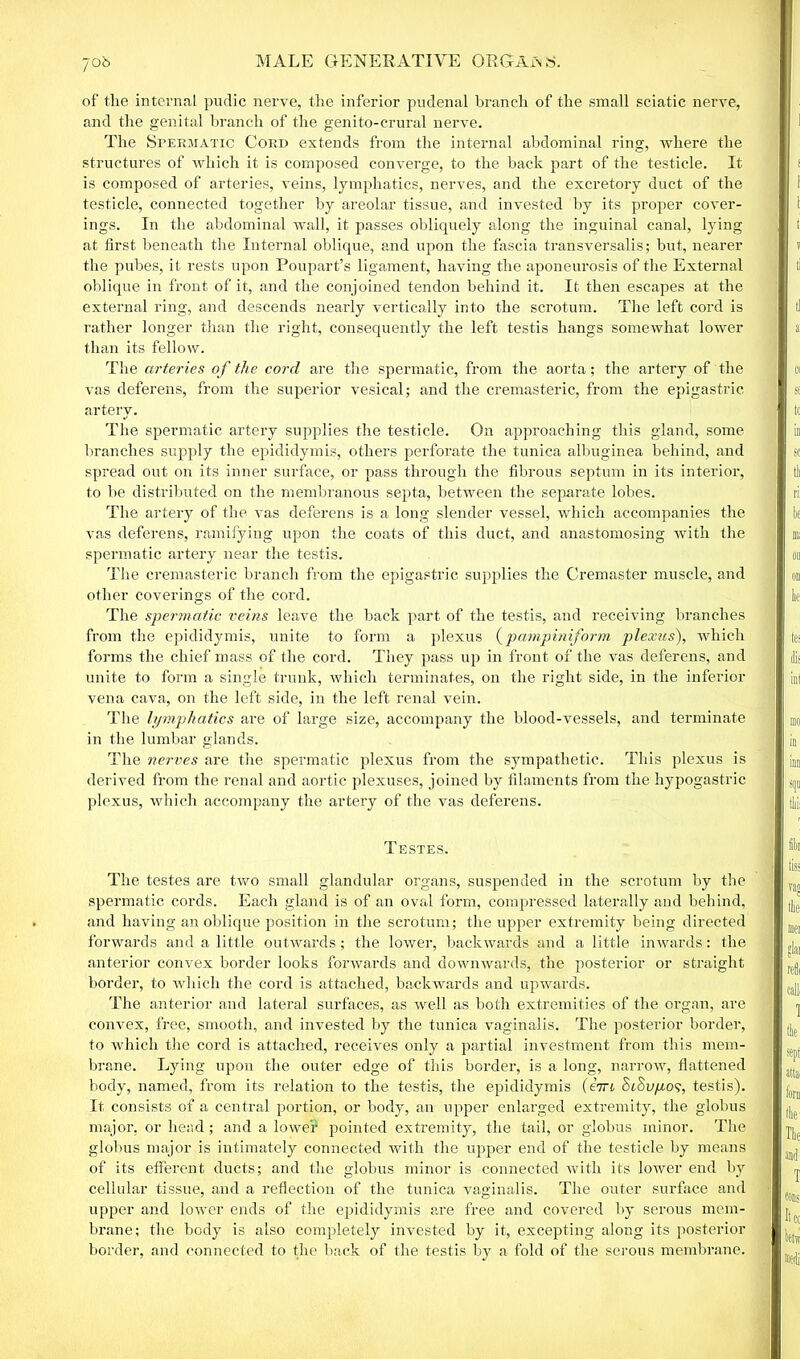 of the internal pudic nerve, the inferior pudenal branch of the small sciatic nerve, and the genital branch of the genito-crural nerve. The Skermatic Cord extends from the internal abdominal ring, where the structures of which it is composed converge, to the back part of the testicle. It is composed of arteries, veins, lymphatics, nerves, and the excretory duct of the testicle, connected together by areolar tissue, and invested by its proper cover- ings. In the abdominal wall, it passes obliquely along the inguinal canal, lying at first beneath the Internal oblique, and upon the fascia transversalis; but, nearer the pubes, it rests upon Poupart’s ligament, having the aponeurosis of the External oblique in front of it, and the conjoined tendon behind it. It then escapes at the external ring, and descends nearly vertically into the scrotum. The left cord is rather longer than the right, consequently the left testis hangs somewhat lower than its fellow. The arteries of the cord are the spermatic, from the aorta; the artery of the vas deferens, from the superior vesical; and the cremasteric, from the epigastric artery. The spermatic artery supplies the testicle. On approaching this gland, some branches supply the epididymis, others perforate the tunica albuginea behind, and spread out on its inner surface, or pass through the fibrous septum in its interior, to be distributed on the membranous septa, between the separate lobes. The artery of the vas deferens is a long slender vessel, which accompanies the vas deferens, ramifying upon the coats of this duct, and anastomosing with the spermatic artery near the testis. The cremasteric branch from the epigastric supplies the Cremaster muscle, and other coverings of the cord. The spermatic veins leave the back part of the testis, and l’eceiving branches from the epididymis, unite to form a plexus (pampiniform plexus), which forms the chief mass of the cord. They pass up in front of the vas deferens, and unite to form a single trunk, which terminates, on the right side, in the inferior vena cava, on the left side, in the left renal vein. The lymphatics are of large size, accompany the blood-vessels, and terminate in the lumbar glands. The nerves are the spermatic plexus from the sympathetic. This plexus is derived from the renal and aortic plexuses, joined by filaments from the hypogastric plexus, which accompany the artery of the vas deferens. Testes. The testes are two small glandular organs, suspended in the scrotum by the spermatic cords. Each gland is of an oval form, compressed laterally and behind, and having an oblique position in the scrotum; the upper extremity being directed forwards and a little outwards; the lower, backwards and a little inwards: the anterior convex border looks forwards and downwards, the posterior or straight border, to which the cord is attached, backwards and upwards. The anterior and lateral surfaces, as well as both extremities of the organ, are convex, free, smooth, and invested by the tunica vaginalis. The posterior border, to which the cord is attached, receives only a partial investment from this mem- brane. Lying upon the outer edge of this border, is a long, narrow, flattened body, named, from its relation to the testis, the epididymis (eVr SlSv/jlos, testis). It consists of a central portion, or body, an upper enlarged extremity, the globus major, or head; and a lower pointed extremity, the tail, or globus minor. The globus major is intimately connected with the upper end of the testicle by means of its efferent ducts; and the globus minor is connected with its lower end by cellular tissue, and a reflection of the tunica vaginalis. The outer surface and upper and lower ends of the epididymis are free and covered by serous mem- brane; the body is also completely invested by it, excepting along its posterior border, and connected to the back of the testis by a fold of the serous membrane.