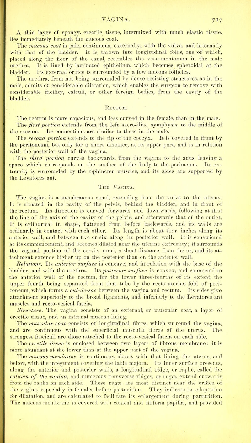 A thin layer of spongy, erectile tissue, intermixed with much elastic tissue, lies immediately beneath the mucous coat. The mucous coat is pale, continuous, externally, with the vulva, and internally with that of the bladder. It is thrown into longitudinal folds, one of which, placed along the floor of the canal, resembles the veru-montanum in the male urethra. It is lined by laminated epithelium, which becomes. spheroidal at the bladder. Its external orifice is surrounded by a few mucous follicles. The urethra, from not being surrounded by dense resisting structures, as in the male, admits of considerable dilatation, which enables the surgeon to remove with considerable facility, calculi, or other foreign bodies, from the cavity of the bladder. Rectum. The rectum is more capacious, and less curved in the female, than in the male. The first portion extends from the left sacro-iliac symphysis to the middle of the sacrum. Its connections are similar to those in the male. The second portion extends to the tip of the coccyx. It is covered in front by the peritoneum, but only for a short distance, at its upper part, and is in relation with the posterior wall of the vagina. The third portion curves backwards, from the vagina to the anus, leaving a space which corresponds on the surface of the body to the perinseum. Its ex- tremity is surrounded by the Sphincter muscles, and its sides are supported by the Levatores ani. The Vagina. The vagina is a membranous canal, extending from the vulva to the uterus. It is situated in the cavity of the pelvis, behind the bladder, and in front of the rectum. Its direction is curved forwards and downwards, following at first the line of the axis of the cavity of the pelvis, and afterwards that of the outlet. It is cylindrical in shape, flattened from before backwards, and its walls are ordinarily in contact with each other. Its length is about four inches along its anterior wall, and between five or six along its posterior wall. It is constricted at its commencement, and becomes dilated near the uterine extremity; it surrounds the vaginal portion of the cervix uteri, a short distance from the os, and its at- tachment extends higher up on the posterior than on the anterior wall. Relations. Its anterior surface is concave, and in relation with the base of the bladder, and with the urethra. Its posterior surface is convex, and connected to the anterior wall of the rectum, for the lower three-fourths of its extent, the upper fourth being separated from that tube by the recto-uterine fold of peri- toneum, which forms a cul-de-sac between the vagina and rectum. Its sides give attachment superiorly to the broad ligaments, and interiorly to the Levatores ani muscles and recto-vesical fascia. Structure. The vagina consists of an external, or muscular coat, a layer of erectile tissue, and an internal mucous lining. The muscular coat consists of longitudinal fibres, which surround the vagina, and are continuous with the superficial muscular fibres of the uterus. The strongest fasciculi are those attached to the recto-vesical fascia on each side. The erectile tissue is enclosed between two layers of fibrous membrane: it is more abundant at the lower than at the upper part of the vagina. The mucous membrane is continuous, above, with that lining the uterus, and below, with the integument covering the labia majora. Its inner surface presents, along the anterior and posterior walls, a longitudinal ridge, or raphe, called the column of the vacjina,, and numerous transverse ridges, or rugae, extend outwards from the raphe on each side. These rugae are most distinct near the orifice of the vagina, especially in females before parturition. They indicate its adaptation for dilatation, and are calculated to facilitate its enlargement during parturition. The mucous membrane is covered with conical and filiform papillae, and provided