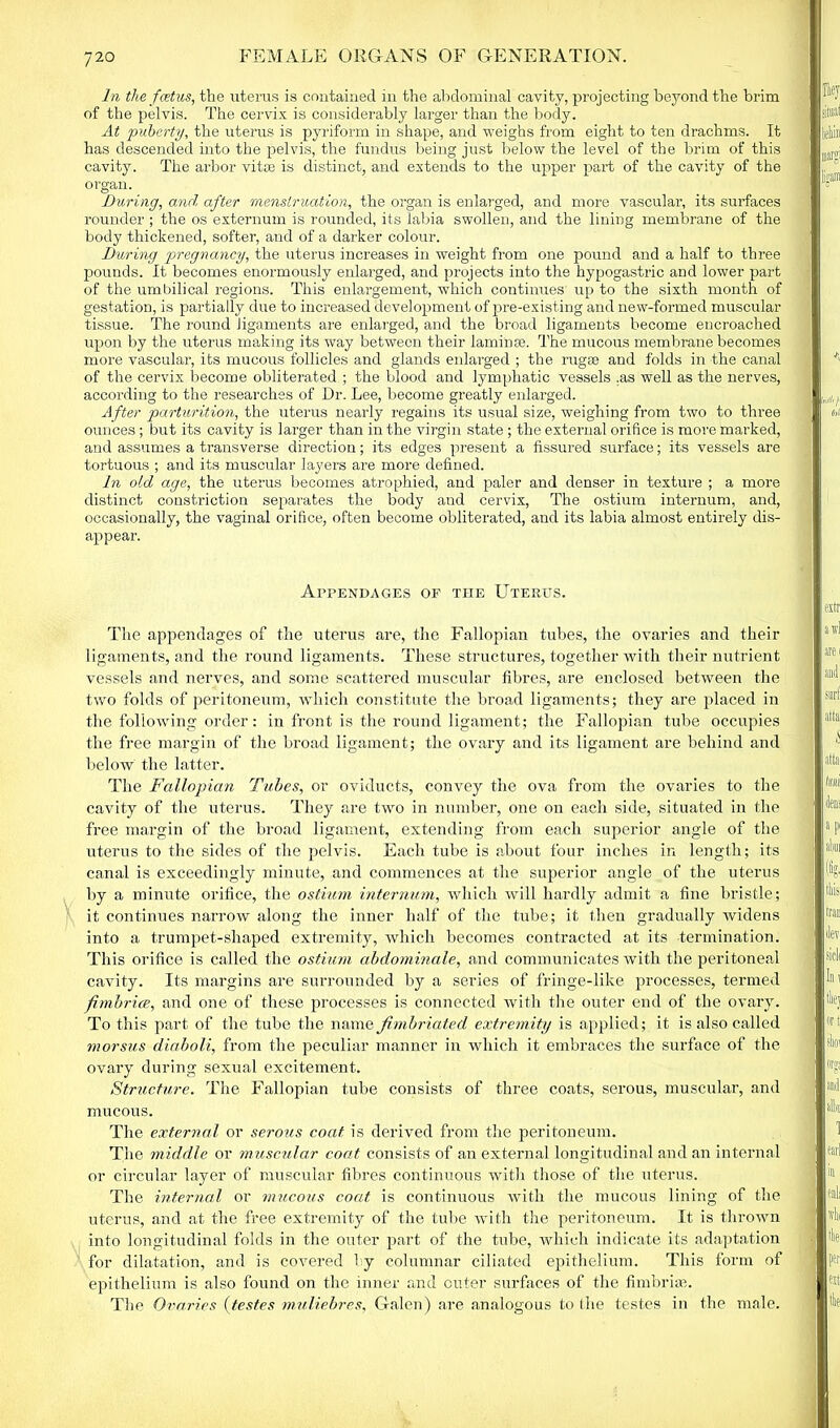 In the foetus, the uterus is contained in the abdominal cavity, projecting beyond the brim of the pelvis. The cervix is considerably larger than the body. At puberty, the uterus is pyriform in shape, and weighs from eight to ten drachms. It has descended into the pelvis, the fundus being just below the level of the brim of this cavity. The arbor vitce is distinct, and extends to the upper part of the cavity of the organ. During, and after menstruation, the organ is enlarged, and more vascular, its surfaces rounder ; the os externum is rounded, its labia swollen, and the lining membrane of the body thickened, softer, and of a darker colour. During pregnancy, the uterus increases in weight from one pound and a half to three pounds. It becomes enormously enlarged, and projects into the hypogastric and lower part of the umbilical regions. This enlargement, which continues up to the sixth month of gestation, is partially due to increased development of pre-existing and new-formed muscular tissue. The round ligaments are enlarged, and the broad ligaments become encroached upon by the uterus making its way between their laminae. The mucous membrane becomes more vascular, its mucous follicles and glands enlarged ; the rugae and folds in the canal of the cervix become obliterated ; the blood and lymphatic vessels ,as well as the nerves, according to the researches of Dr. Lee, become greatly enlarged. After parturition, the uterus nearly regains its usual size, weighing from two to three ounces; but its cavity is larger than in the virgin state ; the external orifice is more marked, and assumes a transverse direction; its edges present a fissured surface; its vessels are tortuous ; and its muscular layers are more defined. In old age, the uterus becomes atrophied, and paler and denser in texture ; a more distinct constriction separates the body and cervix, The ostium internum, and, occasionally, the vaginal orifice, often become obliterated, and its labia almost entirely dis- appear. Appendages of the Uterus. The appendages of the uterus are, the Fallopian tubes, the ovaries and their ligaments, and the round ligaments. These structures, together with their nutrient vessels and nerves, and some scattered muscular fibres, are enclosed between the two folds of peritoneum, which constitute the broad ligaments; they are placed in the following order: in front is the round ligament; the Fallopian tube occupies the free margin of the broad ligament; the ovary and its ligament are behind and below the latter. The Fallopian Tubes, or oviducts, convey the ova from the ovaries to the cavity of the uterus. They are two in number, one on each side, situated in the free margin of the broad ligament, extending from each superior angle of the uterus to the sides of the pelvis. Each tube is about four inches in length; its canal is exceedingly minute, and commences at the superior angle of the uterus by a minute orifice, the ostium internum, which will hardly admit a fine bristle; it continues narrow along the inner half of the tube; it then gradually widens into a trumpet-shaped extremity, which becomes contracted at its termination. This orifice is called the ostium abdominale, and communicates with the peritoneal cavity. Its margins are surrounded by a series of fringe-like processes, termed fimbrice, and one of these processes is connected with the outer end of the ovary. To this part of the tube the name fimbriated extremity is applied; it is also called morsus diaboli, from the peculiar manner in which it embraces the surface of the ovary during sexual excitement. Structure. The Fallopian tube consists of three coats, serous, muscular, and mucous. The external or serous coat is derived from the peritoneum. The middle or muscular coat consists of an external longitudinal and an internal or circular layer of muscular fibres continuous with those of the uterus. The internal or mucous coat is continuous with the mucous lining of the uterus, and at the free extremity of the tube with the peritoneum. It is thrown into longitudinal folds in the outer part of the tube, which indicate its adaptation for dilatation, and is covered by columnar ciliated epithelium. This form of epithelium is also found on the inner and outer surfaces of the fimbria?.. The Ovaries (testes muliebres, Galen) are analogous to (lie testes in the male.