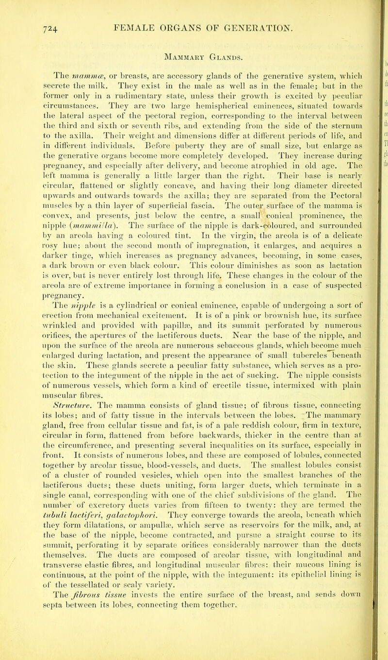 Mammary Glands. The mamma, or breasts, are accessory glands of the generative system, which secrete the milk. They exist in the male as well as in the female; but in the former only in a rudimentary state, unless their growth is excited by peculiar circumstances. They are two large hemispherical eminences, situated towards the lateral aspect of the pectoral region, corresponding to the interval between the third and sixth or seventh ribs, and extending from the side of the sternum to the axilla. Their weight and dimensions differ at different periods of life, and in different individuals. Before puberty they are of small size, but enlarge as the generative organs become more completely developed. They increase during pregnancy, and especially after delivery, and become atrophied in old age. The left mamma is generally a little larger than the right. Their base is nearly circular, flattened or slightly concave, and having their long diameter directed upwards and outwards towards the axilla; they are separated from the Pectoral muscles by a thin layer of superficial fascia. The outer surface of the mamma is convex, and presents, just below the centre, a small conical prominence, the nipple (mammilla). The surface of the nipple is dark-coloured, and surrounded by an areola having a coloured tint. In the virgin, the areola is of a delicate rosy hue; about the second month of impregnation, it enlarges, and acquires a darker tinge, which increases as pregnancy advances, becoming, in some cases, a dark brown or even black colour. This colour diminishes as soon as lactation is over, but is never entirely lost through life. These changes in the colour of the areola are of extreme importance in forming a conclusion in a case of suspected pregnancy. The nipple is a cylindrical or conical eminence, capable of undergoing a sort of erection from mechanical excitement. It is of a pink or brownish hue, its surface wrinkled and provided with papillm, and its summit perforated by numerous orifices, the apertures of the lactiferous ducts. Near the base of the nipple, and upon the surface of the areola are numerous sebaceous glands, which become much enlarged during lactation, and present the appearance of small tubercles beneath the skin. These glands secrete a peculiar fatty substance, which serves as a pro- tection to the integument of the nipple in the act of sucking. The nipple consists of numerous vessels, which form a kind of erectile tissue, intermixed with plain muscular fibres. Structure. The mamma consists of gland tissue; of fibrous tissue, connecting its lobes; and of fatty tissue in the intervals between the lobes. The mammary gland, free from cellular tissue and fat, is of a pale reddish colour, firm in texture, circular in form, flattened from before backwards, thicker in the centre than at the circumference, and presenting several inequalities on its surface, especially in front. It consists of numerous lobes, and these are composed of lobules, connected together by areolar tissue, blood-vessels, and ducts. The smallest lobules consist of a cluster of rounded vesicles, which open into the smallest branches of the lactiferous ducts; these ducts uniting, form larger ducts, which terminate in a single canal, corresponding with one of the chief subdivisions of the gland. The number of excretory ducts varies from fifteen to twenty: they are termed the tubuli lactiferi, galactophori. They converge towards the areola, beneath which they form dilatations, or ampulla, which serve as reservoirs for the milk, and, at the base of the nipple, become contracted, and pursue a straight course to its summit, perforating it by separate orifices considerably narrower than the ducts themselves. The ducts are composed of areolar tissue, with longitudinal and transverse elastic fibres, and longitudinal muscular til ires: their mucous lining is continuous, at the point of the nipple, with the integument: its epithelial lining is of the tessellated or scaly variety. The fibrous tissue invests the entire surface of the breast, and sends down septa between its lobes, connecting them together.