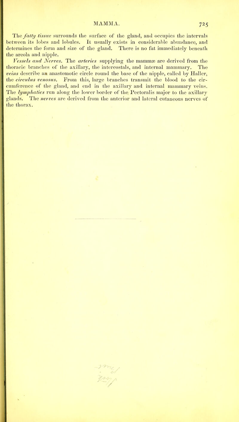 MAMMA. The fatty tissue surrounds the surface of the gland, and occupies the intervals between its lobes and lobules. It usually exists in considerable abundance, and determines the form and size of the gland. There is no fat immediately beneath the areola and nipple. Vessels and Nerves. The arteries supplying the mammae are derived from the thoracic branches of the axillary, the intercostals, and internal mammary. The veins describe an anastomotic circle round the base of the nipple, called by Haller, the circulus venosus. From this, large branches transmit the blood to the cir- cumference of the gland, and end in the axillary and internal mammary veins. The lymphatics run along the lower border of the. Pectoralis major to the axillary glands. The nerves are derived from the anterior and lateral cutaneous nerves of the thorax.