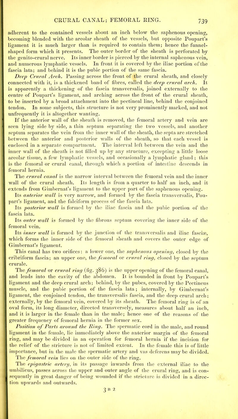 adherent to the contained vessels about an inch below the saphenous opening, becoming blended with the areolar sheath of the vessels, but opposite Poupart’s ligament it is much larger than is required to contain them; hence the funnel- shaped form which it presents. The outer border of the sheath is perforated by the genito-crural nerve. Its inner border is pierced by the internal saphenous vein, and numerous lymphatic vessels. In front it is covered by the iliac portion of the fascia lata; and behind it is the pubic portion of the same fascia. Deep Crural Arcli. Passing across the front of the crural sheath, and closely connected with it, is a thickened band of fibres, called the deep crural arch. It is apparently a thickening of the fascia transversalis, joined externally to the centre of Poupart’s ligament, and arching across the front of the crural sheath, to be inserted by a broad attachment into the pectineal line, behind the conjoined tendon. In some subjects, this structure is not very prominently marked, and not unfrequently it is altogether wanting. If the anterior wall of the sheath is removed, the femoral artery and vein are seen lying side by side, a thin septum separating the two vessels, and another septum separates the vein from the inner wall of the sheath, the septa are stretched between the anterior and posterior walls of the sheath, so that each vessel is enclosed in a separate compartment. The interval left between the vein and the inner wall of the sheath is not filled up by any structure, excepting a little loose areolar tissue, a few lymphatic vessels, and occasionally a lymphatic gland; this is the femoral or crural canal, through which a portion of intestine descends in femoral hernia. The crural canal is the narrow interval between the femoral vein and the inner wall of the crural sheath. Its length is from a quarter to half an inch, and it extends from Gimbernat’s ligament to the upper part of the saphenous opening. Its anterior wall is very narrow, and formed by the fascia transversalis, Pou- part’s ligament, and the falciform process of the fascia lata. Its posterior wall is formed by the iliac fascia and the pubic portion of the fascia lata. Its outer wall is formed by the fibrous septum covering the inner side of the femoral vein. Its inner wall is formed by the junction of the transversalis and iliac fascias, which forms the inner side of the femoral sheath and covers the outer edge of Gimbernat’s ligament. This canal has two orifices: a lower one, the saphenous opening, closed by the cribriform fascia; an upper one, the femoral or crural ring, closed by the septum crurale. The femoral or crural ring (fig. 386) is the upper opening of the femoral canal, and leads into the cavity of the abdomen. It is bounded in front by Poupart’s ligament and the deep crural arch; behind, by the pubes, covered by the Pectineus muscle, and the pubic portion of the fascia lata; internally, by Gimbernat’s ligament, the conjoined tendon, the transversalis fascia, and the deep crural arch; externally, by the femoral vein, covered by its sheath. The femoral ring is of an oval form, its long diameter, directed transversely, measures about half an inch, and it is larger in the female than in the male; hence one of the reasons of the greater frequency of femoral hernia in the former sex. Position of Parts around the Ring. The spermatic cord in the male, and round ligament in the female, lie immediately above the anterior margin of the femoral ring, and may be divided in an operation for femoral hernia if the incision for the relief of the stricture is not of limited extent. In the female this is of little importance, but in the male the spermatic artery and vas deferens maybe divided. The femoral vein lies on the outer side of the ring. The epigastric artery, in its passage inwards from the external iliac to the umbilicus, passes across the upper and outer angle of the crural ring, and is con- sequently in great danger of being wounded if the stricture is divided in a direc- tion upwards and outwards. 3 B 2