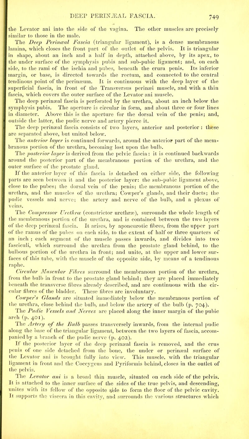 the Levator ani into the side of the vagina. The other muscles are precisely similar to those in the male. The Deep Perintzal Fascia (triangular ligament), is a dense membranous lamina, which closes the front part of the outlet of the pelvis. It is triangular in shape, about an inch and a half in depth, attached above, by its apex, to the under surface of the symphysis pubis and sub-pubic ligament; and, on each side, to the rami of the iscliia and pubes, beneath the crura penis. Its inferior margin, or base, is directed towards the rectum, and connected to the central tendinous point of the perinseum. It is continuous with the deep layer of the superficial fascia, in front of the Transversus per in a: i muscle, and with a thin fascia, which covers the outer surface of the Levator ani muscle. The deep perinaeal fascia is perforated by the urethra, about an inch below the symphysis pubis. The aperture is circular in form, and about three or four lines in diameter. Above this is the aperture for the dorsal vein of the penis; and, outside the latter, the pudic nerve and artery pierce it. The deep perinaeal fascia consists of two layers, anterior and posterior : these are separated above, but united below. The anterior layer is continued forwards, around the anterior part of the mem- branous portion of the urethra, becoming lost upon the bulb. The posterior layer is derived from the pelvic fascia: it is continued backwards around the posterior part of the membranous portion of the urethra, and the outer surface of the prostate gland. If the anterior layer of this fascia is detached on either side, the following- parts are seen between it and the posterior layer: the sub-pubic ligament above, close to the pubes; the dorsal vein of the penis; the membranous portion of the urethra, and the muscles of the urethra; Cowper’s glands, and their ducts; the pudic vessels and nerve; the artery and nerve of the bulb, and a plexus of veins. The Compressor Urethrae (constrictor urethras), surrounds the whole length of the membranous portion of the urethra, and is contained between the two layers of the deep perinasal fascia. It arises, by aponeurotic fibres, from the upper part of the ramus of the pubes on each side, to the extent of half or three quarters of an inch ; each segment of the muscle passes inwards, and divides into two fasciculi, which surround the urethra from the prostate gland behind, to the bulbous portion of the urethra in front; and unite, at the upper and lower sur- faces of this tube, with the muscle of the opposite side, by means of a tendinous raphe. Circular Muscular Fibres surround the membranous portion of the urethra, from the bulb in front to the prostate gland behind; they are placed immediately beneath the transverse fibres already described, and are continuous with the cir- cular fibres of the bladder. These fibres are involuntary. Cowpers Glands are situated immediately below the membranous portion of the urethra, close behind the bulb, and below the artery of the bulb (p. 704). The Pudic Vessels and Nerves are placed along the inner margin of the pubic arch (p. 401). The Artery of the Bulb passes transversely inwards, from the internal pudic along the base of the triangular ligament, between the two layers of fascia, accom- panied by a branch of the pudic nerve (p. 402). If the posterior layer of the deep perinasal fascia is removed, and the crus penis of one side detached from the bone, the under or perinaeal surface of the Levator ani is brought fully into view. This muscle, with the triangular ligament in front and the Coccygeus and Pyriformis behind, closes in the outlet of the pelvis. The Levator ani is a broad thin muscle, situated on each side of the pelvis. It is attached to the inner surface of the sides of the true pelvis, and descending, unites with its fellow of the opposite side to form the floor of the pelvic cavity. It supports the viscera in this cavity, and surrounds the various structures which
