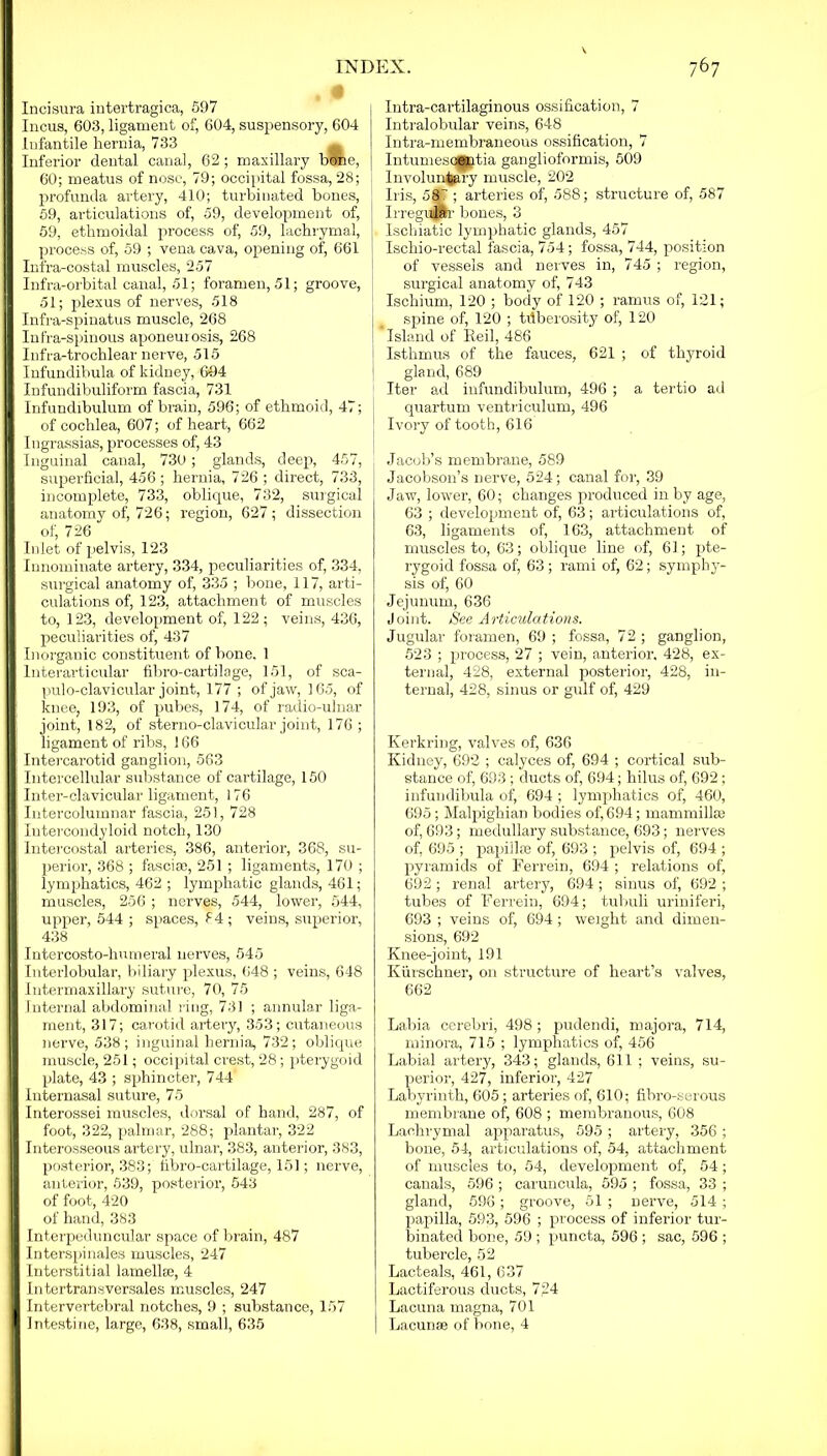 , # Ineisura intertragica, 597 Incus, 603, ligament of, 604, suspensory, 604 Infantile hernia, 733 ^ Inferior dental canal, 62 ; maxillary bone, 60; meatus of nose, 79; occipital fossa, 28; profunda artery, 410; turbinated bones, | 59, articulations of, 59, development of, 59, ethmoidal process of, 59, lachrymal, process of, 59 ; vena cava, opening of, 661 Infra-costal muscles, 257 Infra-orbital canal, 51; foramen, 51; groove, | 51; plexus of nerves, 518 Infra-spinatus muscle, 268 Infra-spinous aponeurosis, 268 Infra-trochlear nerve, 515 Infundibula of kidney, 694 Infundibuliform fascia, 731 Infundibulum of brain, 596; of ethmoid, 47; ! of cochlea, 607; of heart, 662 Iugrassias, processes of, 43 Inguinal canal, 730 ; glands, deep, 457, superficial, 456 ; hernia, 726 ; direct, 733, incomplete, 733, oblique, 732, surgical anatomy of, 726; region, 627 ; dissection of, 726 Inlet of pelvis, 123 Innominate artery, 334, peculiarities of, 334, surgical anatomy of, 335 ; bone, 117, arti- culations of, 123, attachment of muscles to, 123, development of, 122; veins, 436, peculiarities of, 437 Inorganic constituent of bone. 1 lnterarticular fibro-cartilage, 151, of sca- pulo-clavicular joint, 177 ; of jaw, 165, of knee, 193, of pubes, 174, of radio-ulnar joint, 182, of sterno-clavicular joint, 176; ligament of ribs, 166 Intercarotid ganglion, 563 Intercellular substance of cartilage, 150 Inter-clavicular ligament, 176 Intercolumnar fascia, 251, 728 Intercondyloid notch, 130 Intercostal arteries, 386, anterior, 368, su- perior, 368 ; fasciae, 251 ; ligaments, 170 ; lymphatics, 462 ; lymphatic glands, 461; muscles, 256 ; nerves, 544, lower, 544, upper, 544 ; spaces, 84; veins, superior, 438 Intercosto-humeral nerves, 545 Interlobular, biliary plexus, 648 ; veins, 648 Intermaxillary suture, 70, 75 Internal abdominal ring, 731 ; annular liga- ment, 317; carotid artery, 353; cutaneous nerve, 538 ; inguinal hernia, 732 ; oblique muscle, 251; occipital crest, 28; pterygoid plate, 43 ; sphincter, 744 Internasal suture, 75 Interossei muscles, dorsal of hand, 287, of foot, 322, palmar, 288; plantar, 322 Interosseous artery, ulnar, 383, anterior, 383, posterior, 383; fibro-cartilage, 151; nerve, anterior, 539, posterior, 543 of foot, 420 of hand, 383 Interpeduncular space of brain, 487 Interspinales muscles, 247 Interstitial lamellae, 4 Intertransversales muscles, 247 Intervertebral notches, 9 ; substance, 157 Intestine, large, 638, small, 635 Intra-cartilaginous ossification, 7 Intralobular veins, 648 Intra-membraneous ossification, 7 Intumesojptia ganglioformis, 509 Involuntary muscle, 202 Iris, 587 ; arteries of, 588; structure of, 587 Irregujftr bones, 3 Ischiatic lymphatic glands, 457 Ischio-rectal fascia, 754; fossa, 744, position of vessels and nerves in, 745 ; region, surgical anatomy of, 743 Ischium, 120 ; body of 120 ; ramus of, 121; spine of, 120 ; tilberosity of, 120 Island of Red, 486 Isthmus of the fauces, 621 ; of thyroid gland, 689 Iter ad infundibulum, 496 ; a tertio ad quartum ventriculum, 496 Ivory of tooth, 616 Jacob’s membrane, 589 Jacobson’s nerve, 524; canal for, 39 Jaw, lower, 60; changes produced in by age, 63 ; development of, 63; articulations of, 63, ligaments of, 163, attachment of muscles to, 63; oblique line of, 61; pte- rygoid fossa of, 63; rami of, 62; symphy- sis of, 60 Jejunum, 636 Joint. See Articulations. Jugular foramen, 69 ; fossa, 72 ; ganglion, 523 ; process, 27 ; vein, anterior. 428, ex- ternal, 428, external posterior, 428, in- ternal, 428, sinus or gulf of, 429 Kerkring, valves of, 636 Kidney, 692 ; calyces of, 694 ; cortical sub- stance of, 693 ; ducts of, 694; hilus of, 692; infundibula of, 694 ; lymphatics of, 460, 695; Malpighian bodies of, 694; mammillae of, 693; medullary substance, 693; nerves of, 695 ; papillae of, 693 ; pelvis of, 694 ; pyramids of Ferrein, 694 ; relations of, 692; renal artery, 694 ; sinus of, 692 ; tubes of Ferrein, 694; tubuli uriniferi, 693 ; veins of, 694 ; weight and dimen- sions, 692 Knee-joint, 191 Kurschner, on structure of heart’s valves, 662 Labia cerebri, 498; pudendi, majora, 714, minora, 715 ; lymphatics of, 456 Labial artery, 343; glands, 611 ; veins, su- perior, 427, inferior, 427 Labyrinth, 605; arteries of, 610; fibro-serous membrane of, 608 ; membranous, 608 Lachrymal apparatus, 595; artery, 356; bone, 54, articulations of, 54, attachment of muscles to, 54, development of, 54; canals, 596 ; caruncula, 595 ; fossa, 33 ; gland, 596 ; groove, 51 ; Derve, 514 ; papilla, 593, 596 ; process of inferior tur- binated bone, 59 ; puncta, 596 ; sac, 596 ; tubercle, 52 Lacteals, 461, 637 Lactiferous ducts, 7;24 Lacuna magna, 701 Lacunae of bone, 4