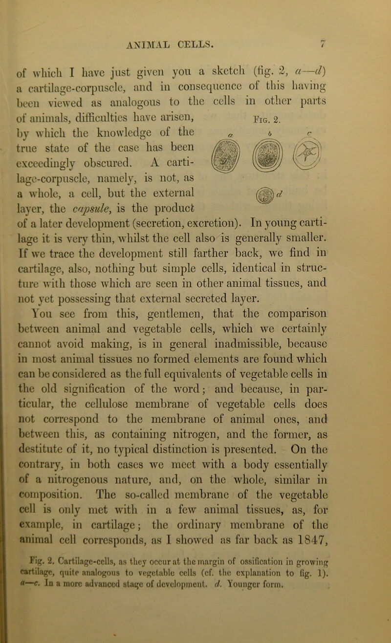 ANIMAL CELLS. of which I have just given you a sketch (tig. 2, a—d) a cartilage-corpuscle, and in cousecpience of this having been viewed as analogous to the cells in other parts of animals, difficulties have arisen, by which the knowledge of the true state of the case has been exceedingly obscured. A carti- lage-corpuscle, namely, is not, as a whole, a cell, but the external layer, the capsule, is the product of a later development (secretion, excretion). In young carti- lage it is very thin, whilst the eell also is generally smaller. If we trace the development still farther back, we find in cartilage, also, nothing but simple cells, identical in struc- ture with those which are seen in other animal tissues, and not yet possessing that external secreted layer. You see from this, gentlemen, that the comparison between animal and vegetable cells, whieh we certainly cannot avoid making, is in general inadmissible, because in most animal tissues no formed elements are found which can be considered as the full equivalents of vegetable cells in the old signification of the word; and because, in par- ticular, the cellulose membrane of vegetable cells does not correspond to the membrane of animal ones, and between this, as containing nitrogen, and the former, as destitute of it, no typical distinction is presented. On the contrary, in both cases we meet with a body essentially of a nitrogenous nature, and, on the whole, similar in composition. The so-called membrane of the vegetable cell is only met with in a few animal tissues, as, for example, in cartilage; the ordinary membrane of the animal cell corresponds, as I showed as far back as 1847, Fig. 2. Cartilage-cells, as they occur at the margin of ossification in growing cartilage, quite analogous to vegetable cells (cf. the explanation to fig. 1). «—c. In a more advanced stage of development, d. Younger form.