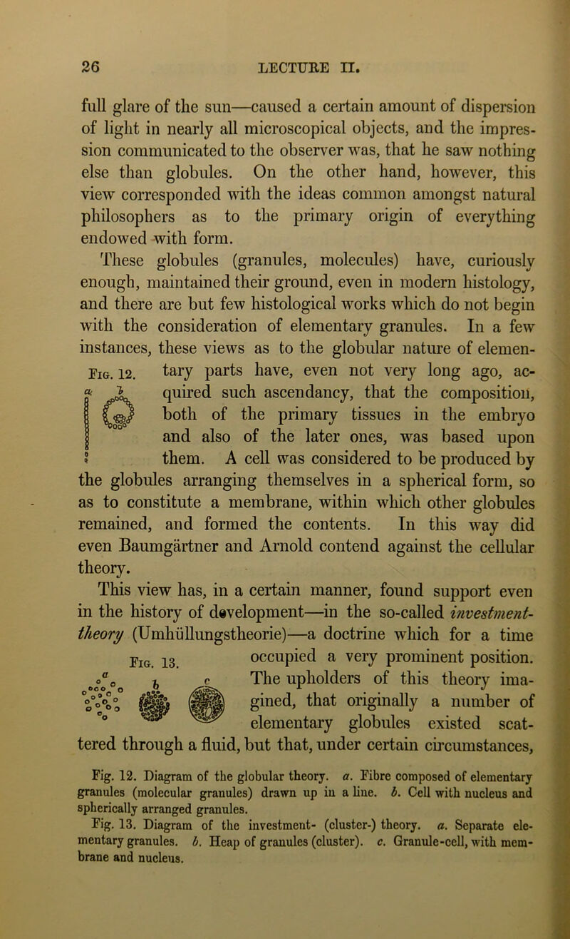 full glare of the sun—caused a certain amount of dispersion sion communicated to the observer was, that he saw nothing else than globules. On the other hand, however, this view corresponded with the ideas common amongst natural philosophers as to the primary origin of everything endowed with form. These globules (granules, molecules) have, curiously enough, maintained their ground, even in modern histology, and there are but few histological works which do not begin with the consideration of elementary granules. In a few instances, these views as to the globular nature of elemen- Eig. 12. tary parts have, even not very long ago, ac- the globules arranging themselves in a spherical form, so as to constitute a membrane, within which other globules remained, and formed the contents. In this way did even Baumgartner and Arnold contend against the cellular theory. This view has, in a certain manner, found support even in the history of development—^in the so-called investment- theory (Umhullungstheorie)—a doctrine which for a time tered through a fluid, but that, under certain circumstances, Pig. 12. Diagram of the globular theory, a. Pibre composed of elementary granules (molecular granules) drawn up in a line. h. Cell with nucleus and spherically arranged granules. Pig. 13. Diagram of the investment- (cluster-) theory, a. Separate ele- mentary granules, b. Heap of granules (cluster), c. Granule-cell, with mem- brane and nucleus. of light in nearly all microscopical objects, and the impres- quired such ascendancy, that the composition, both of the primary tissues in the embryo and also of the later ones, was based upon them. A cell was considered to be produced by Pig. 13. occupied a very prominent position. The upholders of this theory ima- gined, that originally a number of elementary globules existed scat-