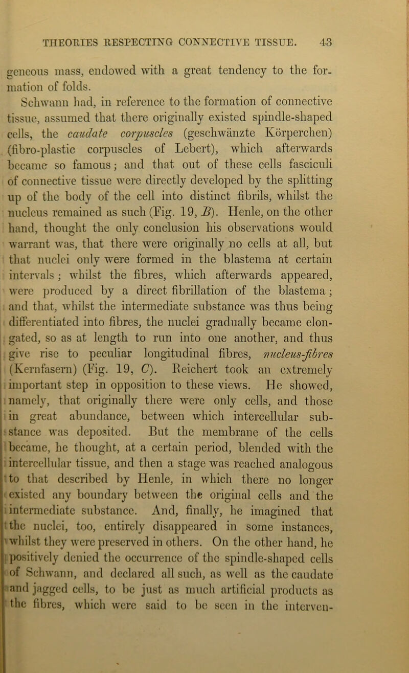 geneous mass, endowed with a great tendency to the for- mation of folds. Schwann liad, in reference to the formation of connective tissue, assumed that there originally existed spindle-shaped cells, the caudate corpuscles (geschwanzte Korperchen) (fibro-plastic corpuscles of Lebert), which afterwards became so famous; and that out of these cells fasciculi of connective tissue were directly developed by the splitting up of the body of the cell into distinct fibrils, whilst the nucleus remained as such (Fig. 19, J5). Henle, on the other hand, thought the Only conclusion his observations would warrant was, that there were originally no cells at all, but that nuclei only were formed in the blastema at certain intervals; whilst the fibres, which afterwards appeared, were produced by a direct fibrillation of the blastema; and that, whilst the intermediate substance was thus being differentiated into fibres, the nuclei gradually became elon- gated, so as at length to run into one another, and thus give rise to peculiar longitudinal fibres, micleus-fibres (Kernfasern) (Fig. 19, C). Reichert took an extremely important step in opposition to these views. He showed, I namely, that originally there were only cells, and those [ in great abundance, between which intercellular sub- stance was deposited. But the membrane of the cells became, he thought, at a certain period, blended with the intercellidar tissue, and then a stage was reached analogous to that described by Henle, in which there no longer ‘ existed any boundary between the original cells and the i intermediate substance. And, finally, he imagined that tthe nuclei, too, entirely disappeared in some instances, ' wliilst tliey were preserved in others. On the other hand, he ! ])ositively denied the occurrence of the spindle-shaped cells of Schwann, and declared all such, as well as the caudate ■ and jagged cells, to be just as miicli artificial products as the fibres, which were said to be seen in the interven-