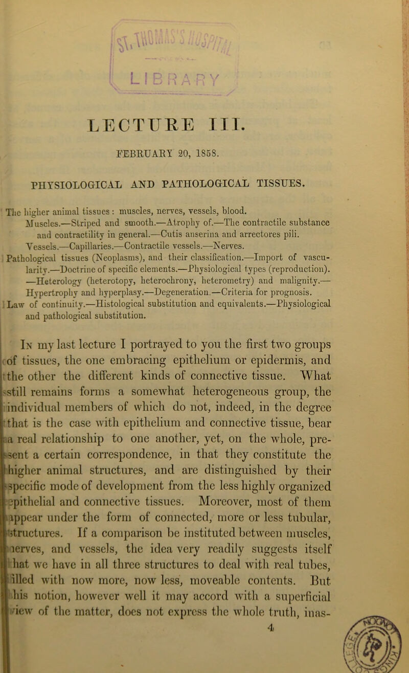 » FEBRUAEl 20, 1363. PHYSIOLOGICAL AND PATHOLOGICAL TISSUES. The higher animal tissues : muscles, nerves, vessels, blood. Muscles.—Striped and smooth.—Atrophy of.—The contractile substance and contractility in general.—Cutis anserina and arrectores pili. Vessels.—Capillaries.—Contractile vessels.—Nerves. Pathological tissues (Neoplasms), and their classification.—Import of vascu-. larity.—Doctrine of specific elements.—Physiological types (reproduction). —Heterology (heterotopy, heterochrony, heterometry) and malignity.— Hypertrophy and hyi)erplasy.—Degeneration.—Criteria for prognosis. ' Law of continuity.—Histological substitution and equivalents.—Physiological and pathological substitution. In my last lecture I portrayed to you the first two groups (of tissues, the one embracing epithelium or epidermis, and tthe other the different kinds of connective tissue. What «still remains forms a somewhat heterogeneous group, the i individual members of which do not, indeed, in the degree rthat is the case with epithelium and connective tissue, bear ia real relationship to one another, yet, on the whole, pre- isent a certain correspondence, in that they constitute the higher animal structures, and are distinguished by their specific mode of development from the less highly organized ‘epithelial and connective tissues. Moreover, most of them iappear under the form of connected, more or less tubular, structures. If a comparison be instituted between muscles, nerves, and vessels, the idea very readily suggests itself 1 hat we have in all three structures to deal with real tubes, filled with now more, now less, moveable contents. But his notion, however well it may accord with a superficial dew of the matter, does not express the whole truth, inas- H 4