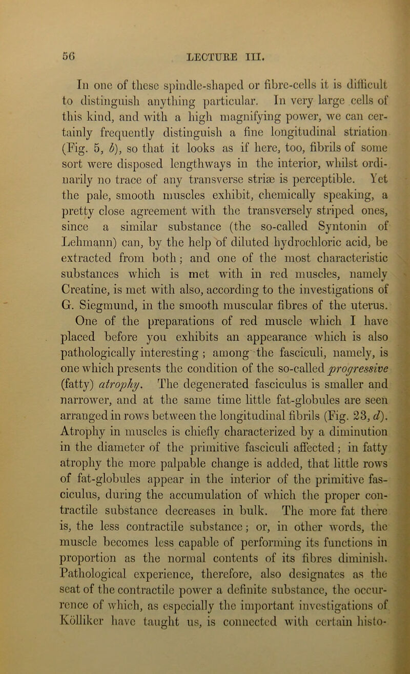 Ill one of these s})indle-sliapecl or fibre-cells it is difficult to distiliguisli anything particular. In very large cells of this kind, and with a high magnifying power, we can cer- tainly frequently distinguish a fine longitudinal striation (Fig. 5, d), so that it looks as if here, too, fibrils of some sort were disposed lengthways in the interior, whilst ordi- narily no trace of any transverse striae is perceptible. Yet the pale, smooth muscles exhibit, chemically speaking, a pretty close agreement with the transversely striped ones, since a similar substance (the so-called Syntonin of Lehmann) can, by the help of diluted hydrochloric acid, be extracted from both; and one of the most characteristic substances which is met with in red muscles, namely Creatine, is met with also, according to the investigations of G. Siegmund, in the smooth muscular fibres of the uterus. One of the preparations of red muscle which I have placed before you exhibits an appearance which is also pathologically interesting ; among''the fasciculi, namely, is one which presents the condition of the so-csil\ed progressive (fatty) atrophy. The degenerated fasciculus is smaller and narrower, and at the same time little fat-globules are seen arranged in rows between the longitudinal fibrils (Fig. 23, ^/). Atrophy in muscles is chiefly characterized by a diminution in the diameter of the primitive fasciculi affected; in fatty atrophy the more palpable change is added, that little rows of fat-globules appear in the interior of the primitive fas- ciculus, during the accumulation of which the proper con- tractile substance decreases in bulk. The more fat there is, the less contractile substance \ or, in other words, the muscle becomes less capable of performing its functions in proportion as the normal contents of its fibres diminish. Pathological experience, therefore, also designates as the seat of the contractile power a definite substance, the occur- rence of which, as especially the ini])ortant investigations of Kolliker have taught us, is connected with certain histo-
