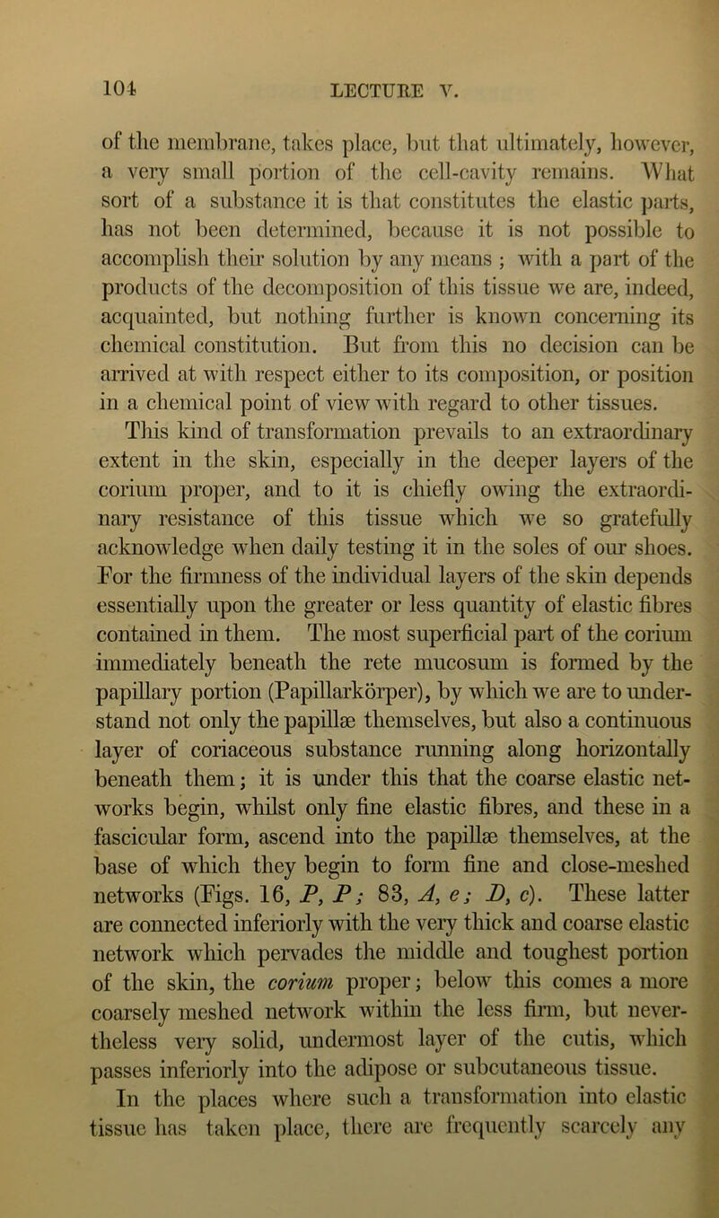of the membrane, takes place, l)iit that ultimately, however, a very small portion of the cell-cavity remains. AVhat sort of a substance it is that constitutes the elastic ])ai'ts, has not been determined, because it is not possible to accomplish their solution by any means ; with a part of the products of the decomposition of this tissue we are, indeed, acquainted, but nothing further is known concerning its chemical constitution. But from this no decision can be arrived at with respect either to its composition, or position in a chemical point of view with regard to other tissues. This kind of transformation prevails to an extraordinary extent in the skin, especially in the deeper layers of the corium proper, and to it is chiefly owing the extraorch- nary resistance of this tissue w^hich w^e so gratefully acknowledge when daily testing it in the soles of our shoes. For the firmness of the individual layers of the skin depends essentially upon the greater or less quantity of elastic fibres contained in them. The most superficial part of the corium immediately beneath the rete mucosum is formed by the papillary portion (Papillarkorper), by which we are to under- stand not only the papillae themselves, but also a continuous layer of coriaceous substance running along horizontally beneath them; it is under this that the coarse elastic net- works begin, whilst only fine elastic fibres, and these in a fascicular form, ascend into the papillae themselves, at the base of which they begin to form fine and close-meshed networks (Figs. 16, P, P; 83, A, e; P, c). These latter are connected inferiorly with the very thick and coarse elastic network which pervades the middle and toughest portion of the skin, the corium proper; below^ this comes a more coarsely meshed network within the less firm, but never- theless veiy solid, undermost layer of the cutis, wdiich passes inferiorly into the adipose or subcutaneous tissue. In the places where such a transformation into elastic tissue has taken place, there are frequently scarcely any