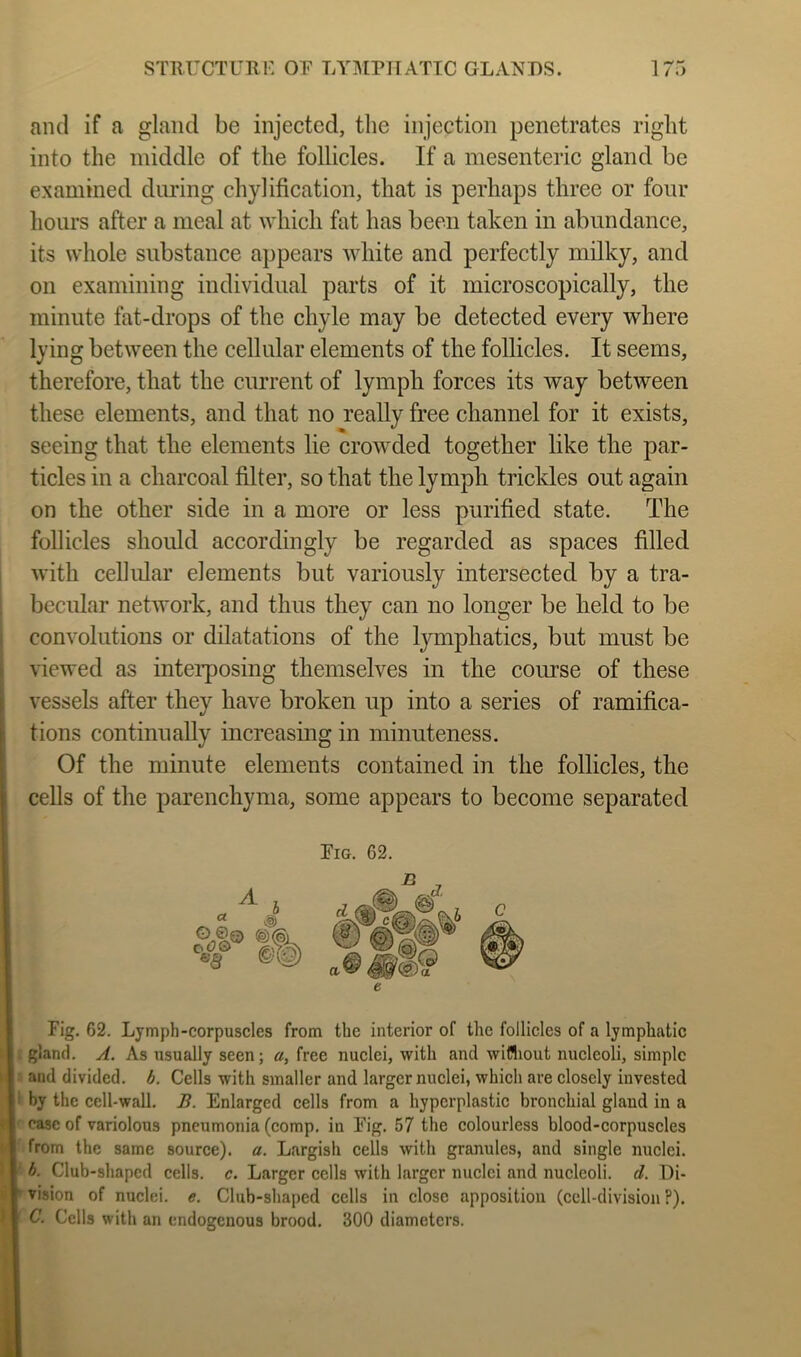 and if a gland be injected, the injection penetrates right into the middle of the follicles. If a mesenteric gland be examined during chylification, that is perhaps three or four hours after a meal at which fat has been taken in abundance, its whole substance appears white and perfectly milky, and on examining individual parts of it microscopically, the minute fat-drops of the chyle may be detected every where lying between the cellular elements of the follicles. It seems, therefore, that the current of lymph forces its way between these elements, and that no really free channel for it exists, seeing that tlie elements lie crowded together like the par- ticles in a charcoal filter, so that the lymph trickles out again on the other side in a more or less purified state. The follicles should accordingly be regarded as spaces filled with cellular elements but variously intersected by a tra- becular network, and thus they can no longer be held to be convolutions or dilatations of the lymphatics, but must be viewed as interposing themselves in the course of these vessels after they have broken up into a series of ramifica- tions continually increasing in minuteness. Of the minute elements contained in the follicles, the cells of the parenchyma, some appears to become separated Fig. 62. Fig. 62. Lymph-corpuscles from the interior of the follicles of a lymphatic £ gland. A. As usually seen; a, free nuclei, with and wifliout nucleoli, simple j and divided, h. Cells with smaller and larger nuclei, which are closely invested 1 by the eell-wall. B. Enlarged cells from a hyperplastic bronchial gland in a ^ case of variolous pneumonia (comp, in Fig. 57 the colourless blood-corpuscles ■ from the same source), a. Largish cells with granules, and single nuclei. h. Club-shaped cells, c. Larger cells with larger nuclei and nucleoli, d, t)i- ' vision of nuclei, e. Club-shaped cells in close apposition (cell-division ?). C. Cells with an endogenous brood. 300 diameters.