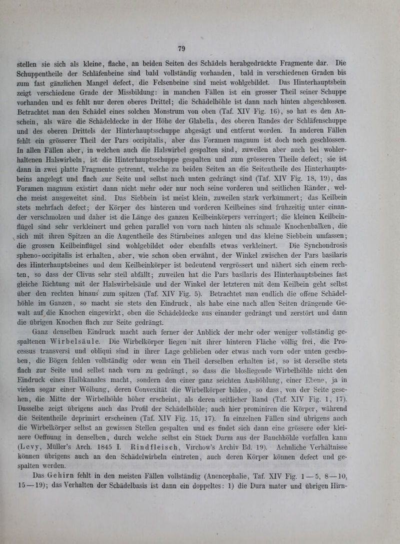 stellen sie sich als kleine, flache, an beiden Seiten des Schädels herabgedrückte Fragmente dar. Die Schuppentheile der Schläfenbeine sind bald vollständig vorhanden, bald in verschiedenen Graden bis zum fast gänzlichen Mangel defect, die Felsenbeine sind meist wohlgebildet. Das Hinterhauptsbein zeigt verschiedene Grade der Missbildung: in manchen Fällen ist ein grosser Theil seiner Schuppe vorhanden und es fehlt nur deren oberes Drittel; die Schädelhöhle ist dann nach hinten abgeschlossen. Betrachtet man den Schädel eines solchen Monstrum von oben (Taf. XIV Fig. 16), so hat es den An- schein, als wäre die Schädeldecke in der Höhe der Glabella, des oberen Randes der Schläfenschuppe und des oberen Drittels der Hinterhauptsschuppe abgesägt und entfernt worden. In anderen Fällen fehlt ein grösserer Theil der Pars occipitalis, aber das Foramen magnum ist doch noch geschlossen. In allen Fällen aber, in welchen auch die Halswirbel gespalten sind, zuweilen aber auch bei wohler- haltenen Halswirbeln, ist die Hinterhauptsschuppe gespalten und zum grösseren Theile defect; sie ist dann in zwei platte Fragmente getrennt, welche zu beiden Seiten an die Seitentheile des Hinterhaupts- beins angelegt und flach zur Seite und selbst nach unten gedrängt sind (Taf. XIV Fig. 18, 19), das Foramen magnum existirt dann nicht mehr oder nur noch seine vorderen und seitlichen Ränder, wel- che meist ausgeweitet sind. Das Siebbein ist meist klein, zuweilen stark verkümmert; das Keilbein stets mehrfach defect; der Körper des hinteren und vorderen Keilbeines sind frühzeitig unter einan- der verschmolzen und daher ist die Länge des ganzen Keilbeinkörpers verringert; die kleinen Keilbein- flügel sind sehr verkleinert und gehen parallel von vorn nach hinten als schmale Knochenbalken, die sich mit ihren Spitzen an die Augentheile des Stirnbeines anlegen und das kleine Siebbein umfassen; die grossen Keilbeinflügel sind wohlgebildet oder ebenfalls etwas verkleinert. Die Synchondrosis spheno-occipitalis ist erhalten, aber, wie schon oben erwähnt, der Winkel zwischen der Pars basilaris des Hinterhauptsbeines und dem Keilbeinkörper ist bedeutend vergrössert und nähert sich einem rech- ten, so dass der Clivus sehr steil abfällt; zuweilen hat die Pars basilaris des Hinterhauptsbeines fast gleiche Richtung mit der Halswirbelsäule und der Winkel der letzteren mit dem Keilbein geht selbst über den rechten hinaus' zum spitzen (Taf. XIV Fig. 5). Betrachtet man endlich die offene Schädel- höhle im Ganzen, so macht sie stets den Eindruck, als habe eine nach allen Seiten drängende Ge- walt auf die Knochen eingewirkt, oben die Schädeldecke aus einander gedrängt und zerstört und dann die übrigen Knochen flach zur Seite gedrängt. Ganz denselben Eindruck macht auch ferner der Anblick der mehr oder weniger vollständig ge- spaltenen Wirbelsäule. Die Wirbelkörper liegen mit ihrer hinteren Fläche völlig frei, die Pro- cessus transversi uud obliqui sind in ihrer Lage geblieben oder etwas nach vorn oder unten gescho- ben, die Bögen fehlen vollständig oder wenn ein Theil derselben erhalten ist, so ist derselbe stets flach zur Seite und selbst nach vorn zu gedrängt, so dass die bloslicgende Wirbelhöhle nicht den Eindruck eines Halbkanales macht, sondern den einer ganz seichten Aushöhlung, einer Ebene, ja in vielen sogar einer Wölbung, deren Convexität die Wirbelkörper bilden, so dass, von der Seite gese- hen, die Mitte der Wirbelhöhle höher erscheint, als deren seitlicher Rand (Taf. XIV Fig. 1, 17). Dasselbe zeigt übrigens auch das Profil der Schädelhöhle; auch hier prominiren die Körper, während die Seitentheile deprimirt erscheinen (Taf. XIV Fig. 15, 17). In einzelnen Fällen sind übrigens auch die Wirbelkörper selbst an gewissen Stellen gespalten und es findet sich dann eine grössere oder klei- nere Oeffnung in denselben, durch wrelche selbst ein Stück Darm aus der Bauchhöhle vorfallen kann (Levy, Müller’s Arch. 1845 I. Rindfleisch, Virchow’s Archiv Bd. 19). Aehnliche Verhältnisse können übrigens auch an den Schädel wirbeln eintreten, auch deren Körper können defect und ge- spalten werden. Das Gehirn fehlt in den meisten Fällen vollständig (Anencephalie, Taf. XIV Fig. 1 — 5, 8—10, 15 —19); das Verhalten der Schädelbasis ist dann ein doppeltes: 1) die Dura mater und übrigen Hirn-