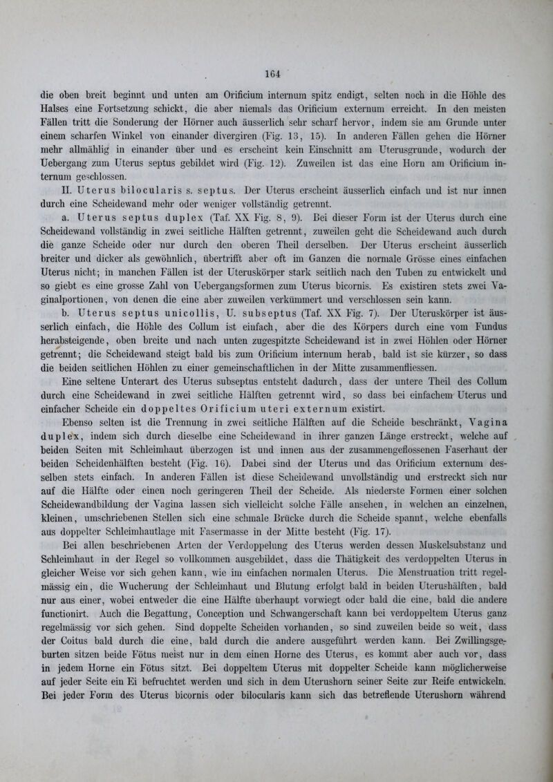 die oben breit beginnt und unten am Orificium internum spitz endigt, selten noch in die Höhle des Halses eine Fortsetzung schickt, die aber niemals das Orificium externum erreicht. In den meisten Fällen tritt die Sonderung der Hörner auch äusserlich sehr scharf hervor, indem sie am Grunde unter einem scharfen Winkel von einander divergiren (Fig. 13, 15). In anderen Fällen gehen die Hörner mehr allmählig in einander über und es erscheint kein Einschnitt am Uterusgruude, wodurch der Uebergang zum Uterus septus gebildet wird (Fig. 12). Zuweilen ist das eine Horn am Orificium in- ternum geschlossen. H. Uterus bilocularis s. septus. Der Uterus erscheint äusserlich einfach und ist nur innen durch eine Scheidewand mehr oder weniger vollständig getrennt. a. Uterus septus duplex (Taf. XX Fig. 8, 9). Bei dieser Form ist der Uterus durch eine Scheidewand vollständig in zwei seitliche Hälften getrennt, zuweilen geht die Scheidewand auch durch die ganze Scheide oder nur durch den oberen Theil derselben. Der Uterus erscheint äusserlich breiter und dicker als gewöhnlich, übertrifft aber oft im Ganzen die normale Grösse eines einfachen Uterus nicht; in manchen Fällen ist der Uteruskörper stark seitlich nach den Tuben zu entwickelt und so giebt es eine grosse Zahl von Uebergangsformen zum Uterus bicornis. Es existiren stets zwei Va- ginalportionen, von denen die eine aber zuweilen verkümmert und verschlossen sein kann. b. Uterus septus unicollis, U. subseptus (Taf. XX Fig. 7). Der Uteruskörper ist äus- serlich einfach, die Höhle des Collum ist einfach, aber die des Körpers durch eine vom Fundus herabsteigende, oben breite und nach unten zugespitzte Scheidewand ist in zwei Höhlen oder Hörner getrennt; die Scheidewand steigt bald bis zum Orificium internum herab, bald ist sie kürzer, so dass die beiden seitlichen Höhlen zu einer gemeinschaftlichen in der Mitte zusannneiitiiessen. Eine seltene Unterart des Uterus subseptus entsteht dadurch, dass der untere Theil des Collum durch eine Scheidewand in zwei seitliche Hälften getrennt wird, so dass bei einfachem Uterus und einfacher Scheide ein doppeltes Orificium uteri externum existirt. Ebenso selten ist die Trennung in zwei seitliche Hälften auf die Scheide beschränkt, Vagina duplex, indem sich durch dieselbe eine Scheidewand in ihrer ganzen Länge erstreckt, welche auf beiden Seiten mit Schleimhaut überzogen ist und innen aus der zusammengeflossenen Faserhaut der beiden Scheidenhälften besteht (Fig. 16). Dabei sind der Uterus und das Orificium externum des- selben stets einfach. In anderen Fällen ist diese Scheidewand unvollständig und erstreckt sich nur auf die Hälfte oder einen noch geringeren Theil der Scheide. Als niederste Formen einer solchen Scheidewandbildung der Vagina lassen sich vielleicht solche Fälle ansehen, in welchen an einzelnen, kleinen, umschriebenen Stellen sich eine schmale Brücke durch die Scheide spannt, welche ebenfalls aus doppelter Schleimhautlage mit Fasermasse in der Mitte besteht (Fig. 17). Bei allen beschriebenen Arten der Verdoppelung des Uterus werden dessen Muskelsubstanz und Schleimhaut in der Regel so vollkommen ausgebildet, dass die Thätigkeit des verdoppelten Uterus in gleicher Weise vor sich gehen kann, wie im einfachen normalen Uterus. Die Menstruation tritt regel- mässig ein, die Wucherung der Schleimhaut und Blutung erfolgt bald in beiden Uterushälften, bald nur aus einer, wobei entweder die eine Hälfte überhaupt vorwiegt oder bald die eine, bald die andere functionirt. Auch die Begattung, Conception und Schwangerschaft kann bei verdoppeltem Uterus ganz regelmässig vor sich gehen. Sind doppelte Scheiden vorhanden, so sind zuweilen beide so weit, dass der Coitus bald durch die eine, bald durch die andere ausgeführt werden kann. Bei Zwillingsge.- burten sitzen beide Fötus meist nur in dem einen Horne des Uterus, es kommt aber auch vor, dass in jedem Horne ein Fötus sitzt. Bei doppeltem Uterus mit doppelter Scheide kann möglicherweise auf jeder Seite ein Ei befruchtet werden und sich in dem Uterushorn seiner Seite zur Reife entwickeln. Bei jeder Form des Uterus bicornis oder bilocularis kann sich das betreflende Uterushorn während