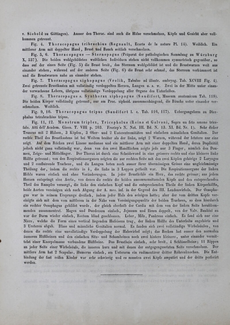kommen getrennt. Fig. 4. Thoracopagus tribrachius (Regnault, Ecarts de la nature PI. 14). Weiblich. Ein mittlerer Arm mit doppelter Hand , Brust und Bauch seitlich verschmolzen. Fig. 5, 6. Thoracopagus — Sternopagus (Präparat der pathologischen Sammlung zu Würz bürg X, 537). Die beiden wohlgcbildeten weiblichen Individuen stehen nicht vollkommen symmetrisch gegenüber, so dass auf der einen Seite (Fig. 5) die Brust breit, das Sternum wohlgebildet ist und die Brustwarzen weit aus einander stehen, während anf der anderen Seite (Fig. G) die Brust sehr schmal, das Sternum verkümmert ist und die Brustwarzen nahe an einander stehen. Fig. 7. Thoracopagus xiphopagus (Vrolik, Tabulac ad illustr. embryog. Tab. XCVIII Fig. 4). Zwei getrennte Brustkasten mit vollständig verdoppelten Herzen, Lungen u. s. w. Zwei in der Mitte unter einan- der verwachsene Lebern, übrigens vollständige Verdoppelung aller Organe des Unterleibes. Fig. 8. Thoracopagus s. Synthorax xiphopagus (San di fort, Museum anatomicum Tab. 118). Die beiden Körper vollständig getrennt, nur am Proc. xiphoid. zusammenhängend, die Bäuche unter einander ver- schmolzen. Weiblich. Fig. 9, 10. Thoracopagus tripus (Sandifort 1. c. Tab. 116, 117). Uebergangsform zu Dicc- phalus tetrabrachius tripus. Fig. 11, 12. Monstrum triplex, Triccphalus (Reina et Galvani, Sopra uu feto umano tricc- falo. Atti dell’ Academ. Gioen. T. VIII p. 203. Froriep’s Pf. Not. III. Bd. N. 13. XI. Bd. Nr. 1). Sehr dicker Truncus mit 2 Hälsen, 3 Köpfen, 3 Ober- und 2 Unterextremitäten und einfachen männlichen Genitalien. Der rechte Theil des Brustkastens ist bei Weitem breiter als der linke, zeigt 2 Warzen, während der letztere nur eine zeigt. Auf dem Rücken zwei Lineac medianae und ein mittlerer Arm mit einer doppelten Hand, deren Duplicität jedoch nicht ganz vollständig war, denn von den zwei Handflächen zeigte jede nur 3 Finger, nämlich den Dau- men, Zeige- und Mittelfinger. Der Thorax ist durch eine Scheidewand in eine grössere rechte und eine kleinere linke Hälfte getrennt; von den Respirationsorganen zeigten die zur rechten Seite mit den zwei Köpfen gehörige 2 Larynges und 2 confluirende Tracheae, und die Lungen boten noch ausser ihrer übermässigen Grösse eine ungleichmässige Theilung dar, indem die rechte in 4, die linke in 3 Lappen gctheilt war. Die Respirationsorgane der linken Höhle waren einfach und ohne Veränderungen. In jeder Brusthöhle ein Herz, das rechte grösser; aus jedem Herzen entspringt eine Aorta, von denen die rechte die beiden zusammensitzenden Köpfe und den entsprechenden Theil des Rumpfes versorgt, die linke den einfachen Kopf und die entsprechenden Theile der linken Körperhälfte, beide Aorten vereinigen sich nach Abgang der A. mes. inf. in der Gegend des III. Lendenwirbels. Der Oesopha- gus war in seinem Ursprünge dreifach, indem jeder Hals den scinigen batte; aber der vom dritten Kopfe ver- einigte sich mit dem vom mittleren in der Nähe vom Vercinigungspunkte der beiden Tracheen, so dass hierdurch ein rechter Oesophagus gebildet wurde, der gleich oberhalb der Cardia mit dem von der linken Seile herabkom- menden zusammentrat. Magen und Duodenum einfach, Jejunum und lleum doppelt, von der Valv. Bauhini an war der Darm wieder einfach, Rectum blind geschlossen. Leber, Milz, Pankreas einfach. Es fand sich nur eine Niere, welche die Form eines verlical liegenden Hufeisens trug, der linken Hälfte des Unterleibs angehörte und 3 Ureteren abgab. Blase und männliche Genitalien normal. Es fanden sich zwei vollständige Wirbelsäulen, von denen die rechte eine unvollständige Verdoppelung der Halswirbel zeigt; das Becken hat ausser den normalen äusseren Hüftbeinen und den einfachen Sitz- und Schambeinen noch zwei hintere kleinere, unter einander vermit- telst einer Knorpelmasse verbundene Hüftbeine. Das Brustbein einfach, sehr breit, 4 Schlüsselbeine; 11 Rippen an jeder Seite einer Wirbelsäule, die inneren kurz und mit denen der entgegengesetzten Seite verschmolzen. Der mittlere Arm hat 2 Scapulae, Humerus einfach, am Unterarm ein rudimentärer dritter Röhrenknochen. Die Ent- bindung der fast reifen Kinder war sehr schwierig und es mussten zwei Köpfe amputirt und der dritte perforirt werden.