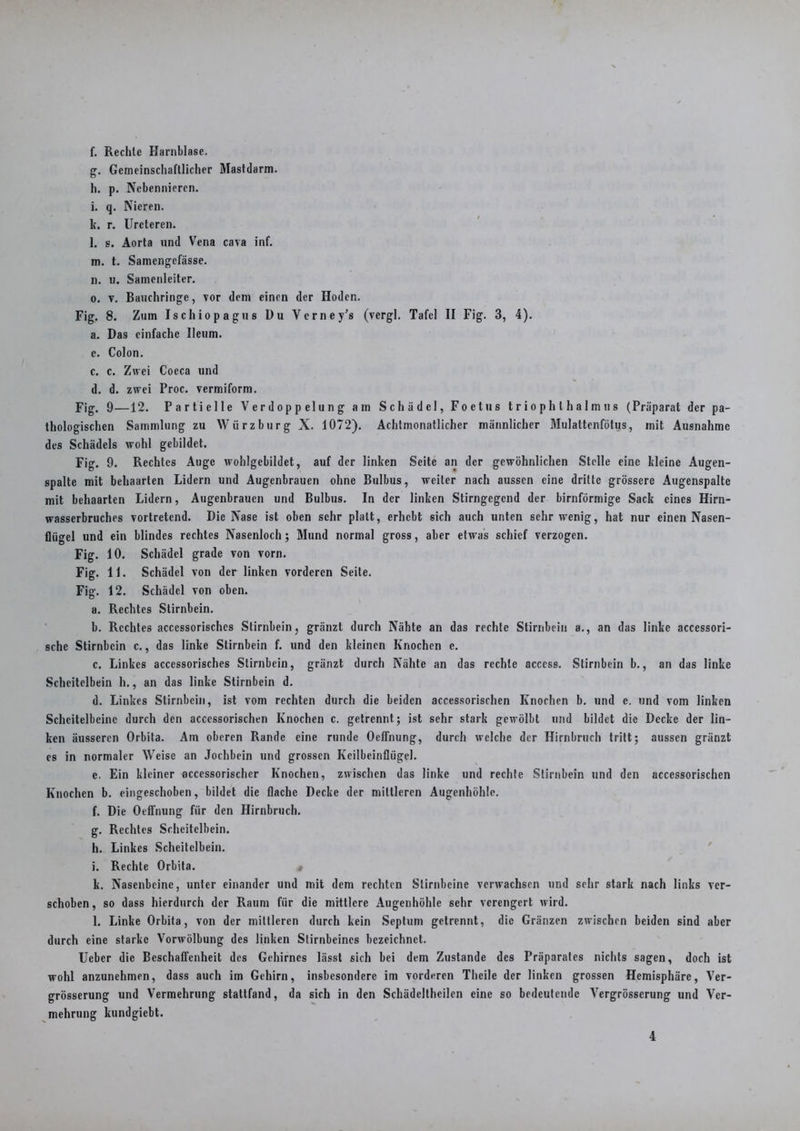 g. Gemeinschaftlicher Mastdarm. h. p. Nebennieren. i. q. Nieren. k. r. Urcteren. l. s. Aorta und Vena cava inf. m. t. Samcngefässe. n. u. Samenleiter. o. v. Bauchringe, vor dem einen der Hoden. Fig. 8. Zum Ischiopagus Du Verney’s (vergl. Tafel II Fig. 3, 4). a. Das einfache Ileum. e. Colon. c. c. Zwei Coeca und d. d. zwei Proc. vermiform. Fig. 9—12. Partielle Verdoppelung am Schädel, Foetus triophlhalmus (Präparat der pa- thologischen Sammlung zu Würz bürg X. 1072). Achtmonatlicher männlicher Mulaltenfötus, mit Ausnahme des Schädels wohl gebildet. Fig. 9. Rechtes Auge wohlgebildet, auf der linken Seite an der gewöhnlichen Stelle eine kleine Augen- spalte mit behaarten Lidern und Augenbrauen ohne Bulbus, weiter nach aussen eine dritte grössere Augenspalte mit behaarten Lidern, Augenbrauen und Bulbus. In der linken Stirngegend der bimförmige Sack eines Hirn- wasserbruches vortretend. Die Nase ist oben sehr platt, erhebt sich auch unten sehr wenig, hat nur einen Nasen- flügel und ein blindes rechtes Nasenloch; Mund normal gross, aber etwas schief verzogen. Fig. 10. Schädel grade von vorn. Fig. 11. Schädel von der linken vorderen Seite. Fig. 12. Schädel von oben. a. Rechtes Stirnbein. b. Rechtes accessorischcs Stirnbein, gränzt durch Nähte an das rechte Stirnbein a., an das linke accessori- sche Stirnbein c., das linke Stirnbein f. und den kleinen Knochen e. c. Linkes accessorisches Stirnbein, gränzt durch Nähte an das rechte acccss. Stirnbein b., an das linke Scheitelbein h., an das linke Stirnbein d. d. Linkes Stirnbein, ist vom rechten durch die beiden accessorisehen Knochen b. und e. und vom linken Scheitelbeine durch den accessorisehen Knochen c. getrennt; ist sehr stark gewölbt und bildet die Decke der lin- ken äusseren Orbita. Am oberen Rande eine runde Ocffnung, durch welche der Hirnbruch tritt; aussen gränzt es in normaler Weise an Jochbein und grossen Keilbeinflügel. c. Ein kleiner accessorischer Knochen, zwischen das linke und rechte Stirnbein und den accessorisehen Knochen b. eingeschoben, bildet die flache Decke der mittleren Augenhöhle. f. Die Ocffnung für den Hirnbruch. g. Rechtes Scheitelbein. h. Linkes Scheitelbein. i. Rechte Orbita. k. Nasenbeine, unter einander und mit dem rechten Stirnbeine verwachsen und sehr stark nach links ver- schoben , so dass hierdurch der Raum für die mittlere Augenhöhle sehr verengert wird. l. Linke Orbita, von der mittleren durch kein Septum getrennt, die Gränzen zwischen beiden sind aber durch eine starke Vorwölbung des linken Stirnbeines bezeichnet. Ueber die Beschaffenheit des Gehirnes lässt sich bei dem Zustande des Präparates nichts sagen, doch ist wohl anzunehmen, dass auch im Gehirn, insbesondere im vorderen Theile der linken grossen Hemisphäre, Ver- grösserung und Vermehrung stattfand, da sich in den Schädeltheilen eine so bedeutende Vergrösserung und Ver- mehrung kundgiebt.