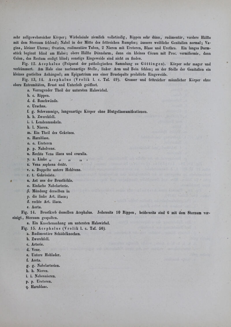 sehr zellgewcbsreicher Körper; Wirbelsäule ziemlich vollständig, Rippen sehr dünn, rudimentär, vordere Hälfte mit dem Sternum fehlend; Nabel in der Mitte des fettreichen Rumpfes; äussere weibliche Genitalien normal; Va- gina, kleiner Uterus; Ovarien, rudimentäre Tuben, 2 Nieren mit Ureteren, Blase und Urethra. Ein langes Darm- stück beginnt blind am Halse; obere Hälfte Dünndarm, dann ein kleines Cöcum mit Proc. vermiformis, dann Colon, das Rectum endigt blind; sonstige Eingeweide sind nicht zu finden. Fig. 12. Acephalus (Präparat der pathologischen Sammlung zu Göttingen). Körper sehr mager und verkümmert. Am Hals eine narbenartige Stelle, linker Arm und Bein fehlen; an der Stelle der Genitalien ein kleines gestieltes Anhängsel; am Epigastrium aus einer Brustspaltc prolabirte Eingeweide. Fig. 13, 14. Acephalus (Vrolik 1. c. Taf. 49). Grosser und fettreicher männlicher Körper ohne obere Extremitäten, Brust und Unterleib geöffnet. a. Vorragender Theil der untersten Halswirbel. b. c. Rippen. d. d. Bauchwände. e. Urachus. f. g. Schwammige, lungenartige Körper ohne Blutgefässramificationen. h. h. Zwerchfell. i. i. Lendenmuskeln, k. 1. Nieren. in. Ein Theil des Gekröses. n. Harnblase. o. o. Ureteren p. p. Nabclvene. u. Rechte Vena iliaca und cruralis. y. z. Linke „ „ „ „ . x. Vena saphena dextr. v. s. Doppelte untere Hohlvene. r. t. Gekrösäste. u. Ast aus der Brusthöhle, a. Einfache Nabelarterie. ß. Mündung derselben in y. die linke Art. iliaca; ö. rechte Art. iliaca. s. Aorta. Fig. 14. Brustkorb desselben Acephalus. Jederseits 10 Rippen, beiderseits sind 6 mit dem Sternum ver- einigt, Sternum gespalten. a. Ein Knochenanhang am untersten Halswirbel. Fig. 15. Acephalus (Vrolik 1. c. Taf. 50). a. Rudimentäre Schädelknochen. b. Zwerchfell. c. Arterie. d. Vene. e. Untere Hohlader. f. Aorta. g. g. Nabelartericn. h. h. Nieren. i. i. Nebennieren. p. p. Ureteren. q. Harnblase.