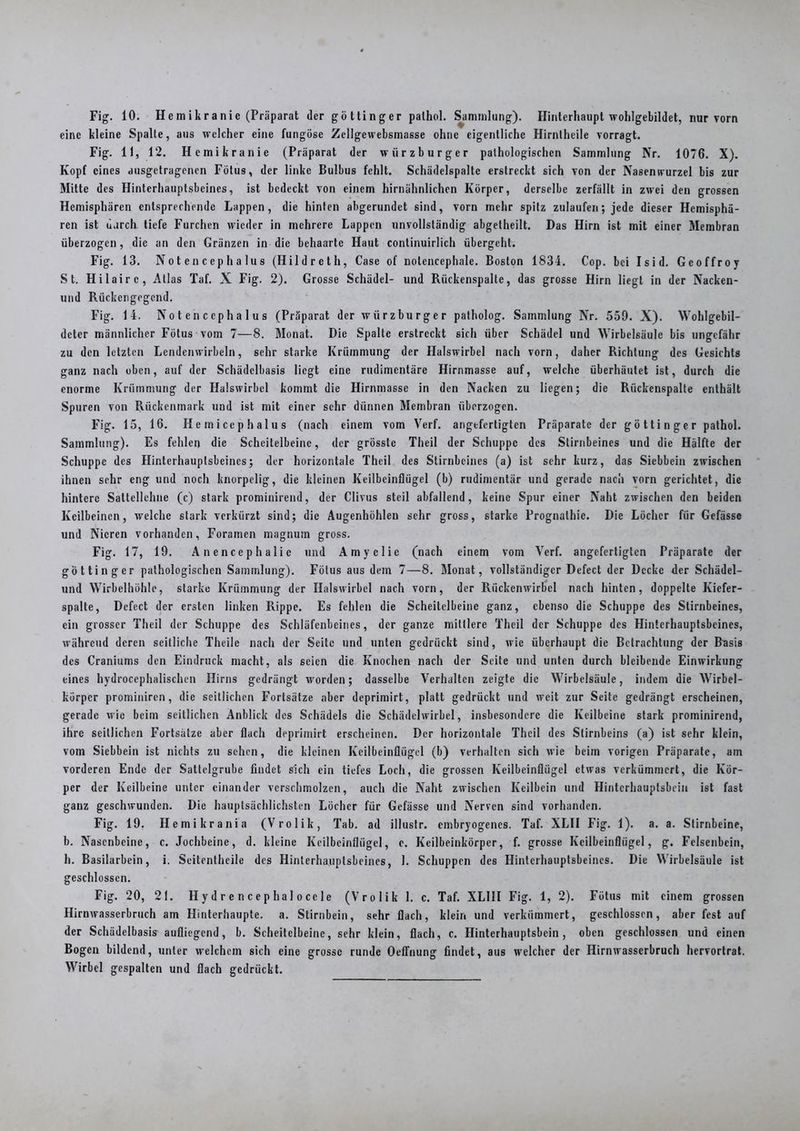 Fig. 10. Hemikranic (Präparat der göttinger palhol. Sammlung). Hinterhaupt wohlgebildet, nur vom eine kleine Spalte, aus welcher eine fungöse Zcllgewebsmasse ohne eigentliche Hirntheile vorragt. Fig. II, 12. Hcmikranie (Präparat der Würzburger pathologischen Sammlung Nr. 1076. X). Kopf eines ausgetragenen Fötus, der linke Bulbus fehlt. Schädelspalte erstreckt sich von der Nasenwurzel bis zur Mitte des Hinterhauptsbeines, ist bedeckt von einem hirnähnlichen Körper, derselbe zerfällt in zwei den grossen Hemisphären entsprechende Lappen, die hinten abgerundet sind, vorn mehr spitz zulaufen; jede dieser Hemisphä- ren ist durch tiefe Furchen wieder in mehrere Lappen unvollständig abgetheilt. Das Hirn ist mit einer Membran überzogen, die an den Gränzen in die behaarte Haut continuirlich übergeht. Fig. 13. Notencephalus (Hildreth, Case of nolcncephale. Boston 1834. Cop. bei Isid. Geoffroy St. Hilairc, Atlas Taf. X Fig. 2). Grosse Schädel- und Rückenspalte, das grosse Hirn liegt in der Nacken- und Rückengegend. Fig. 14. Notencephalus (Präparat der Würzburger patholog. Sammlung Nr. 559. X). Wohlgebil- delcr männlicher Fötus vom 7—8. Monat. Die Spalte erstreckt sich über Schädel und Wirbelsäule bis ungefähr zu den letzten Lendenwirbeln, sehr starke Krümmung der Halswirbel nach vorn, daher Richtung des Gesichts ganz nach oben, auf der Schädelbasis liegt eine rudimentäre Hirnmasse auf, welche überhäutet ist, durch die enorme Krümmung der Halswirbel kommt die Hirnmasse in den Nacken zu liegen; die Rückenspalte enthält Spuren von Rückenmark und ist mit einer sehr dünnen Membran überzogen. Fig. 15, 16. Hemiccphalus (nach einem vom Verf. angefertigten Präparate der göttinger pathol. Sammlung). Es fehlen die Scheitelbeine, der grösste Theil der Schuppe des Stirnbeines und die Hälfte der Schuppe des Hinterhauptsbeines; der horizontale Theil des Stirnbeines (a) ist sehr kurz, das Siebbein zwischen ihnen sehr eng und noch knorpelig, die kleinen Keilbeinflügel (b) rudimentär und gerade nach vorn gerichtet, die hintere Sattellehne (c) stark prominirend, der Clivus steil abfallend, keine Spur einer Naht zwischen den beiden Keilbeinen, welche stark verkürzt sind; die Augenhöhlen sehr gross, starke Prognathie. Die Löcher für Gefässe und Nieren vorhanden, Foramen magnum gross. Fig. 17, 19. Anencephalie und Amyclic (nach einem vom Verf. angefertigten Präparate der göttinger pathologischen Sammlung). Fötus aus dem 7—8. Monat, vollständiger Defect der Decke der Schädel- und Wirbelhöhle, starke Krümmung der Halswirbel nach vorn, der Rückenwirbel nach hinten, doppelte Kiefer- spalte, Defect der ersten linken Rippe. Es fehlen die Scheitelbeine ganz, ebenso die Schuppe des Stirnbeines, ein grosser Theil der Schuppe des Schläfenbeines, der ganze mittlere Theil der Schuppe des Hinterhauptsbeines, während deren seitliche Theile nach der Seite und unten gedrückt sind, wie überhaupt die Betrachtung der Basis des Craniums den Eindruck macht, als seien die Knochen nach der Seite und unten durch bleibende Einwirkung eines hydrocephalischen Hirns gedrängt worden; dasselbe Verhalten zeigte die Wirbelsäule, indem die Wirbel- körper prominiren, die seitlichen Fortsätze aber deprimirt, platt gedrückt und weit zur Seite gedrängt erscheinen, gerade wie beim seitlichen Anblick des Schädels die Schädelwirbel, insbesondere die Keilbeine stark prominirend, ihre seitlichen Fortsätze aber flach deprimirt erscheinen. Der horizontale Theil des Stirnbeins (a) ist sehr klein, vom Siebbein ist nichts zu sehen, die kleinen Keilbeinflügel (b) verhalten sich wie beim vorigen Präparate, am vorderen Ende der Sattelgrube findet sich ein tiefes Loch, die grossen Keilbeinflügel etwas verkümmert, die Kör- per der Keilbeine unter einander verschmolzen, auch die Naht zwischen Keilbein und Hinterhauptsbein ist fast ganz geschwunden. Die hauptsächlichsten Löcher für Gefässe und Nerven sind vorhanden. Fig. 19. Hemilcrania (Vrolik, Tab. ad illustr. embryogenes. Taf. XLII Fig. 1). a. a. Stirnbeine, b. Nasenbeine, c. Jochbeine, d. kleine Kcilbcinfliigel, c. Keilbeinkörper, f. grosse Kcilbeinfliigel, g. Felsenbein, h. Basilarbein, i. Seitenthcile des Hinterhauptsbeines, 1. Schuppen des Hinterhauptsbeines. Die Wirbelsäule ist geschlossen. Fig. 20, 2!. Hydrencephaloccle (Vrolik 1. c. Taf. XLIII Fig. 1, 2). Fötus mit einem grossen Hirnwasserbruch am Hinterhaupte, a. Stirnbein, sehr flach, klein und verkümmert, geschlossen, aber fest auf der Schädelbasis aufliegend, b. Scheitelbeine, sehr klein, flach, c. Hinterhauptsbein, oben geschlossen und einen Bogen bildend, unter welchem sich eine grosse runde Oeffnung findet, aus welcher der Hirnwasserbruch hervortrat. Wirbel gespalten und flach gedrückt.