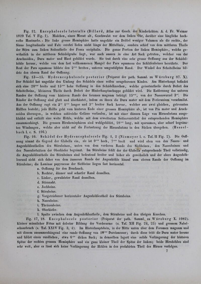 1829 Taf. V Fig. 1). Mädchen, einen Monat alt, Geschwulst vor dem linken Ohr, darüber eine längliche hoch- rothe Hantnarbe.. Die linke grosse Hemisphäre halte ungefähr ein Driltel weniger Volumen als die rechte, der Sinus longitudinalis und Falx cerebri liefen nicht längs der Mittellinie, sondern schief von dem mittleren Thcile der Stirn zum linken Seitentheile der Fossa occipitalis. Die ganze Portion der linken Hemisphäre, welche ge- wöhnlich in der mittleren Schädelgrube liegt, war nach aussen in eine Art Sack getreten, welcher von der Arachnoidca, Dura matcr und Haut gebildet wurde. Sie trat durch eine sehr grosse Oetfnung aus der Schädel- höhle heraus, welche von dem fast vollkommenen Mangel der Pars squamosa des Schläfenbeines herrührte. Der Rest der Pars squamosa bildete den 2' breiten, unteren umgestülpten Rand. Der Winkel des Scheitelbeins bil- dete den oberen Rand der Oeffnung. Fig. 13 —15. Hy d re n c c p h a 1 o ce 1 e posterior (Präparat der path. Samml. zu Würzburg 87. X). Der Schädel hat ungefähr den Umfang des Schädels eines reifen neugeborenen Kindes. Am Hinterhaupt befindet sich eine 20' breite und 15' hohe Oetfnung in den Schädelknochen, welche grösstentheils durch Defect des Scheitelbeins, kleineren Thcils durch Defect der Hinterhauptsschuppe gebildet wird. Die Entfernung des unteren Randes der Oeffnung vom hinteren Rande des foramen magnum beträgt 15', von der Nasenwurzel 3. Die Ränder der Oetfnung sind glatt und überhäutet, indem an ihnen die Dura mater mit dem Pericranium verschmilzt. Aus der Oetfnung ragt ein 3 4' langer und 3 breiter Sack hervor, welcher aus zwei gleichen, getrennten Hälften besteht; jede Hälfte geht vom hinteren Ende einer grossen Hemisphäre ab, ist von Pia mater und Arach- noidea überzogen, in welchen zahlreiche Gefässe verlaufen, ist mit einer dünnen Lage von Hirnsubstanz ausge- klcidet und enthält eine weite Höhle, welche mit dem erweiterten Seitenventrikel der entsprechenden Hemisphäre zusammenhängt. Die grossen Hirnhemisphären sind wohlgebildet, 28‘ lang, mit sparsamen, aber scharf begränz- ten Windungen, welche aber nicht auf die Fortsetzung der Hirnsubstanz in den Säcken übergehen. (Hessel- bach 1. c. S. 196.) Fig. 16. Schädel der Hydrenc ephalocel e Fig. 1, 2 (Niemeyer 1. c. Taf. II Fig. 2). Die Oetf- nung nimmt die Gegend der Glabella ein, sie ist 9' hoch, 7' breit und wird oben von den Nasen- und Augcnhöhlentheilen des Stirnbeines, unten von dem vorderen Rande des Siebbeines, den Nasenbeinen und den Nasenfortsätzen der Oberkiefer begränzt. Im Stirnbeine fehlt der der Glabella entsprechende Theil vollständig, die Augenhölilentheile des Stirnbeines sind bedeutend breiter und höher als gewöhnlich und der obere Augenhöh- lenrand zieht sich daher von dem äusseren Rande der Augenhöhle hinauf zum oberen Rande der Oeffnung im Stirnbeine; die Laminae papyraccae der Siebbeinc liegen fast horizontal. a. Oetfnung für den Bruchsack. b. Rechter, dünner und scharfer Rand desselben. c. Linker, gewulsteter Rand desselben. d. Stirnnaht. e. Jochbeine. f. Stirnbeine. g. Vorgelriebcner horizontaler Augenhöhlentheil des Stirnbeins. h. Nasenbeine. i. Thränenbeine. k. Oberkiefer. l. Spalte zwischen dem Augenhöhlenthcile, dem Stirnbeine und den übrigen Knochen. Fig. 17, 18. E n c e p h a 1 o c e 1 e posterior (Präparat der path. Samml. zu Würzburg X. 1082). Kleiner männlicher Fötus mit defecter Bildung der Vorderarme (s. Taf. XII Fig. 24, 25) und grossem Nabel- schnurbruch (s. Taf. XXIV Fig. 3, 4). Im Hinterhauptsbein, in der Milte unten über dem Foramen magnum und mit diesem zusammenhängend eine runde Oeffnung von 10' Durchmesser; durch diese tritt die Dura mater heraus und bildet einen rundlichen, etwa 6' dicken Sack; in demselben lagert eine solide Verlängerung der hinteren Spitze der rechten grossen Hemisphäre und ein ganz kleiner Theil der Spitze der linken; beide Hirnhöhlen sind sehr weit, aber es lässt sich keine Verlängerung der Höhlen in den prolabirten Theil des Hirnes verfolgen. 7
