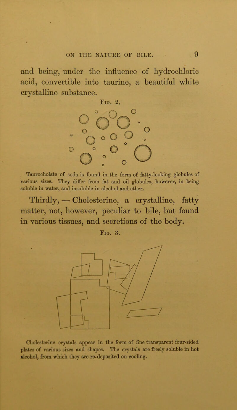 and being, under the influence of hydrochloric acid, convertible into taurine, a beautiful white crystalline substance. Fig. 2. Taurocholate of soda is found in the form of fatty-looking globules of various sizes. They differ from fat and oil globules, however, in being soluble in water, and insoluble in alcohol and ether. Thirdly, — Cholesterine, a crystalline, fatty matter, not, however, peculiar to bile, but found in various tissues, and secretions of the body. Tig. 3. Cholesterine crystals appear in the form of fine transparent four-sided plates of various sizes and shapes. The crystals are freely soluble in hot alcohol, from which they are re* deposited on cooling.