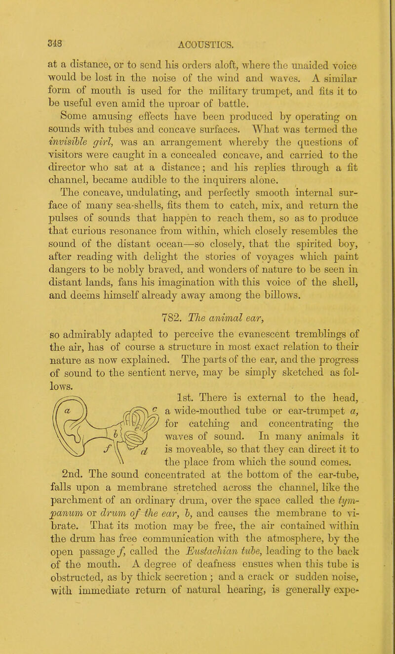at a distance, or to send liis orders aloft, where the unaided voice would be lost in the noise of the wind and waves. A similar form of mouth is used for the military trumpet, and fits it to be useful even amid the uproar of battle. Some amusing effects have been produced by operating on sounds with tubes and concave surfaces. What was termed the invisible girl, was an arrangement whereby the questions of visitors were caught in a concealed concave, and carried to the director who sat at a distance; and his replies through a fit channel, became audible to the inquirers alone. The concave, undulating, and perfectly smooth internal sur- face of many sea-shells, fits them to catch, mix, and return the pulses of sounds that happen to reach them, so as to produce that curious resonance from within, which closely resembles the sound of the distant ocean—so closely, that the spirited boy, after reading with delight the stories of voyages which paint dangers to be nobly braved, and wonders of nature to be seen in distant lands, fans his imagination with this voice of the shell, and deems himself already away among the billows. 782. The animal ear, so admirably adapted to perceive the evanescent tremblings of the air, has of course a structure in most exact relation to their nature as now explained. The parts of the ear, and the progress of sound to the sentient nerve, may be simply sketched as fol- lows. 1st. There is external to the head, a wide-mouthed tube or ear-trumpet a, for catching and concentrating the waves of sound. In many animals it is moveable, so that they can direct it to the place from which the sound comes. 2nd. The sound concentrated at the bottom of the ear-tube, falls upon a membrane stretched across the channel, like the parchment of an ordinary drum, over the space called the tym- panum or drum of the ear, b, and causes the membrane to vi- brate. That its motion may be free, the air contained within the drum has free communication with the atmosphere, by the open passage /, called the Eustachian tube, leading to the back of the mouth. A degree of deafness ensues when this tube is obstructed, as by thick secretion ; and a crack or sudden noise, with immediate return of natural hearing, is generally expe-