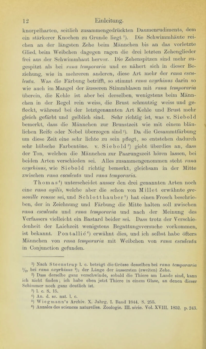 knorpelharten, seitlicli zusanimengedrückten Daumenrudiinents, dein ein stärkerer Knochen zu Grunde liegt '). Die Schvvdinmhäute rei- chen an der längsten Zehe beim Männchen bis an das vorletzte Glied, beim Weibchen dagegen ragen die drei letzten Zehenglieder frei aus der Schwimmhaut hervor. Die Zehenspitzen sind mehr zu- gespitzt als bei nuia temporaria und es nähert sich in dieser Be- ziehung, wie in mehreren anderen, diese Art mehr der rana escu- lenta. Was die Färbung betritil, so stimmt raua oji/rhinus darin so wie auch im Mangel der äusseren Stimmblasen mit ra>ia temporaria überein, die Kehle ist aber bei derselben, wenigstens beim Männ- chen in der Regel rein weiss, die Brust schmutzig weiss und ge- deckt, während bei der letztgenannten Art Kehle und Brust mehr gleich gefärbt und gelblich sind. Sehr richtig ist, was v. Siebold bemerkt, dass die ]\Iännchen zur Brunstzeit wie mit einem bläu- lichen Reife oder Nebel überzogen sind -). Da die Gesammtfärbung um diese Zeit eine sehr liclite zu sein jitlegt, so entstehen dadurch sehr hübsche Farbentöne. v. Siebold giebt überdies an, dass der Ton, welchen die ]\Iännchen zur Paarungszeit hören lassen, bei beiden Arten verschieden sei. Alles zusammengenommen steht rana oxyrhinus, wie Siebold richtig bemerkt, gleichsam in der Mitte zwischen rana escuJcnta und rana temporaria. T h o m a s ■* *) unterscheidet ausser den drei genannten Arten noch eine ra)ui ayilis, welche aber die schon von Millet erwähnte ^re- noiiiUe rousse sei, und Schlotthauber^) hat einen Frosch beschrie- l)en, der in Zeichnung und Färbung die Mitte halten soll zwischen rana csculenta und rana temporaria und nach der Meinung des Verfassers vielleicht ein Bastard beider sei. Dass trotz der Verschie- denheit der Laichzeit wenigstens Begattungsversuche Vorkommen, ist bekannt. Pontallid®) erwähnt dies, und ich selbst habe öfters Männchen von rana temporaria mit Weibchen von rana csculenta in Conjunction gefunden. b Nach Steenstrup 1. c. beträgt die Grösse desselben bei ran« temporaria V2> bei rana oxyrhinus ^/i der Länge der äussersten (zweiten) Zehe. 2) Dass derselbe ganz verschwinde, sobald die Thiere am Lande sind, kann ich nicht finden; ich habe eben jetzt Thiere in einem Glase, an denen dieser Schimmer noch ganz deutlich ist. 3) 1. c. S. 15. *) An. d. sc. nat. 1. c. 3) Wiegmann’s Archiv. X. Jahrg. I. Band 1844. S. 255.