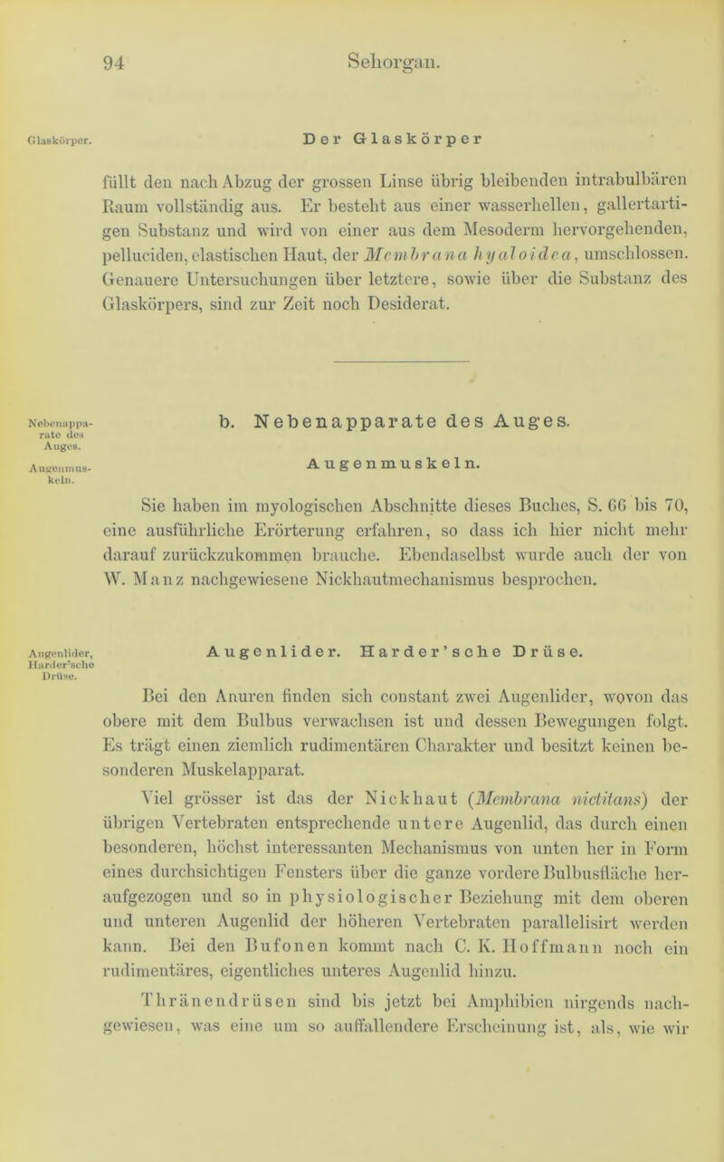 Glaskörper. DerGlaskörper füllt (len nach Abzug der grossen Linse übrig bleibenden intrabulbilren Raum vollständig aus. Er besteht aus einer wasserhellen, gallertarti- gen Substanz und wird von einer aus dem Mesoderm hervorgehenden, pelluciden, elastischen Haut, der 3Icmhra na Iriialoidca, umschlossen. Genauere Untersuchungen über letztere, sowie über die Substanz des Glaskörpers, sind zur Zeit noch Desiderat. Nebenappa- b. NebenapparatedosAuges. rate des Auges. AuKcnimis- Augenmuskeln. kein. Sie haben im myologischen Abschnitte dieses Buches, S. GO bis 70, eine ausführliche Erörterung erfahren, so dass ich hier nicht mehr darauf zurückzukommen lirauche. Ebendaselbst wurde auch der von W. Manz nachgewiesene Nickhautmechanismus besprochen. Arigoniidor, Augenlider. Harder’sche Drüse. Harcler’scho Drüse. Bei den Anuren finden sich constant zwei Augenlider, wovon das obere mit dem Bulbus verwachsen ist und dessen Bewegungen folgt. Es trägt einen ziemlich rudimentären Charakter und besitzt keinen be- sonderen Muskelapparat. Viel grösser ist das der Nick haut (3Icmhmna nictifans) der übrigen Vertebraten entsprechende untere Augenlid, das durch einen besonderen, höchst interessanten Mechanismus von unten her in Form eines durchsichtigen Fensters über die ganze vordere BulbusÜäche her- aufgezogen und so in physiologischer Beziehung mit dem oberen und unteren Augenlid der höheren Vertebraten parallelisirt werden kann. Bei den Bufonen kommt nach C. K. IIoffmann noch ein rudimentäres, eigentliches unteres Augenlid hinzu. Thränendrüsen sind bis jetzt bei Amphibien nirgends nach- gewieseii, was eine um so aiittallendere Erscheinung ist, als, wie wir