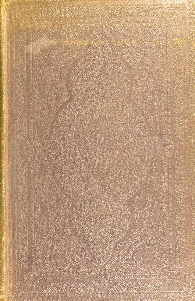 No text description is available for this image