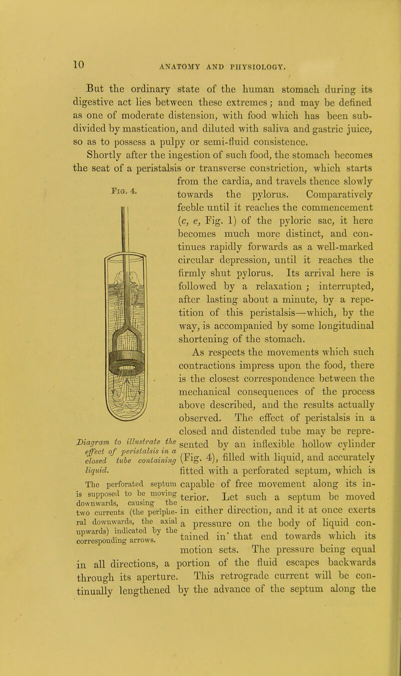 Fig. 4. But tlie ordinary state of the human stomach during its digestive act lies between these extremes; and may be defined as one of moderate distension, with food which has been sub- divided by mastication, and diluted with saliva and gastric juice, so as to possess a pulpy or semi-fluid consistence. Shortly after the ingestion of such food, the stomach becomes the seat of a peristalsis or transverse constriction, which starts from the cardia, and travels thence slowly towards the pylorus. Comparatively feeble until it reaches the commencement (c, e, Fig. 1) of the pyloric sac, it here becomes much more distinct, and con- tinues rapidly forwards as a well-marked circular depression, until it reaches the firmly shut pylorus. Its arrival here is followed by a relaxation ; interrupted, after lasting about a minute, by a repe- tition of this peristalsis—which, by the way, is accompanied by some longitudinal shortening of the stomach. As respects the movements which such contractions impress upon the food, there is the closest correspondence between the mechanical consequences of the process above described, and the results actually observed. The effect of peristalsis in a closed and distended tube may be repre- Diagram to illustrate the sented by an inflexible hollow cylinder effect of peristalsis m a closed tube containing (Fig. 4), filled with liquid, and accurately liquid. fitted with a perforated septum, which is The perforated septum capable of free movement along its in- is supposed to be moving ^erjor> Let such a septum be moved downwards, causing the . f two currents (the periphe- in either direction, and it at once exerts ral downwards, the axial a pressm-e on the body of liquid con- correspm ^taincd m'that end towards which its motion sets. The pressure being equal in all directions, a portion of the fluid escapes backwards through its aperture. This retrograde current will be con- tinually lengthened by the advance of the septum along the