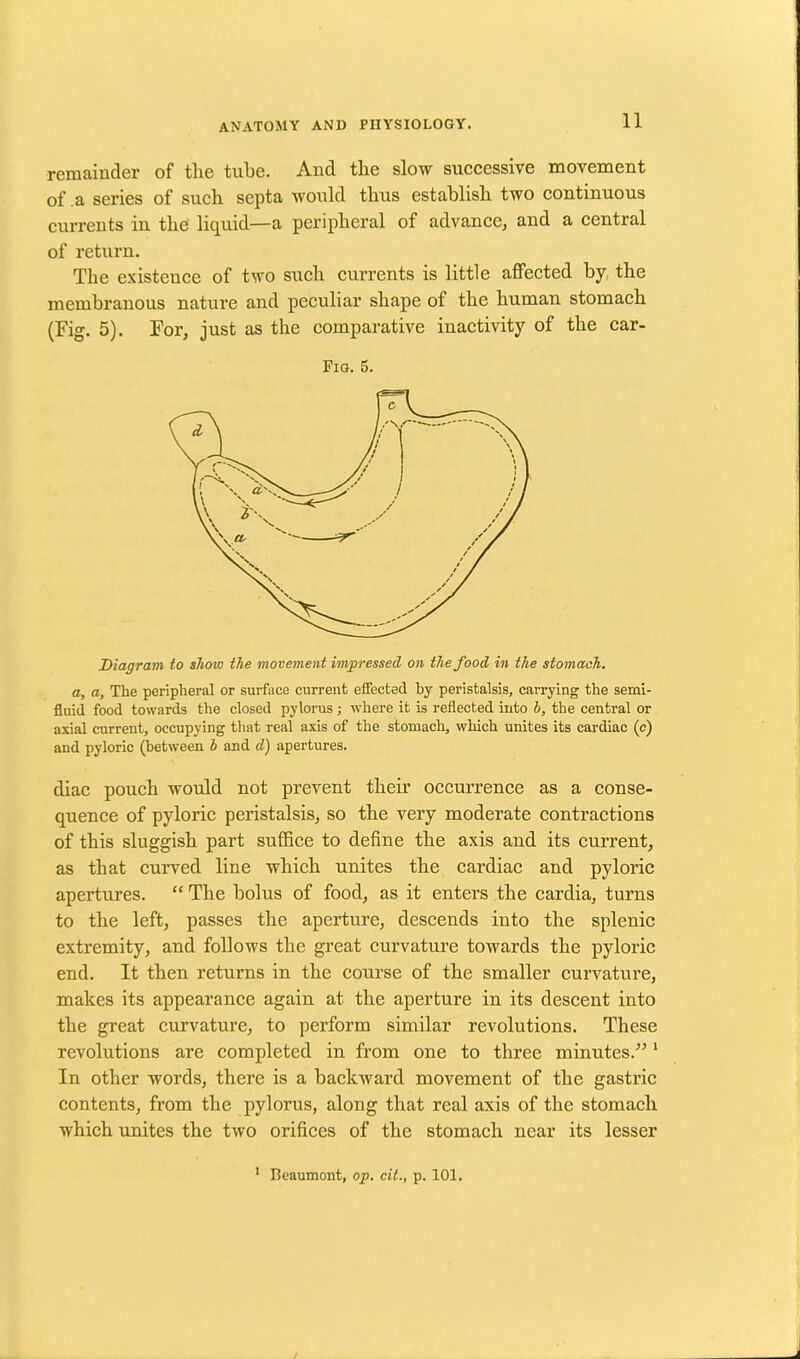 remainder of the tube. And the slow successive movement of .a series of such septa would thus establish two continuous currents in the liquid—a peripheral of advance, and a central of return. The existence of two such currents is little affected by the membranous nature and peculiar shape of the human stomach (Fig. 5). For, just as the comparative inactivity of the car- Fig. 5. Diagram to show the movement impressed on the food in the stomach. a, a, The peripheral or surface current effected by peristalsis, carrying the semi- fluid food towards the closed pylorus ; where it is reflected into h, the central or axial current, occupying that real axis of the stomach, which unites its cardiac (c) and pyloric (between h and d) apertures. diac pouch would not prevent their occurrence as a conse- quence of pyloric peristalsis, so the very moderate contractions of this sluggish part suffice to define the axis and its current, as that curved line which unites the cardiac and pyloric apertures. “ The bolus of food, as it enters the cardia, turns to the left, passes the aperture, descends into the splenic extremity, and follows the great curvature towards the pyloric end. It then returns in the course of the smaller curvature, makes its appearance again at the aperture in its descent into the great curvature, to perform similar revolutions. These revolutions are completed in from one to three minutes.” 1 In other words, there is a backward movement of tbe gastric contents, from the pylorus, along that real axis of the stomach which unites the two orifices of the stomach near its lesser 1 Beaumont, op. cit., p. 101.
