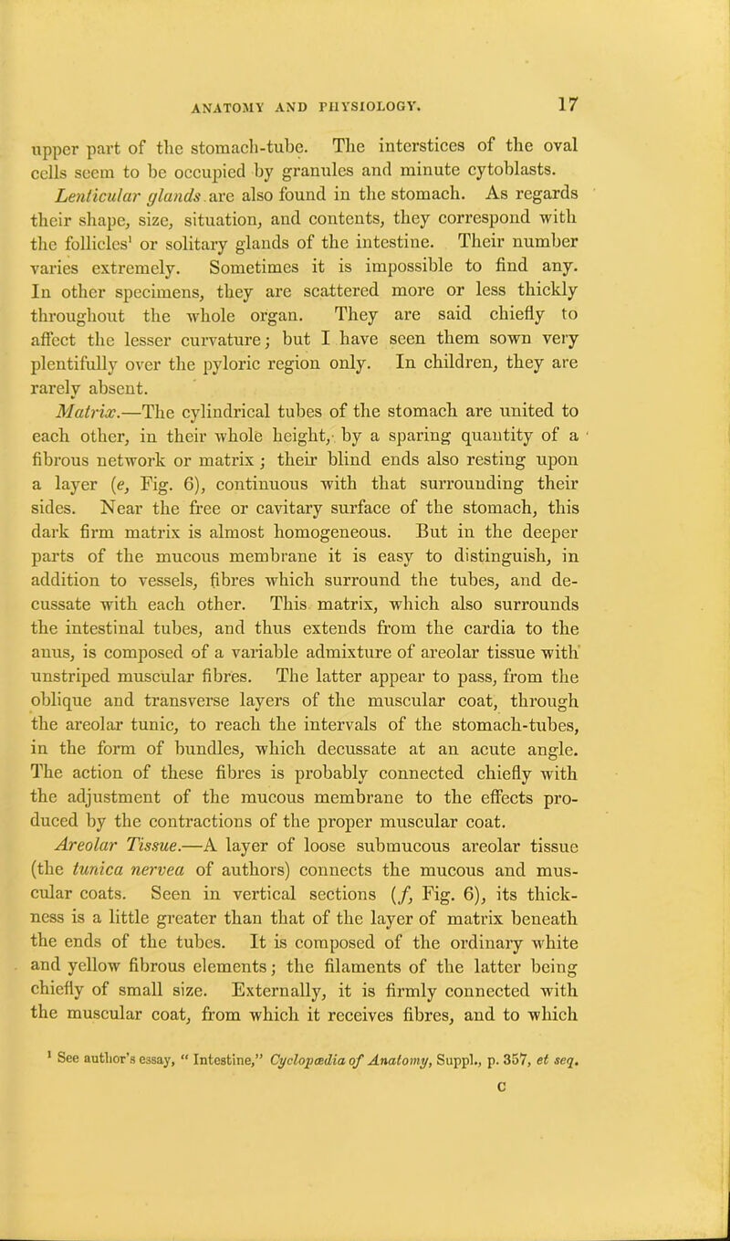 upper part of the stomach-tube. The interstices of the oval cells seem to he occupied by granules and minute cytoblasts. Lenticular glands are also found in the stomach. As regards their shape, size, situation, and contents, they correspond with the follicles1 or solitary glands of the intestine. Their number varies extremely. Sometimes it is impossible to find any. In other specimens, they are scattered more or less thickly throughout the whole organ. They are said chiefly to affect the lesser curvature; but I have seen them sown very plentifully over the pyloric region only. In children, they are rarely absent. Matrix.—The cylindrical tubes of the stomach are united to each other, in their whole height,- by a sparing quantity of a fibrous network or matrix; their blind ends also resting upon a layer (e, Fig. 6), continuous with that surrounding their sides. Near the free or cavitary surface of the stomach, this dark firm matrix is almost homogeneous. But in the deeper parts of the mucous membrane it is easy to distinguish, in addition to vessels, fibres which surround the tubes, and de- cussate with each other. This matrix, which also surrounds the intestinal tubes, and thus extends from the cardia to the anus, is composed of a variable admixture of areolar tissue with unstriped muscular fibres. The latter appear to pass, from the oblique and transverse layers of the muscular coat, through the areolar tunic, to reach the intervals of the stomach-tubes, in the form of bundles, which decussate at an acute angle. The action of these fibres is probably connected chiefly with the adjustment of the mucous membrane to the effects pro- duced by the contractions of the proper muscular coat. Areolar Tissue.—A layer of loose submucous areolar tissue (the tunica nervea of authors) connects the mucous and mus- cular coats. Seen in vertical sections (/, Fig. 6), its thick- ness is a little greater than that of the layer of matrix beneath the ends of the tubes. It is composed of the ordinary white and yellow fibrous elements; the filaments of the latter being chiefly of small size. Externally, it is firmly connected with the muscular coat, from which it receives fibres, aud to which 1 See author’s essay, “ Intestine,” Cyclopaedia of Anatomy, Suppl., p. 357, et seq. C