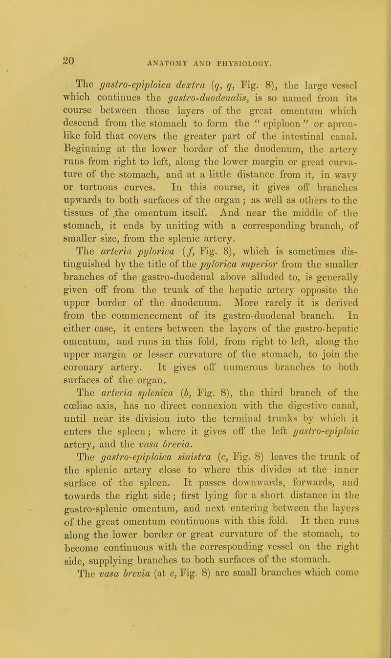 The gastro-epiploica dextra (q, q, Fig. 8), the large vessel which continues the g astro-duo denalis, is so named from its course between those layers of the great omentum which descend from the stomach to form the “ epiploon ” or apron- like fold that covers the greater part of the intestinal canal. Beginning at the lower border of the duodenum, the artery runs from right to left, along the lower margin or great curva- ture of the stomach, and at a little distance from it, in wavy or tortuous curves. In this course, it gives off branches upwards to both surfaces of the organ; as well as others to the tissues of .the omentum itself. And near the middle of the stomach, it ends by uniting with a corresponding branch, of smaller size, from the splenic artery. The arteria pylorica (/, Fig. 8), which is sometimes dis- tinguished by the title of the pylorica superior from the smaller branches of the gastro-duodenal above alluded to, is generally given off from the trunk of the hepatic artery opposite the upper border of the duodenum. More rarely it is derived from the commencement of its gastro-duodenal branch. In either case, it enters between the layers of the gastro-hepatic omentum, and runs in this fold, from right to left, along the upper margin or lesser curvature of the stomach, to join the coronary artery. It gives off numerous branches to both surfaces of the organ. The arteria splenica [b, Fig. 8), the third branch of the coeliac axis, has no direct connexion with the digestive canal, until near its division into the terminal trunks by which it enters the spleen; where it gives off the left gastro-epiploic artery, and the vasa brevia. The gastro-epiploica sinistra (c, Fig. 8) leaves the trunk of the splenic artery close to where this divides at the inner surface of the spleen. It passes downwards, forwards, and towards the right side; first lying for a short distance in the gastro-splenic omentum, and next entering between the layers of the great omentum continuous with this fold. It then runs along the lower border or great curvature of the stomach, to become continuous with the corresponding vessel on the right side, supplying branches to both surfaces of the stomach. The vasa brevia (at e, Fig. 8) are small branches which come