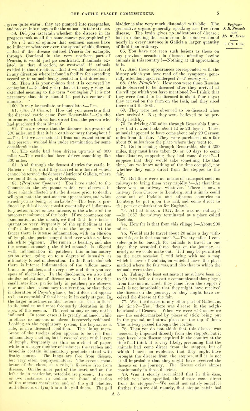 given quite warm; they are pumped into receptacles, and pass on into mangers for the animals to take at once. 58. Did you ascertain whether the disease in its progress took at all the same course geographically ? —No ; I am of opinion that common causes have no influence whatever over the spread of this disease, —that if the disease entered Prussia for example, through Courland' in the very northern part of Prussia, it would just go southward, if animals ex- isted in that direction, or westward if animals existed in that direction,—that it would indeed travel in any direction where it found a facility for spreading according to animals being located in that direction. 59. Then it is your opinion that it is conveyed by contagion ?—Decidedly so ; that is to say, giving an extended meaning to the term contagion it is not necessary that there should be positive contact of animals. 60. It may be mediate or immediate ?—Yes. 61. (Mr. M- Clean.) IIow did you ascertain that the diseased cattle came from Bessarabia ?—On the information which we had direct from the person who had purchased them himself. 62. You are aware that the distance is upwards of 300 miles, and that it is a cattle country throughout ? .—Yes, but we ascertained it from our examination of that person ; we had him under examination for some considerable time. 63. The cattle had been driven upwards of 300 miles ?—The cattle had been driven something like 300 miles. 64. And through the densest district for cattle iu Galicia ?—Yes, until they arrived in a district which cannot be termed the densest district of Galicia, where we found them, namely, at Zabrzez. 65. (Professor Spooner.) You have stated to the Commission the symptoms which you observed in those animals affected with the disease prior to death ; will you state the post-mortem appearances, and what struck you as being remarkable ?—The lesions pro- duced by this disease consist essentially of inflamma- tory action, more or less intense, in the whole of the mucous membranes of the body. If we commence our examination at the mouth, we find that there is- des- quamation. very frequently of the epithelium at the roof of the mouth and also of the tongue. At the fauces there is intense inflammation, with an effusion of lymph, the parts being dotted over with a yellow- ish white pigment. The rumen is healthy, and also the second stomach ; the third stomach is affected with inflammation in patches; this inflammatory action often going on to a degree of intensity as ultimately to end in ulceration. In the fourth stomach there is intense inflammation of the villous mem- brane in patches, and every now and then you see spots of ulceration. In the duodenum, we also find similar indications of disease as well as in the other small intestines, particularly in patches ; we observe now and then a tendency to ulceration, or that there is ulceration of Peyer’s glands, but it does not appear to be an essential of the disease in its early stages. Iii^ the larger intestines similar lesions are seen to those in the smaller, and more frequently ulceration in the apex of the coecum. The rectum may or may not be inflamed. In some cases it is greatly inflamed, while in others its mucous membrane is scarcely reddened. Looking to the respiratoi’y system, the larynx, as a rule, is in a diseased condition. The lining mem- brane of the trachea often appears to be free from inflammatory - action, but is covered over with layers of lymph, frequently as thin as a sheet of paper, while in a larger number of instances the trachea and bronchia contain inflammatory products mixed with frothy mucus. The lungs are free from disease, but very often emphysematous. The . serous mem- brane of the chest, as a rule, is likewise free from disease. On the inner part of the heart, and on the left side in particular, petechia) are present. In one or two instances in Galicia we found ulceration of the mucous membrane and of the gall bladder, and effusions of lymph into the gall ducts. The gall bladder is also very much distended with bile. The generative organs generally speaking are free from disease. The brain gives no indications of disease ; but in detaching the brain from the spine we found nearly in every instance in Galicia a larger quantity of fluid than ordinary. 66. You have not seen such lesions as those on any previous occasion in diseases affecting bovine animals in this country ?—Nothing at all approaching to it. Professor J. B. Simonds and Mr. W. Ernes. 9 Oct. 1865. 67. And those appearances corresponded with the history which you have read of the symptoms gene- rally attendant upon rinderpest ?—Precisely so. 68. (Dr. Playfair.) How soon were those Russian cattle observed to be diseased after they arrived at the village which you have mentioned ?—I think that they were found to be diseased in about four days ; they arrived on the farm on the 15th, and they stood there until the 20th. 69. They were not observed to be diseased when they arrived ?—No ; they were believed to be per- fectly healthy. 70. In driving 300 miles through Bessarabia I sup- pose that it would take about 15 or 20 days ?—These animals happened to have come about only 20 German miles from the fair. They were purchased at a fair about 20 miles from the place where they Went to. 71. But in coming through Bessarabia, about 300 miles, they must have taken 20 or 30 days to come that distance, supposing they had come direct ?—I suppose that they would take something like that time, but we know nothing of the time occupied, nor whether they came direct from the steppes to the fair. 72. But there were no means of transport such as railways to bring them very rapidly ?—At that time there were no railways whatever. There is now a railway from Cracow to Lemberg, and animals could come out of Podolia and adjacent countries to Lemberg, be put upon the rail, and come direct to the port of embarkation for England. 73. At that time, in 1857, there was no railway ? —In 1857 the railway terminated at a place called Boehnia. 74. How far is that from this village ?—-About 200 miles. 75. Would cattle travel about 20 miles a day with- out risk, or is that too much ?—Twenty miles I con- sider quite far enough for animals to travel in one day ; they occupied three days on the journey, as nearly as we could make out. If I may be permitted on the next occasion I will bring with me a map which I have of Galicia, on which I have the place marked where the fair was, and also that to which the animals were taken. 76. Taking the least estimate it must have been 15 to 20 days before the cattle communicated that plague from the time at which they came from the steppes ? —It is not improbable that they might have received the disease on the journey, or they might have re- ceived the disease at the fair. 77. Was the disease in any other part of Galicia at the time ?—Yes there was disease in the neigh- bourhood of Cracow. When we were at Cracow we saw the cordon marked by pieces of stick being put in the ground, and straw placed on the top of them. The railway passed through the cordon. 78. Then you do not think that this disease was necessarily imported directly from the steppes, but it may have been disease acquired in the country at the time ?—I think it is very likely, presuming that the animals had come direct from the steppes, but of which I have no evidence, that they might have brought the disease from the steppes, still it is not at all improbable that they might have received the disease on the journey. The disease exists almost continuously in those districts. 79. Was it clearly ascertained that in this case, which you have specified, the disease came direct from the steppes ?—We could not satisfy ourselves further than we did, namely, that steppe cattle had