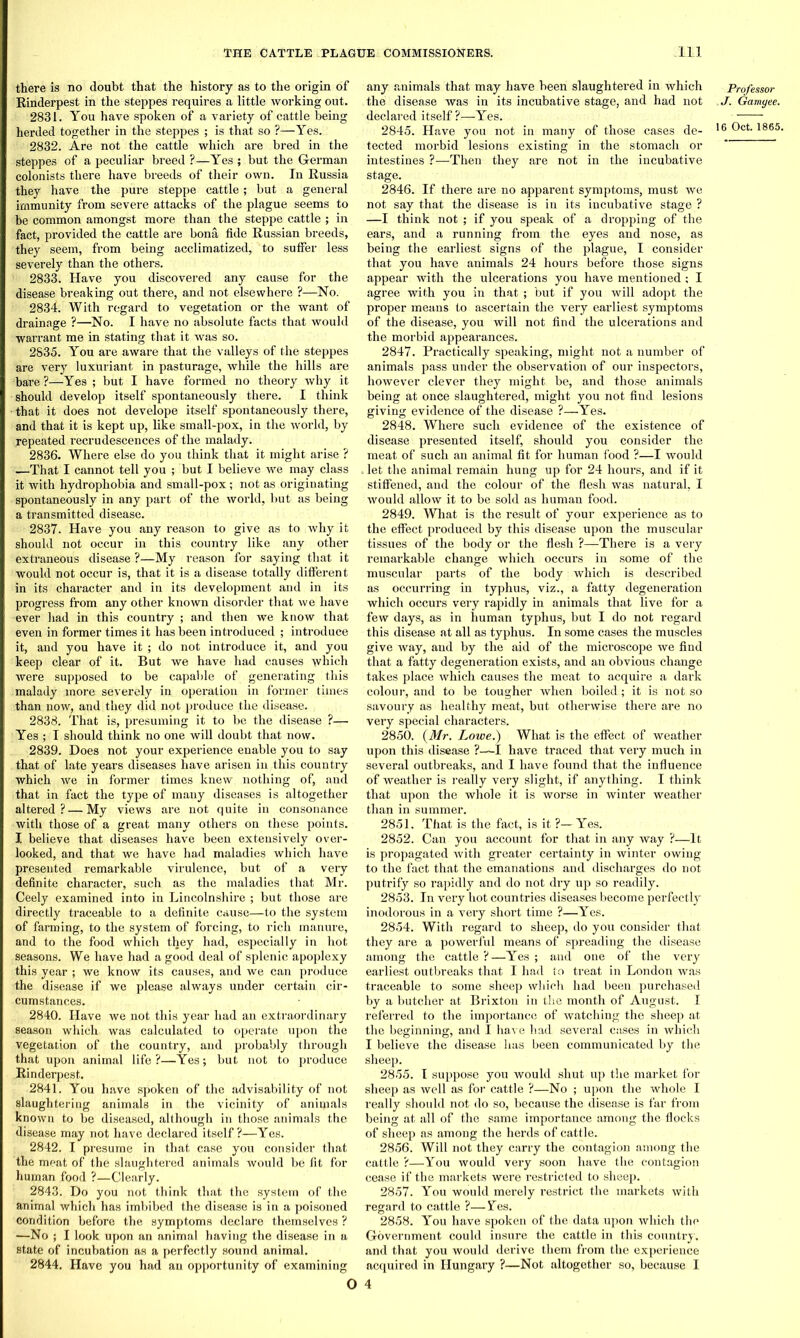 there is no doubt that the history as to the origin of Rinderpest in the steppes requires a little working out. 2831. You have spoken of a variety of cattle being herded together in the steppes ; is that so ?—Yes. 2832. Are not the cattle which are bred in the steppes of a peculiar breed ?—Yes ; but the German colonists there have breeds of their own. In Russia they have the pure steppe cattle; but a general immunity from severe attacks of the plague seems to be common amongst more than the steppe cattle ; in fact, provided the cattle are bona fide Russian breeds, they seem, from being acclimatized, to suffer less severely than the others. 2833. Have you discovered any cause for the disease breaking out there, and not elsewhere ?—No. 2834. With regard to vegetation or the want of drainage ?—No. I have no absolute facts that would warrant me in stating that it was so. 2835. You are aware that the valleys of the steppes are very luxuriant in pasturage, while the hills are bare ?—Yes ; but I have formed no theory why it should develop itself spontaneously there. I think • that it does not develope itself spontaneously there, and that it is kept up, like small-pox, in the world, by repeated recrudescences of the malady. 2836. Where else do you think that it might arise ? —That I cannot tell you ; but I believe we may class it with hydrophobia and small-pox; not as originating spontaneously in any part of the world, but as being a transmitted disease. 2837. Have you any reason to give as to why it should not occur in this country like any other extraneous disease ?—My reason for saying that it would not occur is, that it is a disease totally different in its character and in its development and in its progress from any other known disorder that we have ever had in this country ; and then we know that even in former times it has been introduced ; introduce it, and you have it ; do not introduce it, and you keep clear of it. But we have had causes which were supposed to be capable of generating this malady more severely in operation in former times than now, and they did not produce the disease. 2838. That is, presuming it to be the disease ?— Yes ; T should think no one will doubt that now. 2839. Does not your experience enable you to say that of late years diseases have arisen in this country which we in former times knew nothing of, and that in fact the type of many diseases is altogether altered? — My views are not quite in consonance with those of a great many others on these points. I believe that diseases have been extensively over- looked, and that we have had maladies which have presented remarkable virulence, but of a very definite character, such as the maladies that Mr. Ceely examined into in Lincolnshire ; but those are directly traceable to a definite cause—to the system of farming, to the system of forcing, to rich manure, and to the food which they had, especially in hot seasons. We have had a good deal of splenic apoplexy this year ; we know its causes, and we can produce the disease if we please always under certain cir- cumstances. 2840. Have we not this year had an extraordinary season which was calculated to operate upon the vegetation of the country, and probably through that upon animal life ?—Yes; but not to produce Rinderpest. 2841. You have spoken of the advisability of not slaughtering animals in the vicinity of animals known to be diseased, although in those animals the disease may not have declared itself ?—Yes. 2842. I presume in that case you consider that the meat of the slaughtered animals would be fit for human food ?—Clearly. 2843. Do you not think that the system of the animal which has imbibed the disease is in a poisoned condition before the symptoms declare themselves ? —No ; I look upon an animal having the disease in a state of incubation as a perfectly sound animal. 2844. Have you had an opportunity of examining any animals that may have been slaughtered in which the disease was in its incubative stage, and had not declared itself?—Yes. 2845. Have you not in many of those cases de- tected morbid lesions existing in the stomach or intestines ?—Then they are not in the incubative stage. 2846. If there are no apparent symptoms, must we not say that the disease is in its incubative stage ? —I think not ; if you speak of a dropping of the ears, and a running from the eyes and nose, as being the earliest signs of the plague, I consider that you have animals 24 hours before those signs appear with the ulcerations you have mentioned; I agree with you in that ; but if you will adopt the proper means to ascertain the very earliest symptoms of the disease, you will not find the ulcerations and the morbid appearances. 2847. Practically speaking, might not a number of animals pass under the observation of our inspectors, however clever they might be, and those animals being at once slaughtered, might you not find lesions giving evidence of the disease ?—Yes. 2848. Where such evidence of the existence of disease presented itself, should you consider the meat of such an animal fit for human food ?—I would . let the animal remain hung up for 24 hours, and if it stiffened, and the colour of the flesh was natural, I would allow it to be sold as human food. 2849. What is the result of your experience as to the effect produced by this disease upon the muscular tissues of the body or the flesh ?—There is a very remarkable change which occurs in some of the muscular parts of the body which is described as occurring in typhus, viz., a fatty degeneration which occurs very rapidly in animals that live for a few days, as in human typhus, but I do not regard this disease at all as typhus. In some cases the muscles give way, and by the aid of the microscope we find that a fatty degeneration exists, and an obvious change takes place which causes the meat to acquire a dark colour, and to be tougher when boiled; it is not so savoury as healthy meat, but otherwise there are no very special characters. 2850. {Mr. Lowe.) What is the effect of weather upon this disease ?-—I have traced that very much in several outbreaks, and I have found that the influence of weather is really very slight, if anything. I think that upon the whole it is worse in winter weather than in summer. 2851. That is the fact, is it ?—Yes. 2852. Can you account for that in any way ?—It is propagated with greater certainty in winter owing to the fact that the emanations and discharges do not putrify so rapidly and do not dry up so readily. 2853. In very hot countries diseases become perfectly inodorous in a vei’y short time ?—Yes. 2854. With regard to sheep, do you consider that they are a powerful means of spreading the disease among the cattle ?—Yes ; and one of the very earliest outbreaks that I had to treat in London was traceable to some sheep which had been purchased by a butcher at Brixton in the month of August. I referred to the importance of watching the sheep at the beginning, and I have had several cases in which I believe the disease has been communicated by the sheep. 2855. I suppose you would shut up the market for sheep as well as for cattle ?—No ; upon the whole I really should not do so, because the disease is far from being at all of the same importance among the flocks of sheep as among the herds of cattle. 2856. Will not they carry the contagion among the cattle ?—You would very soon have the contagion cease if the markets were restricted to sheep. 2857. You would merely restrict the markets with regard to cattle ?—Yes. 2858. You have spoken of the data upon which the Government could insure the cattle in this country, and that you would derive them from the experience acquired in Hungary ?—Not altogether so, because I O 4 Professor ,J. Gamyee.