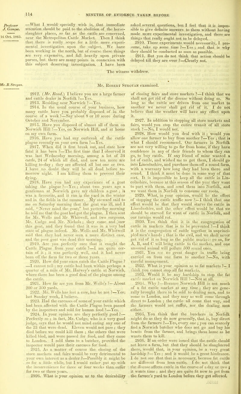 Professor J. Gavigee. 16 Oct. 1865. Mr. R.Stroyan. —What I would specially wish is, that immediate attention should be paid to the abolition of the horse- slaugliter places, so far as the cattle are concerned, near the Metropolitan Cattle Market. Then I think that there is really scope for a little more experi- mental investigation upon the subject. We have been working in the north, but of course.these things are very expensive, and fall heavily upon private purses, but there are many points in connexion with this subject deserviug investigation. I have been asked several questions, but I feel that it is impos- sible to give definite answers, to them without having made more experimental investigation, and there are things that really ought not to be delayed. 2910. Those experiments would necessarily, I pre- sume, take up some time ?—Yes ; and that is why they should be conducted as soon as possible. 2911. But you do not think that action should be delayed till they are over ?—Clearly not. The witness withdrew. Mr. Robert Stroyan examined. 2912. (Mr. Read.) I believe you are a large farmer and cattle dealer in Norfolk ?—Yes. 2913. Residing near Norwich ?—-Yes. 2914. In the usual course of your- business, how many cattle have you probably disposed of in the course of a week?—Say about 8 or 10 score during October and November. 291 d. Have you disposed of almost all of them on Norwich Hill ?—Yes, on Norwich Hill, and at home on my own farm. 2916. Have you had any outbreak of the cattle plague recently on your own farm ?—Yes. 2917. When did it first break out, and state how fatal it has been ?—The first time that I observed it was last Wednesday morning, among a lot of 34 cattle, 24 of which all died, and now ten more are killing to-day ; they are affected all but one or two. I have no doubt they will be all dead before to- morrow night. I am killing them to prevent their dying. 2918. Have you had any experience of a goat taking the plague ?—Yes ; about two years ago a gentleman at Norwich gave my children a goat ; it was a favourite, and it ran in the yard in the winter and in the fields in the summer. My steward said to me on Saturday morning that the goat was ill, and I said, “Never mind the goat;” but yesterday morning he told me that the goat had got the plague. I then sent for Mr. Wells and Mr. Whitwell, and two surgeons, Mr. Cadge and Mr. Nichols ; they came and [saw this goat, and they found that it was in a very bad state of plague indeed. Mr. Wells and Mr. Whitwell said that they had never seen a more distinct case, and the poor goat was dead this morning. 2919. Are you perfectly sure that it caught the Cattle Plague from your cattle ?—I am quite cer- tain of it ; it was perfectly well, and it had never been off the farm for two or three years. 2920. How did your oxen catch the Cattle Plague ? —I cannot tell; my cattle had been within perhaps a quarter of a mile of Mr. Harvey’s cattle at Norwich, where there has been a good deal of the plague among the cattle. 2921. How far are you from Mr. Wells’s ?—About 200 or 300 yards. 2922. Mr. Wells has lost a cow, has he not ?—Yes; last Sunday week, I believe. 2923. Had the carcases of some of your cattle which had been affected with the Cattle Plague been passed by the inspectors and sold for human food ?—Yes. 2924. In your opinion are they perfectly good ?— Perfectly so ; in fact, Mr. Cadge, who is a very good judge, says that he would not mind eating any one of the 23 that were dead. Eleven would not pass ; they died before we could kill them ; the others that were killed bled, and were passed for food, and they came to London. I sold them to a butcher, provided the inspector would pass their carcases for food. 2925. As a matter of course the closing of the store markets and fairs would be very detrimental to your own interest as a dealer ?—Possibly it might be so for a little while, but I would rather put up with the inconvenience for three or four weeks than, suffer for two or three years. 2926. What is your opinion as to the desirability of closing fairs and store markets ?—I think that we shall not get rid of the disease without doing so. So long as the cattle arc driven from one market to another we never shall get rid of it. I do not believe that the weather will have any effect upon it. 2927. In addition to stopping all store markets and fairs, would you stop the entire transit of all store stock ?—No, I would not. 2928. How would you deal with it ; would you allow one farmer to buy from another ?—Yes ; that is what I should recommend. Our farmers in Norfolk are not very willing to go far from home, if they have confidence in any of their friends to whom they can go, to buy cattle. If any friend of mine wanted a lot of cattle, and wished me to get them, I should go into Lincolnshire, and purchase them off a sound farm, with a warranty how long they had been there and sound. I think it must be done in some way of that sort. It is impossible to keep all the cattle in Lin- colnshire, because at this season of the year they want to part with them, and send them into Norfolk, and we want them in Norfolk to consume our roots. 2929. What, in your opinion, would be the effect of stopping the cattle traffic now ?—I think that one effect would be that they would starve the cattle in Lincolnshire, and the other effect would be that we should be starved for want of cattle in Norfolk, and our turnips would rot. 2930. You think that it is the congregation of cattle in markets that is to be prevented ?—I think it is the congregation of cattle together in unprinci- pled men’s hands ; that is the evil, and we shall never get rid of it so long as the public markets go on, for A, B, and C will bring cattle to the market, and one unsound animal will pollute 500 sound ones. 2931. You see no great danger in traffic being carried on from one farm to another ?—No, with careful management. 2932. What is your opinion as to fat markets ?— I think you cannot stop all fat markets. 2933. Would it be any hardship to stop the fat cattle market on Norwich Hill ?—Not at all. 2.934. Why ?—Because Norwich Hill is not much of a fat cattle market at any time ; they are gene- rally brought there to be sold to dealing men, and to come to London, and they may as well come through direct to London ; the cattle all come that way, and the farmers would not suffer, nor the dealing men either. 2935. You think that the butchers in Norfolk might do as they do now generally, that is, buy direct from the farmers ?—Yes, every one ; you can scarcely find a Norwich butcher who does not go and buy his beasts from the farmer, and brings them home as he wants them to kill. 2936. If an order were issued that the cattle should not leave a farm, but that they should be slaughtered there, -would that, in your opinion, be a very great hardship ?—Yes ; and it would be a great hindrance. I do not see that that is necessary, because fat cattle are different from lean cattle. I do not think that the disease affects cattle in the course of a day or two j it wants time ; and they are quite fit now to get from the farmer’s yard to London before they get affected.