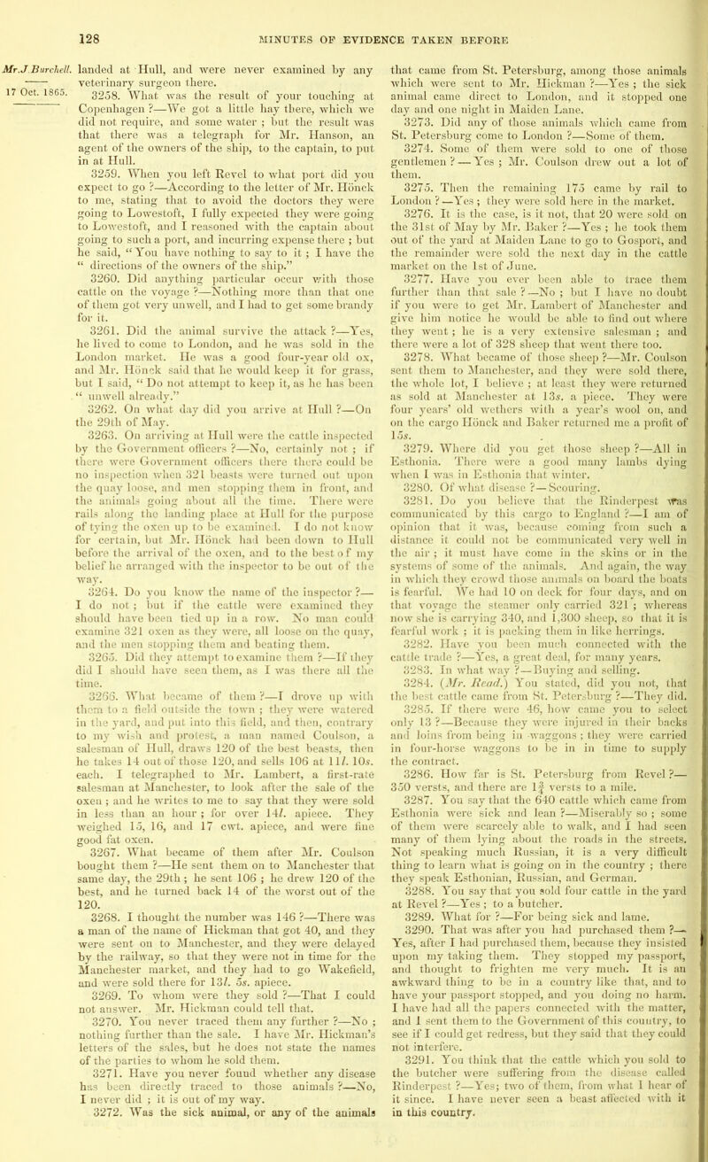Mr.J.Burchell. 17 Oct. 1865. landed at Hull, and were never examined by any veterinary surgeon there. 3258. What was the result of your touching at Copenhagen ?—We got a little hay there, which we did not require, and some water ; but the result was that there was a telegraph for Mr. Hanson, an agent of the owners of the ship, to the captain, to put in at Hull. 3259. When you left Revel to what port did you expect to go ?—According to the letter of Mr. Honck to me, stating that to avoid the doctors they were going to Lowestoft, I fully expected they were going to Lowestoft, and I reasoned with the captain about going to such a port, and incurring expense there ; but he said, “You have nothing to say to it ; I have the “ directions of the owners of the ship.” 3260. Did anything particular occur with those cattle on the voyage ?—Nothing more than that one of them got very unwell, and I had to get some brandy for it. 3261. Did the animal survive the attack ?—Yes, he lived to come to London, and he was sold in the London market. He was a good four-year old ox, and Mr. Honck said that ho would keep it for grass, but I said, “ Do not attempt to keep it, as he has been “ unwell already.” 3262. On what day did you arrive at Hull ?—On the 29th of May. 3263. On arriving at Hull were the cattle inspected by the Government officers ?—No, certainly not ; if there were Government officers there there could be no inspection when 321 beasts were turned out upon the quay loose, and men stopping them in front, and the animals going about all the time. There were rails along the landing place at Hull for the purpose of tying the oxen up to be examined. I do not know for certain, but Mr. Honck had been down to Hull before the arrival of the oxen, and to the best o f my belief he arranged with the inspector to be out of the way. 3264. Do you know the name of the inspector ?— I do not ; but if the cattle were examined they should have been tied up in a row. No man could examine 321 oxen as they were, all loose on the quay, and the men stopping them and beating them. 3265. Did they attempt to examine them ?—If they did I should have seen them, as I was there all the time. 3266. What became of them ?—I drove up with them to a field outside the town ; they were watered in the yard, and put into this field, and then, contrary to my wish and protest, a man named Coulson, a salesman of Hull, draws 120 of the best beasts, then he takes 14 out of those 120, and sells 106 at 11/. 10s. each. I telegraphed to Mr. Lambert, a first-rate salesman at Manchester, to look after the sale of the oxen ; and he writes to me to say that they were sold in less than an hour ; for over 14/. apiece. They weighed 15, 16, and 17 cwt. apiece, and were fine good fat oxen. 3267. What became of them after Mr. Coulson bought them ?—He sent them on to Manchester that same day, the 29th; he sent 106 ; he drew 120 of the best, and he turned back 14 of the worst out of the 120. 3268. I thought the number was 146 ?—There was a man of the name of Hickman that got 40, and they were sent on to Manchester, and they were delayed by the railway, so that they were not in time for the Manchester market, and they had to go Wakefield, and were sold there for 13/. 5s. apiece. 3269. To whom were they sold ?—That I could not answer. Mr. Hickman could tell that. 3270. You never traced them any further ?—No ; nothing further than the sale. I have Mr. Hickman’s letters of the sales, but he does not state the names of the parties to whom he sold them. 3271. Have you never found whether any disease has been directly traced to those animals ?—No, I never did ; it is out of my way. 3272. Was the sick animal, or any of the animals that came from St. Petersburg, among those animals which were sent to Mr. Hickman ?—Yes ; the sick animal came direct to London, and it stopped one day and one night in Maiden Lane. 3273. Did any of those animals which came from St. Petersburg come to London ?—Some of them. 3274. Some of them were sold to one of those gentlemen? — Yes ; Mr. Coulson drew out a lot of them. 3275. Then the remaining 175 came by rail to London ?—Yes ; they were sold here in the market. 3276. It is the case, is it not, that 20 were sold on the 31st of May by Mr. Baker ?—Yes ; he took them out of the yard at Maiden Lane to go to Gosport, and the remainder were sold the next day in the cattle market on the 1st of June. 3277. Have you ever been able to trace them further than that sale ? —No ; but I have no doubt if you were to get Mr. Lambert of Manchester and give him notice he would be able to find out where they went; he is a very extensive salesman ; and there were a lot of 328 sheep that went there too. 3278. What became of those sheep ?—Mr. Coulson sent them to Manchester, and they were sold there, the whole lot, I believe ; at least they were returned as sold at Manchester at 13s. a piece. They were four years’ old wethers with a year’s wool on, and on the cargo Honck and Baker returned me a profit of 15s. 3279. Where did you get those sheep ?—All in Esthonia. There were a good many lambs dying when I was in Esthonia that winter. 3280. Of what disease ?—Scouring. 3281. Do you believe that the Rinderpest Was communicated by this cargo to England ?—I am of opinion that it was, because coming from such a distance it could not be communicated very well in the air ; it must have come in the skins or in the. systems of some of the animals. And again, the way in which they crowd those ammals on board the boats is fearful. We had 10 on deck for four days, and on that voyage the steamer only carried 321 ; whereas now she is carrying 340, and 1,300 sheep, so that it is fearful work ; it is packing them in like herrings. 3282. Have you been much connected with the cattle trade ?—Yes, a great deal, for many years. 3283. In what way ?—Buying and selling. 3284. (Mr. Read.) You stated, did you not, that the best cattle came from St. Petersburg ?—They did. 3285. If there were 46, how came you to select only 13 ?—Because they were injured in their backs and loins from being in -waggons ; they were carried in four-horse waggons to be in in time to supply the contract. 3286. How far is St. Petersburg from Revel ?— 350 versts, and there are If versts to a mile. 3287. You say that the 640 cattle which came from Esthonia were sick and lean ?—Miserably so ; some of them were scarcely able to walk, and I had seen many of them lying about the roads in the streets. Not speaking much Russian, it is a very difficult thing to learn what is going on in the country ; there they speak Esthonian, Russian, and German. 3288. You say that you sold four cattle in the yard at Revel ?—Yes ; to a butcher. 3289. What for ?—For being sick and lame. 3290. That was after you had purchased them ?—■ Yes, after I had purchased them, because they insisted upon my taking them. They stopped my passport, and thought to frighten me very much. It is an awkward thing to be in a country like that, and to have your passport stopped, and you doing no harm. I have had all the papers connected with the matter, and I sent them to the Government of this country, to see if I could get redress, but they said that they could not interfere. 3291. You think that the cattle which you sold to the butcher were suffering from the disease called Rinderpest ?—Yes; two of them, from what I hear of it since. I have never seen a beast affected with it in this country.