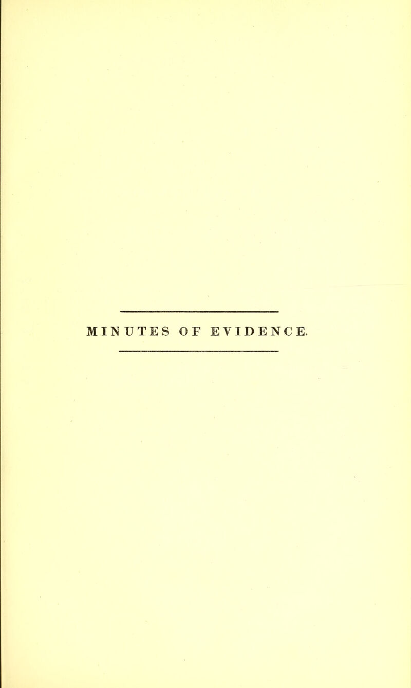 MINUTES OF EVIDENCE.