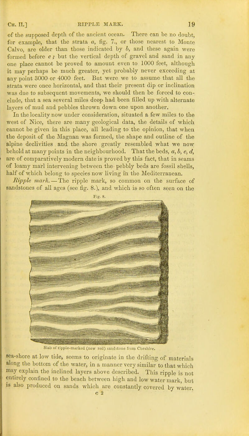 of the supposed depth of the ancient ocean. There can be no doubt, for example, that the strata a, fig. 7., or those nearest to Monte Calvo, are older than those indicated by b, and these again were formed before c ; but the vertical depth of gravel and sand in any one place cannot be proved to amount even to 1000 feet, although it may perhaps be much greater, yet probably never exceeding at any point 3000 or 4000 feet. But were we to assume that all the strata were once horizontal, and that their present dip or inclination was due to subsequent movements, we should then be forced to con- clude, that a sea several miles deep had been filled up with alternate layers of mud and pebbles thrown down one upon another. In the locality now under consideration, situated a few miles to the west of Nice, there are many geological data, the details of which cannot be given in this place, all leading to the opinion, that when the deposit of the Magnan was formed, the shape and outline of the alpine declivities and the shore greatly resembled what we now behold at many points in the neighbourhood. That the beds, a, b, c, d, are of comparatively modern date is proved by this fact, that in seams of loamy marl intervening between the pebbly beds are fossil shells, half of which belong to species now living in the Mediterranean. Ripple mark. — The ripple mark, so common on the surface of sandstones of all ages (see fig. 8.), and which is so often seen on the Fig. 8. Slab of ripple-marked (new red) sandstone from Cheshire. sea-shore at low tide, seems to originate in the drifting of materials along the bottom of the water, in a manner very similar to that which may explain the inclined layers above described. This ripple is not entirely confined to the beach between high and low water mark, but is also produced on sands which are constantly covered by water, c 2