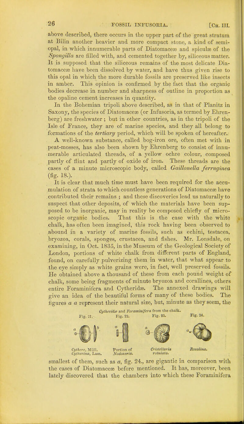 above described, there occurs in the upper part of the great stratum at Bilin another heavier and more compact stone, a kind of semi- opal, in which innumerable parts of Diatomaceae and spiculae of the Spongilla are filled with, and cemented together by, siliceous matter. It is supposed that the siliceous remains of the most delicate Dia- tomaceae have been dissolved by water, and have thus given rise to this opal in which the more durable fossils are preserved like insects in amber. This opinion is confirmed by the fact that the organic bodies decrease in number and sharpness of outline in proportion as the opaline cement increases in quantity. In the Bohemian tripoli above described, as in that of Planitz in Saxony, the species of Diatomaceae (or Infusoria, as termed by Ehren- berg) are freshwater ; but in other countries, as in the tripoli of the Isle of France, they are of marine species, and they all belong to formations of the tertiary period, which will be spoken of hereafter. A well-known substance, called bog-iron ore, often met with in peat-mosses, has also been shown by Ehrenberg to consist of innu- merable articulated threads, of a yellow ochre colour, composed partly of flint and partly of oxide of iron. These threads are the cases of a minute microscopic body, called Gaillonella ferruginea (fig. 18.). It is clear that much time must have been required for the accu- mulation of strata to which countless generations of Diatomaceas have contributed their remains ; and these discoveries lead us naturally to suspect that other deposits, of which the materials have been sup- posed to be inorganic, may in reality be composed chiefly of micro- scopic organic bodies. That this is the case with the white chalk, has often been imagined, this rock having been observed to abound in a variety of marine fossils, such as echini, testacea, bryozoa, corals, sponges, Crustacea, and fishes. Mr. Lonsdale, on examining, in Oct. 1835, in the Museum of the Geological Society of London, portions of white chalk from different parts of England, found, on carefully pulverizing them in water, that what appear to the eye simply as white grains were, in fact, well preserved fossils. He obtained above a thousand of these from each pound weight of chalk, some being fragments of minute bryozoa and corallines, others entire Foraminifera and Cytheridse. The annexed drawings will give an idea of the beautiful forms of many of these bodies. The figures a a represent their natural size, but, minute as they seem, the CythericUe and Forciminijera from the chalk. Fig. 21. Fig. 22. Fig. 23. Fig. 24. Cythere, Mull. Portion of Cristellaria Rosalina. Cytherina, Lam. Nodosaria• rotulata. smallest of them, such as a, fig. 24., are gigantic in comparison with the cases of Diatomacem before mentioned. It has, moreover, been lately discovered that the chambers into which these Foraminifera
