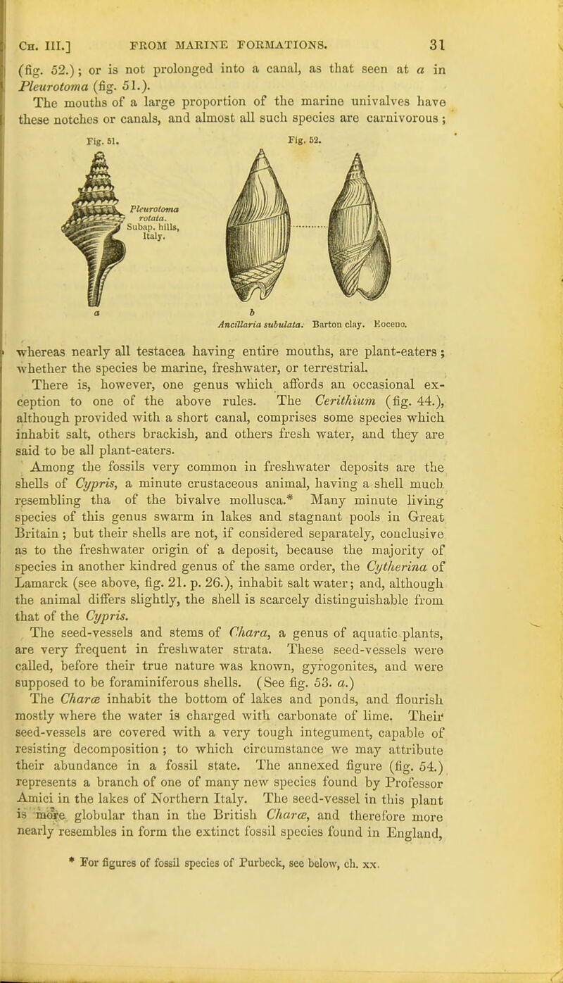 (fig. 52.); or is not prolonged into a canal, as that seen at a in Pleurotoma (fig. 51.). The mouths of a large proportion of the marine univalves have these notches or canals, and almost all such species are carnivorous ; Fig. 51. Fig. 52. a b Ancillaria subulala. Barton clay. Eoceno. > whereas nearly all testacea having entire mouths, are plant-eaters; whether the species be marine, freshwater, or terrestrial. There is, however, one genus which affords an occasional ex- ception to one of the above rules. The Cerithium (fig. 44.), although provided with a short canal, comprises some species which inhabit salt, others brackish, and others fresh water, and they are said to be all plant-eaters. Among the fossils very common in freshwater deposits are the shells of Cypris, a minute crustaceous animal, having a shell much resembling tha of the bivalve mollusca.* Many minute living species of this genus swarm in lakes and stagnant pools in Great Britain; but their shells are not, if considered separately, conclusive as to the freshwater origin of a deposit, because the majority of species in another kindred genus of the same order, the Cytherina of Lamarck (see above, fig. 21. p. 26.), inhabit salt water; and, although the animal differs slightly, the shell is scarcely distinguishable from that of the Cypris. The seed-vessels and stems of Chara, a genus of aquatic plants, are very frequent in freshwater strata. These seed-vessels were called, before their true nature was known, gyrogonites, and were supposed to be foraminiferous shells. (See fig. 53. a.) The Charoe inhabit the bottom of lakes and ponds, and flourish mostly where the water is charged with carbonate of lime. Their seed-vessels are covered with a very tough integument, capable of resisting decomposition ; to which circumstance we may attribute their abundance in a fossil state. The annexed figure (fig. 54.) represents a branch of one of many new species found by Professor Amici in the lakes of Northern Italy. The seed-vessel in this plant is more globular than in the British Charce, and therefore more nearly resembles in form the extinct fossil species found in England, * For figures of fossil species of Purbeck, see below, ch. xx.