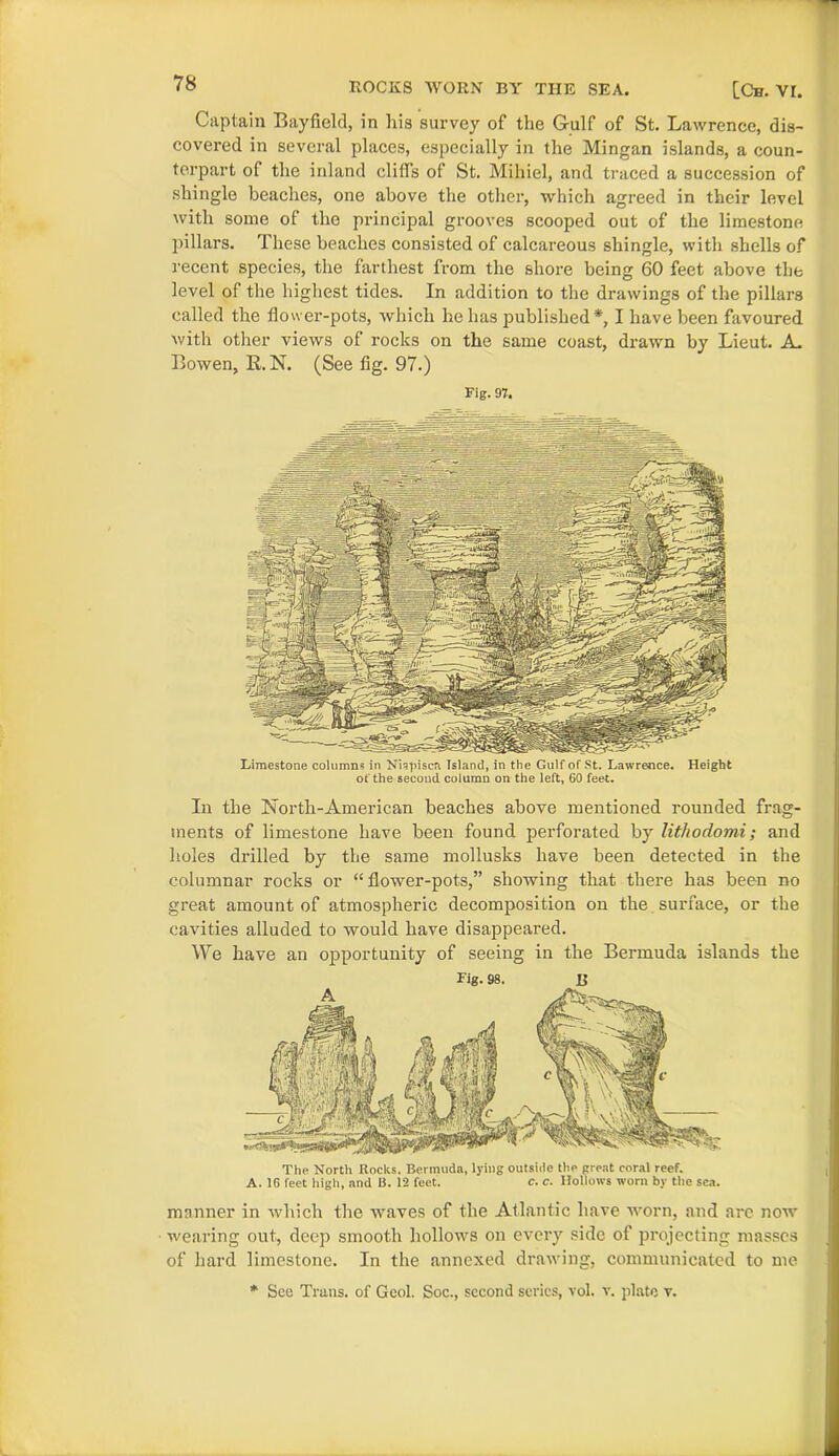 ROCKS WORN BY THE SEA. [Ch. VI. Captain Bayfield, in his survey of the Gulf of St. Lawrence, dis- covered in several places, especially in the Mingan islands, a coun- terpart of the inland cliffs of St. Mihiel, and traced a succession of shingle beaches, one above the other, which agreed in their level with some of the principal grooves scooped out of the limestone pillars. These beaches consisted of calcareous shingle, with shells of recent species, the farthest from the shore being 60 feet above the level of the highest tides. In addition to the drawings of the pillars called the flower-pots, which he has published*, I have been favoured with other views of rocks on the same coast, drawn by Lieut. A. Bowen, R.N. (See fig. 97.) Fig. 97. Limestone columns in Nnpiscn Island, in the Gulf of St. Lawrence. Height of the second column on the left, 60 feet. In the North-American beaches above mentioned rounded frag- ments of limestone have been found perforated by lithodomi; and holes drilled by the same niollusks have been detected in the columnar rocks or “flower-pots,” showing that there has been no great amount of atmospheric decomposition on the surface, or the cavities alluded to would have disappeared. We have an opportunity of seeing in the Bermuda islands the The North Iiocks. Bermuda, lying outside the great coral reef. A. 16 feet high, and B. 12 feet. c. c. Hollows worn by the sea. manner in which the waves of the Atlantic have worn, and arc now wearing out, deep smooth hollows on every side of projecting masses of hard limestone. In the annexed drawing, communicated to me * See Trans, of Geol. Soc., second series, vol. v. plate v.