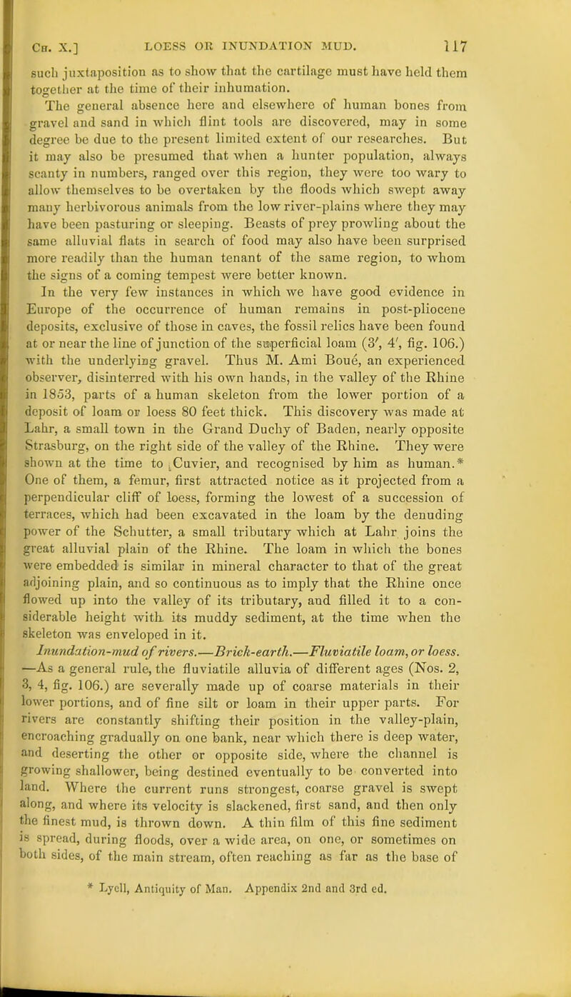 such juxtaposition as to show that the cartilage must have held them together at the time of their inhumation. The general absence here and elsewhere of human bones from gravel and sand in which flint tools are discovered, may in some degree be due to the present limited extent of our researches. But it may also be presumed that when a hunter population, always scanty in numbers, ranged over this region, they were too wary to allow themselves to be overtaken by the floods which swept away many herbivorous animals from the low river-plains where they may have been pasturing or sleeping. Beasts of prey prowling about the same alluvial flats in search of food may also have been surprised more readily than the human tenant of the same region, to whom the signs of a coming tempest were better known. In the very few instances in which we have good evidence in Europe of the occurrence of human remains in post-pliocene deposits, exclusive of those in caves, the fossil relics have been found at or near the line of junction of the superficial loam (3', 4', fig. 106.) with the underlying gravel. Thus M. Ami Boue, an experienced observer, disinterred with his own hands, in the valley of the Rhine in 1853, parts of a human skeleton from the lower portion of a deposit of loam or loess 80 feet thick. This discovery was made at Lahr, a small town in the Grand Duchy of Baden, nearly opposite Strasburg, on the right side of the valley of the Rhine. They were shown at the time to ^Cuvier, and recognised by him as human.* One of them, a femur, first attracted notice as it projected from a perpendicular cliff of loess, forming the lowest of a succession of terraces, which had been excavated in the loam by the denuding power of the Schutter, a small tributary which at Lahr joins the great alluvial plain of the Rhine. The loam in which the bones were embedded is similar in mineral character to that of the great adjoining plain, and so continuous as to imply that the Rhine once flowed up into the valley of its tributary, and filled it to a con- siderable height with, its muddy sediment, at the time when the skeleton was enveloped in it. Inundation-mud, of rivers.—Brick-earth.—Fluviatile loam, or loess. —As a general rule, the fluviatile alluvia of different ages (Nos. 2, 3, 4, fig. 106.) are severally made up of coarse materials in their lower portions, and of fine silt or loam in their upper parts. For rivers are constantly shifting their position in the valley-plain, encroaching gradually on one bank, near which there is deep water, and deserting the other or opposite side, where the channel is growing shallower, being destined eventually to be converted into land. Where the current runs strongest, coarse gravel is swept along, and where its velocity is slackened, first sand, and then only the finest mud, is thrown down. A thin film of this fine sediment is spread, during floods, over a wide area, on one, or sometimes on both sides, of the main stream, often reaching as far as the base of * Lycll, Antiquity of Man. Appendix 2nd and 3rd ed.