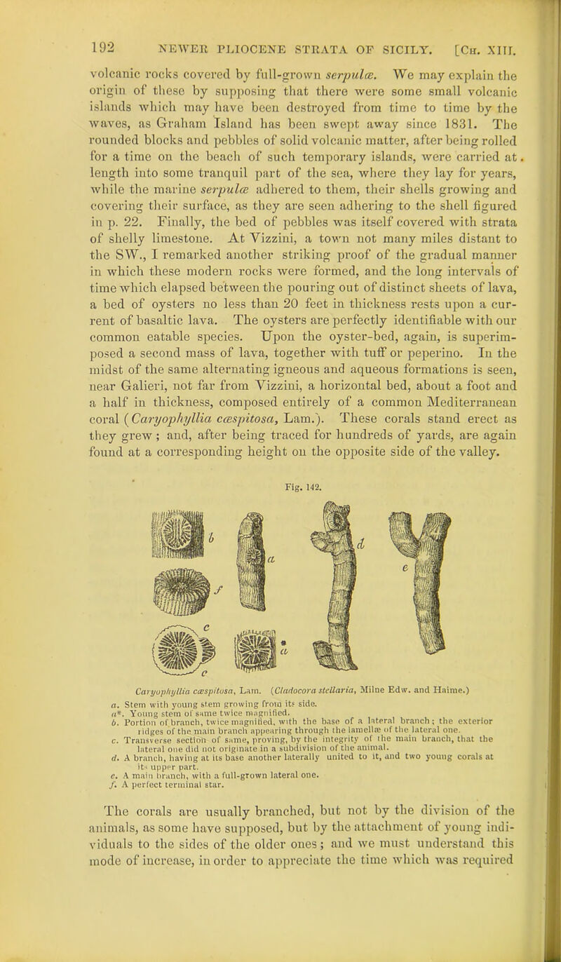 volcanic rocks covered by full-grown serpuloe. We may explain the origin of these by supposing that there were some small volcanic islands which may have been destroyed from time to time by the waves, as Graham Island has been swept away since 1831. The rounded blocks and pebbles of solid volcanic matter, after being rolled for a time on the beach of such temporary islands, were carried at. length into some tranquil part of the sea, where they lay for years, while the marine serpulce adhered to them, their shells growing and covering their surface, as they are seen adhering to the shell figured in p. 22. Finally, the bed of pebbles was itself covered with strata of shelly limestone. At Yizzini, a town not many miles distant to the SW., I remarked another striking proof of the gradual manner in which these modern rocks were formed, and the long intervals of time which elapsed between the pouring out of distinct sheets of lava, a bed of oysters no less than 20 feet in thickness rests upon a cur- rent of basaltic lava. The oysters are perfectly identifiable with our common eatable species. Upon the oyster-bed, again, is superim- posed a second mass of lava, together with tuff or peperino. In the midst of the same alternating igneous and aqueous formations is seen, near Galieri, not far from Yizzini, a horizontal bed, about a foot and a half in thickness, composed entirely of a common Mediterranean coral ( Caryophyllia ccespitosa, Lam.). These corals stand erect as they grew ; and, after being traced for hundreds of yards, are again found at a corresponding height on the opposite side of the valley. Fig. 142. Caryophyllia ccespitusa, Lam. (Cladocora stellaria, Milne Edw. and Haime.) а. Stem with young stem growing from its side. a*. Young stem of same twice magnified. б. Portion of branch, twice magnified, with the base of a lateral branch; the exterior ridges of the main branch appearing through the lamella; of the lateral one. c. Transverse section of same, proving, by the integrity of the main branch, that the lateral one did not originate in a subdivision of the animal. cl. A branch, having at its base another laterally united to it, and two young corals at its upper part. c. A main branch, with a full-grown lateral one. /. A perfect terminal star. The corals are usually branched, but not by the division of the animals, as some have supposed, but by the attachment of young indi- viduals to the sides of the older ones; and we must understand this mode of increase, in order to appreciate the time which was required