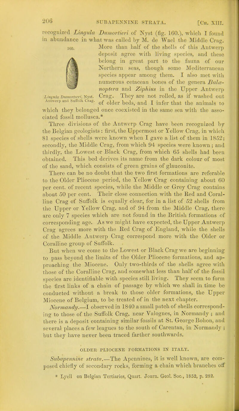 recognized Lingula Dumortieri of Nyst (fig. 160.), which I found in abundance in what was called by M. de Wael the Middle Crag. igo. More than half of the shells of this Antwerp deposit agree with living species, and these » belong in great part to the fauna of our Northern seas, though some Mediterranean species appear among them. I also met with numerous cetacean bones of the genera Balce- noptera and Ziphius in the Upper Antwerp Lingula Dumortieri, Nyst. Crag. They are not rolled, as if washed out Antwerp ami suiioik cr.ig. 0ic]er beds, and I infer that the animals to which they belonged once coexisted in the same sea with the asso- ciated fossil mollusca.* Three divisions of the Antwerp Crag have been recognized by the Belgian geologists : first, the Uppermost or Yellow Crag, in which 81 species of shells were known when I gave a list of them in 1852; secondly, the Middle Crag, from which 94 species were known; and thirdly, the Lowest or Black Crag, from which 65 shells had been obtained. This bed derives its name from the dark colour of most of the sand, which consists of green grains of glauconite. There can be no doubt that the two first formations are referable to the Older Pliocene period, the Yellow Crag containing about 60 per cent, of recent species, while the Middle or Grey Crag contains about 50 per cent. Their close connection with the Red and Coral- line Crag of Suffolk is equally clear, for in a list of 52 shells from the Upper or Yellow Crag, and of 94 from the Middle Crag, there are only 7 species which are not found in the British formations of corresponding age. As we might have expected, the Upper Antwerp Crag agrees more with the Red Crag of England, while the shells of the Middle Antwerp Crag correspond more with the Older or Coralline group of Suffolk. But when we come to the Lowest or Black Crag we are beginning to pass beyond the limits of the Older Pliocene formations, and ap- proaching the Miocene. Only two-thirds of the shells agree with those of the Coralline Crag, aud somewhat less than half of the fossil species are identifiable with species still living. They seem to form the first links of a chain of passage by which we shall in time be conducted without a break to those older formations, the Upper Miocene of Belgium, to be treated of in the next chapter. Normandy.—I observed in 1840 a small patch of shells correspond- ing to those of the Suffolk Crag, near Valognes, in Normandy ; and there is a deposit containing similar fossils at St. George Bohon, and several places a few leagues to the south of Carentan, iu Normandy ; but they have never been traced farther southwards. OLDER PLIOCENE FORMATIONS IN ITALY. Subapennine strata.—The Apennines, it is well known, are com- posed chiefly of secondary rocks, forming a chain which branches off * Lyell on Belgian Tcrtiarics, Quart. Journ. Geol. Soc., IS52, p. 2S2.